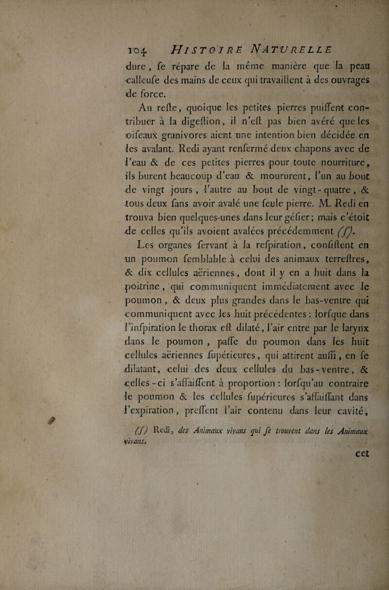 dure , fe répare de la même manière que la peau calleufe des mains de ceux qui travaillent à des ouvrages de force. Au refie, quoique les petites pierres puifTent con¬ tribuer à la digefîion, il n’eft pas bien avéré que les oifeaux granivores aient une intention bien décidée en les avalant. Redi ayant renfermé deux chapons avec de l'eau & de ces petites pierres pour toute nourriture, ils burent beaucoup d’eau & moururent, l’un au bout de vingt jours, l’autre au bout de vingt-quatre , & tous deux fans avoir avalé une feule pierre. M. Redi en trouva bien quelques-unes dans leur gé fier; mais c’étoit de celles qu’ils avoient avalées précédemment ffj.. Les organes fervant à la refpiration, confiflent en tin poumon femblahle à celui des animaux terreflres, Sl dix cellules aériennes, dont il y en a huit dans la poitrine , qui communiquent immédiatement avec le poumon , & deux plus grandes dans le bas-ventre qui communiquent avec les huit précédentes : lorfque dans l’infpiration le thorax eft dilaté , l’air entre par le larynx dans le poumon , paffe du poumon dans les huit cellules aériennes fupérieures, qui attirent auffi, en fe dilatant, celui des deux cellules du bas-ventre, & celles-ci s’affaiffent à proportion: lorfqu’au contraire le poumon & les cellules fupérieures s’affaiffant dans l’expiration, preffent l’air contenu dans leur cavité, (f) Redi, des Animaux viyans <jui fe trouvent dans les Animaux vivons. cet