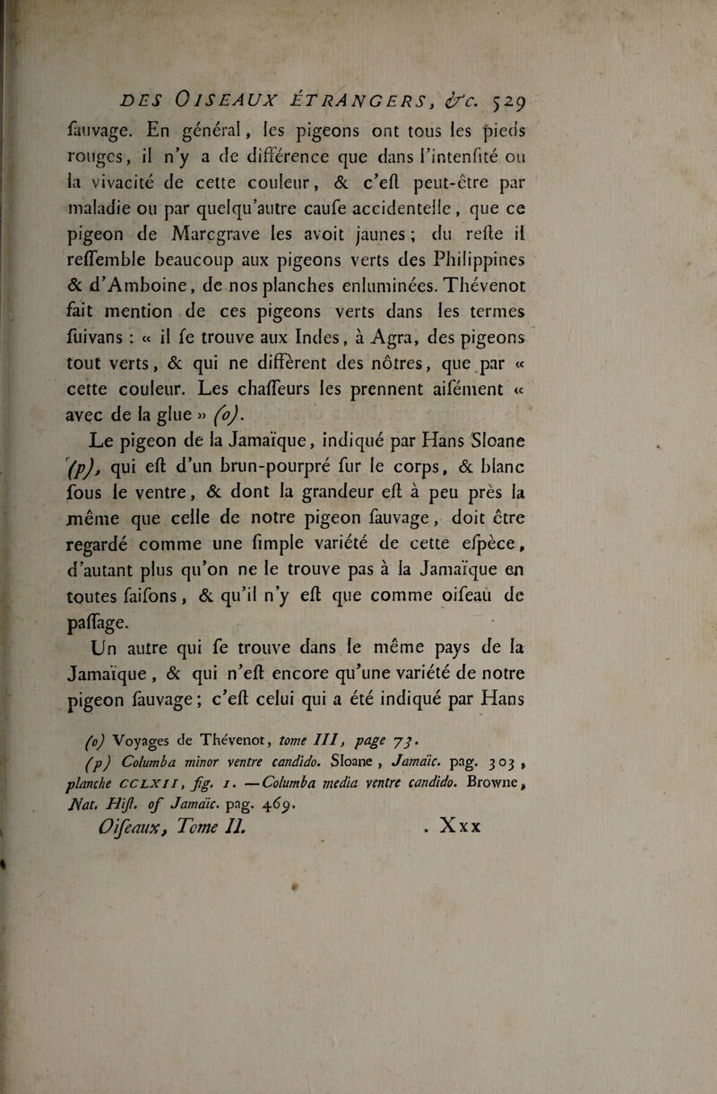 fauvage. En général, les pigeons ont tous les pieds rouges, il n y a de différence que dans i’intenfité ou la vivacité de cette couleur, 6c c’efl peut-être par maladie ou par quelqu’autre caufe accidentelle , que ce pigeon de Marcgrave les avoit jaunes ; du refie il reffemble beaucoup aux pigeons verts des Philippines 6c d’Amboine, de nos planches enluminées. Thévenot fait mention de ces pigeons verts dans les termes fuivans : « il fe trouve aux Indes, à Agra, des pigeons tout verts, 6c qui ne diffèrent des nôtres, que par « cette couleur. Les chaffeurs les prennent aifément « avec de la glue » (o). Le pigeon de la Jamaïque, indiqué par Hans Sloane (p), qui efl d’un brun-pourpré fur le corps, 6c blanc fous le ventre, 6c dont la grandeur eft à peu près la même que celle de notre pigeon fauvage, doit être regardé comme une fimple variété de cette efpèce, d’autant plus qu’on ne le trouve pas à la Jamaïque en toutes faifons, 6c qu’il n’y efl que comme oifeau de paffage. Un autre qui fe trouve dans le même pays de la Jamaïque , 6c qui n’efl encore qifune variété de notre pigeon fauvage; c’efl celui qui a été indiqué par Hans (o) Voyages de Thévenot, tome III, page 77. (p) Columba minor ventre candido. Sloane, Jamdic. pag. 303, planche cclxi 1, fig. 1. —Columba media ventre candido. Browne, Nat, Hijî. of Jamdic. pag. 469. Oifemix, Tome IL . Xxx