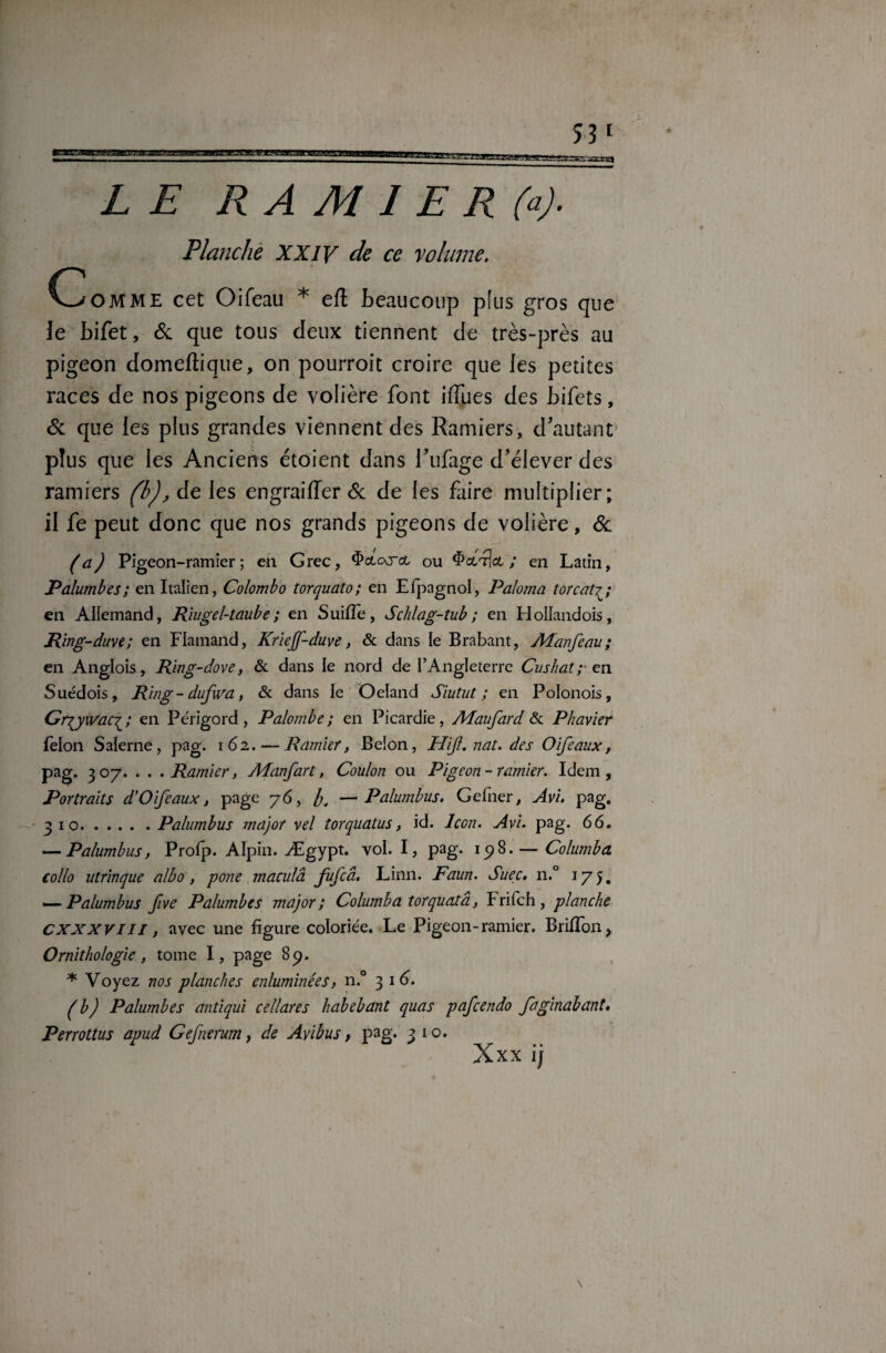 3.I3TiLlAlBül^agH^ :æex%| LE R A M 1 E R (a). Planche XXIV de ce volume. C^omme cet Oifeau * eft beaucoup plus gros que le bifet, & que tous deux tiennent de très-près au pigeon domeftique, on pourroit croire que les petites races de nos pigeons de volière font iffues des bifets, & que les plus grandes viennent des Ramiers, d’autant plus que les Anciens étoient dans l’ufage d’élever des ramiers (b), de les engraiiïer 6c de les faire multiplier; il fe peut donc que nos grands pigeons de volière, 6c (a) Pigeon-ramier; en Grec, $<x.c\rct ou en Latin, Palumbes; en Italien, Colombo torquato; en Efpagnol, Paloma torcat en Allemand, Rïugel-taube; en Suiiïe, Schlag-tub ; en HoIIandois, Ring-duve; en Flamand, Kriejf-duve, & dans le Brabant, AFanfeau; en Anglois, Ring-dove, & dans le nord de i’Angleterre Cushat;en Suédois, Ring-dufwa, & dans le Oeland Siutut ; en Polonois, Gr^yivac^; en Périgord, Palombe; en Picardie, Afaufard & Phavier félon Salerne, pag. 162. — Ramier, Belon, FUJI. nat. des O if e aux, pag. 307. . . .Ramier, Adanfart, Coulon ou Pigeon- ramier. Idem, Portraits d'Oifeaux, page 76, b. —■ Palumbus. Gefner, Avi. pag. 310.Palumbus major vel torquatus, id. Icon. Avi. pag. 66, — Palumbus, Profp. Alpin. Ægypt. vol. I, pag. 198. — Columba collo utrinque albo, pone macula fufcâ. Linn. Faun. Suec. n.° 175. — Palumbus five Palumbes major; Columba torquota, Frifch, planche CXXXVIII, avec une figure coloriée. Le Pigeon-ramier. Briffon, Ornithologie, tome I, page 89. * Voyez nos planches enluminées, n.° 316. (b) Palumbes antiqui cellares habebant quas pafcendo faginabant« Perrottus apud Gefnerum, de Ayibus, pag'. 3 1 o. Xxx ij