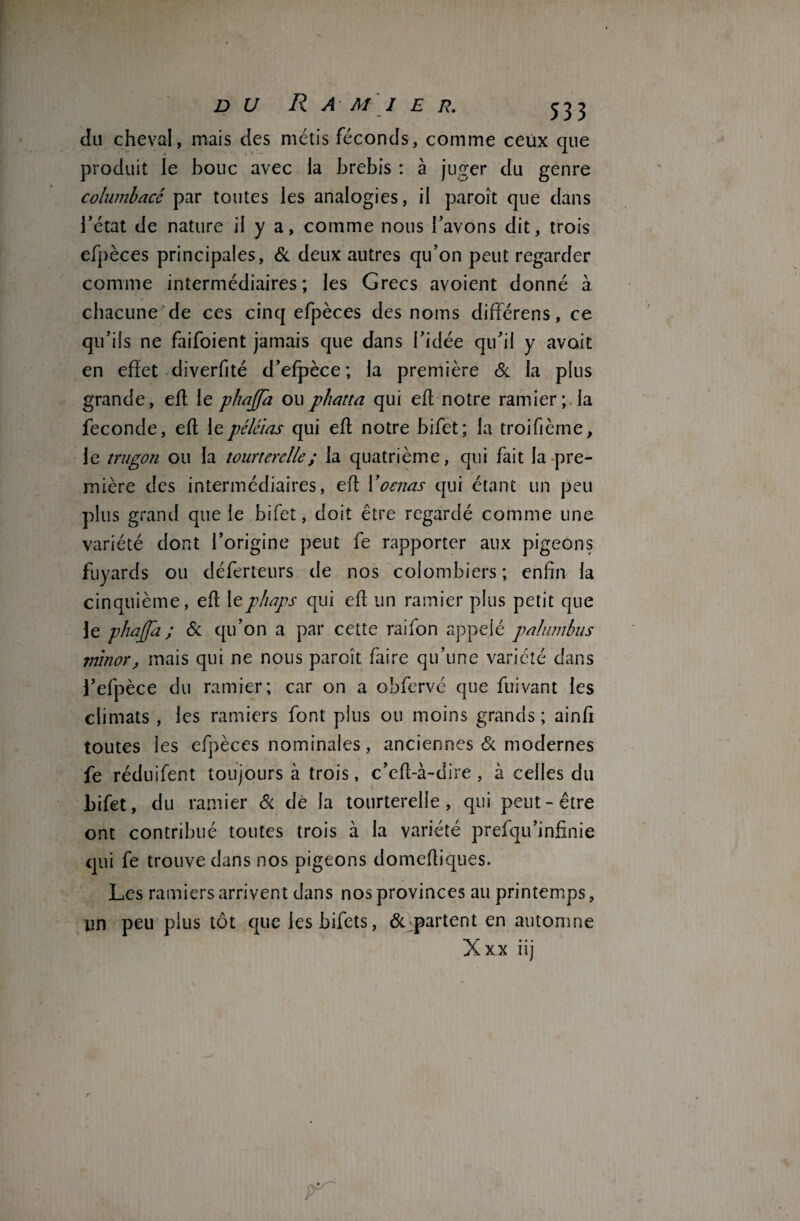 clu cheval, mais des métis féconds, comme ceux que produit le bouc avec la brebis : à juger du genre columbacé par toutes les analogies, il paroît que dans l’état de nature il y a, comme nous l’avons dit, trois efpèces principales, & deux autres qu’on peut regarder comme intermédiaires; les Grecs avoient donné à chacune de ces cinq efpèces des noms différens, ce qu’ils ne faifoient jamais que dans l’idée qu’il y avait en effet diverfité d’efpèce ; la première & la plus grande, efl le phajfa ouphatta qui efl notre ramier; la fécondé, efl lepéléias qui efl notre bifet; la troifième, le trugon ou la tourterelle; la quatrième, qui fait la pre¬ mière des intermédiaires, efl Yoeuas qui étant un peu plus grand que le bifet, doit être regardé comme une variété dont l’origine peut fe rapporter aux pigeons fuyards ou déferteurs de nos colombiers ; enfin la cinquième, efl lephops qui efl un ramier plus petit que le phaffa ; & qu’on a par cette raifon appelé palumbus mbior, mais qui ne nous paroît faire qu’une variété dans l’efpèce du ramier; car on a obfervé que fuivant les climats, les ramiers font plus ou moins grands ; ainfi toutes les efpèces nominales, anciennes & modernes fe réduifent toujours à trois, c’efl-à-dire , à celles du bifet, du ramier & de la tourterelle, qui peut-être ont contribué toutes trois à la variété prefqu’infinie qui fe trouve dans nos pigeons domefliques. Les ramiers arrivent dans nos provinces au printemps, un peu plus tôt que lesbifcts, & partent en automne X xx iij