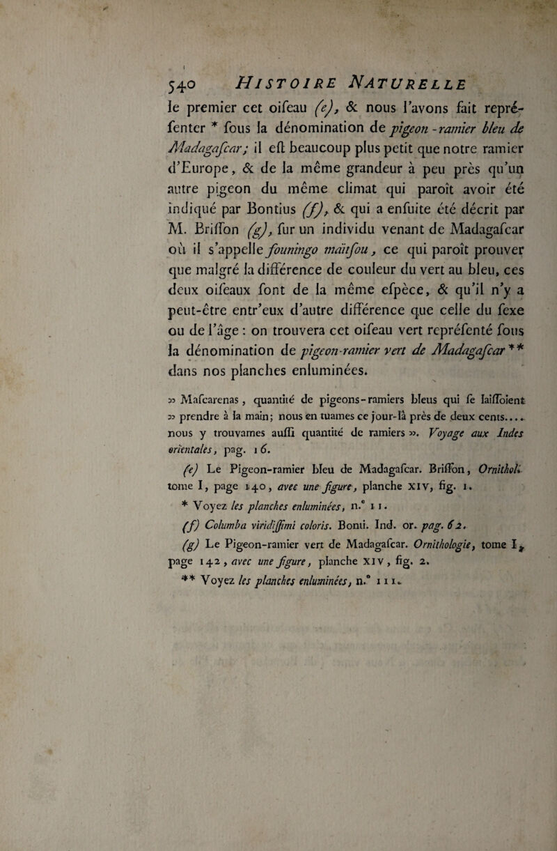 le premier cet oifeau (e), & nous lavons fait repré- fenter * fous la dénomination de pigeon - ramier bleu de Madagascar; il efl beaucoup plus petit que notre ramier d’Europe, & de la même grandeur à peu près qu’un autre pigeon du même climat qui paroît avoir été indiqué par Bontius (f)r & qui a enfuite été décrit par M. Briffon (g), fur un individu venant de Madagafcar où il s founingo mdiifou, ce qui paroît prouver que maigré la différence de couleur du vert au bleu, ces deux oifeaux font de la même efpèce. & qu’il n’y a peut-être entr’eux d’autre différence que celle du fexe ou de l’âge : on trouvera cet oifeau vert repréfenté fous la dénomination de pigeon-ramier reri de Madagafcar ** dans nos planches enluminées. » Mafcarenas, quantité de pigeons - ramiers bleus qui fè laiffoienfc 33 prendre à ia main; nous en tuâmes ce jour-là près de deux cents. nous y trouvâmes aufli quantité de ramiers 33. Voyage aux Indes mentales, pag. 1 6. (e) Le Pigeon-ramier bleu de Madagafcar. Briffon, Ornitholi tome I, page 140, avec une figure, planche XI v, fig. i . * Voyez les planches enluminées, n.° 1 1. (fi) Columha vmdififimi coloris. Bonti. Ind. or. pag. 62. (g) Le Pigeon-ramier vert de Madagafcar. Ornithologie, toine 1^, page 142, avec une figure, planche XIV, fig. 2. ** Voyez les planches enluminées, n.° nu