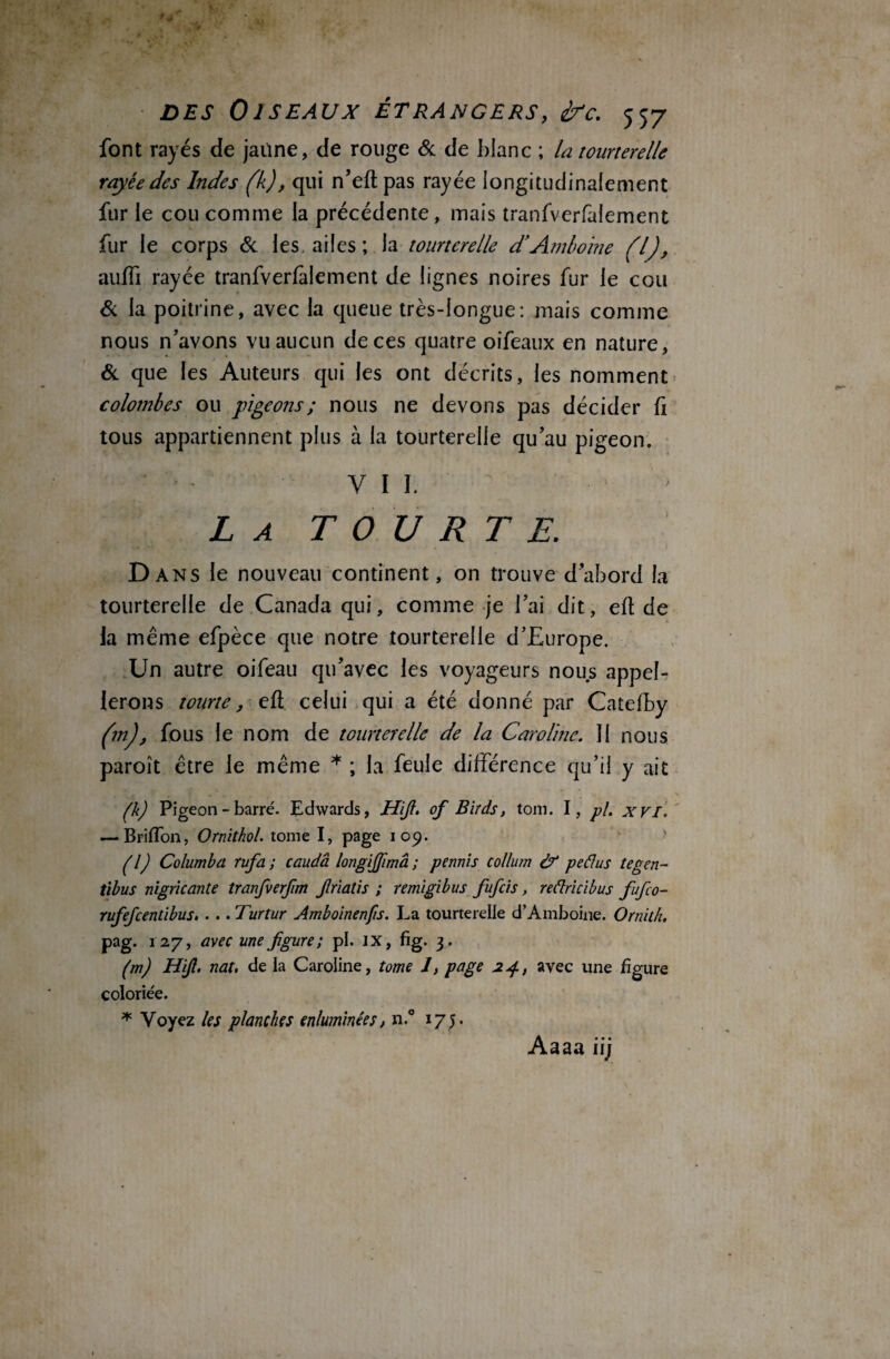 font rayés de jaune, de rouge 6c de blanc ; la tourterelle rayée des Indes (k), qui n’eft pas rayée longitudinalement fur le cou comme la précédente, mais tranfverfalement fur le corps 6c les ailes ; la tourterelle d’Amboine (1), auffi rayée tranfverfalement de lignes noires fur le cou 6c la poitrine, avec la queue très-longue: mais comme nous n’avons vu aucun de ces quatre oifeaux en nature, 6c que les Auteurs qui les ont décrits, les nomment colombes ou pigeons ; nous ne devons pas décider fi tous appartiennent plus à la tourterelle qu’au pigeon. ‘ VII. ' La TOURTE. Dans le nouveau continent, on trouve d’abord la tourterelle de Canada qui, comme je l’ai dit, eft de la même efpèce que notre tourterelle d’Europe. Un autre oifeau qu’avec les voyageurs nous appel¬ lerons tourte, eft celui qui a été donné par Catefby (m), fous le nom de tourterelle de la Caroline. 11 nous paroît être le même * ; la feule différence qu’il y ait (k) Pigeon - barré. Edwards, Hifi. ofi Birds, tom. I, pl. xvi. — Billion, Ornithol. tome I, page 109. ■ (l) Columba rufa ; caudâ longifiimâ ; permis collum & peâus tegen- tibus nigricante tranfverfim Jlriatis ; remigibus fufeis, reftricibus fiufio- rufefeentibus. . .. Turtur Amboinenfis. La tourterelle d’Amboine. Ornith, pag. 127, avec une figure; pi. IX, fig. 3. (m) Hifi. nat, de la Caroline, tome 1, page 24, avec une figure coloriée. * Voyez les planches enluminées, n.° 17).