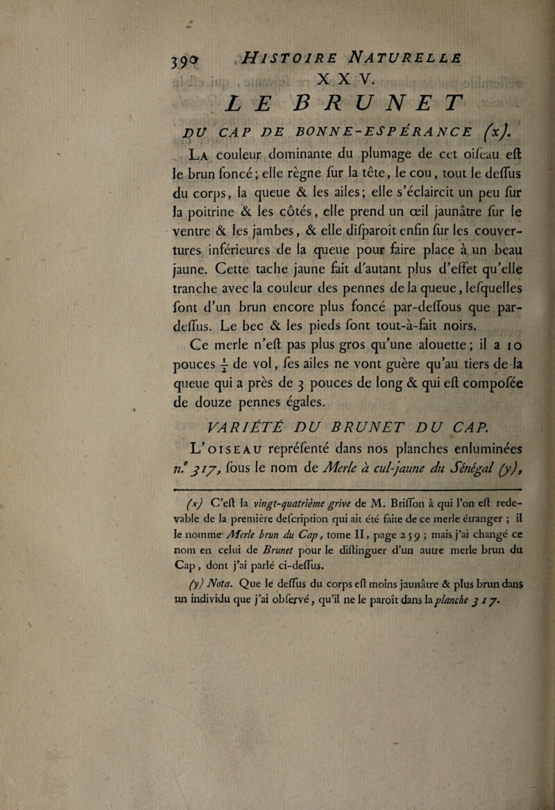 XXV. LE BRUNET DU CAP DE BON N E - ES P É RA N C E (x). La couleur dominante du plumage de cet oifèau eft le brun foncé; elle règne fur la tête, le cou, tout le defïus du corps, la queue & les ailes; elle s'éclaircit un peu fur h poitrine & les côtés, elle prend un œil jaunâtre fur le ventre & les jambes, & elle difparoît enfin fur les couver¬ tures inférieures de la queue pour faire place à un beau jaune. Cette tache jaune fait d'autant plus d’effet qu’elle tranche avec la couleur des pennes de la queue, lefquelles font d’un brun encore plus foncé par-delfous que par- deffus. Le bec & les pieds font tout-à-fait noirs. Ce merle n’eft pas plus gros qu’une alouette; il a 10 pouces j de vol, fes ailes ne vont guère qu’au tiers de la queue qui a près de 3 pouces de long & qui eft compofée de douze pennes égales. VARIÉTÉ DU BRUNET DU CAP. L’oiseau repréfenté dans nos planches enluminées n.° 317, fous le nom de Merle à cul-jaune du Sénégal (y), (x) C’eft la vingt-quatrième grive de M. Brillon à qui i’on eft rede¬ vable de la première defcription qui ait été faite de ce merle étranger ; il ïe nomme Aferle brun du Cap, tome IL page 2 59 ; mais j’ai changé ce nom en celui de Brunet pour le diftinguer d’un autre merle brun du Cap, dont j’ai parlé ci-deftus. (y) Nota. Que le defïus du corps eft moins jaunâtre & plus brun dans tin individu que j’ai obfejrvé, qu’il ne le paroît dans la planche j 17.