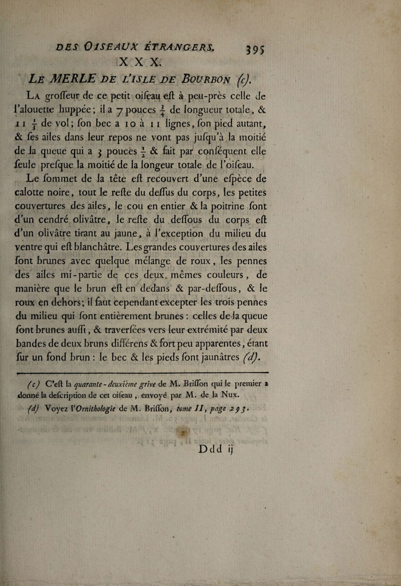 XXX. Le MERLE de l’isle de Bourbon (c). La grolfeur de ce petit oilèau ell à peu-près celle Je l’alouette huppée; il a y pouces ~ de longueur totale, & 11 } de vol; Ton bec a io à i i lignes, fon pied autant, & fes ailes dans leur repos ne vont pas jufqu’à la moitié de la queue qui a 3 pouces - & fait par confequent elle feule prefque la moitié de la iongeur totale de l’oifeau. Le fommet de Ja tête ell recouvert d’une elpèce de calotte noire, tout le relie du defîus du corps, les petites couvertures des ailes, le cou en entier & la poitrine font d’un cendré olivâtre , le relie du delfous du corps ell d’un olivâtre tirant au jaune, à l’exception du milieu du ventre qui ell blanchâtre. Les grandes couvertures des ailes font brunes avec quelque mélange de roux, les pennes des ailes mi-partie de ces deux, mêmes couleurs, de manière que le brun ell en dedans & par-delfous, & le roux en dehors; il faut cependant excepter les trois pennes du milieu qui font entièrement brunes : celles de la queue lontbrunes aulfi, & traverlées vers leur extrémité par deux bandes de deux bruns différens & fort peu apparentes, étant lur un fond brun : le bec & les pieds font jaunâtres (d). (c) C’eft la quarante - deuxieme grive de M. Brillon qui le premier * donné la defcription de cet oifeau , envoyé par M. de la Nux. (d) Voyez Y Ornithologie de M. Brillon, tome JI, page 29 -V,< • > • •’ ■ <  \: r<'' 'Y : ‘ Ddd ij