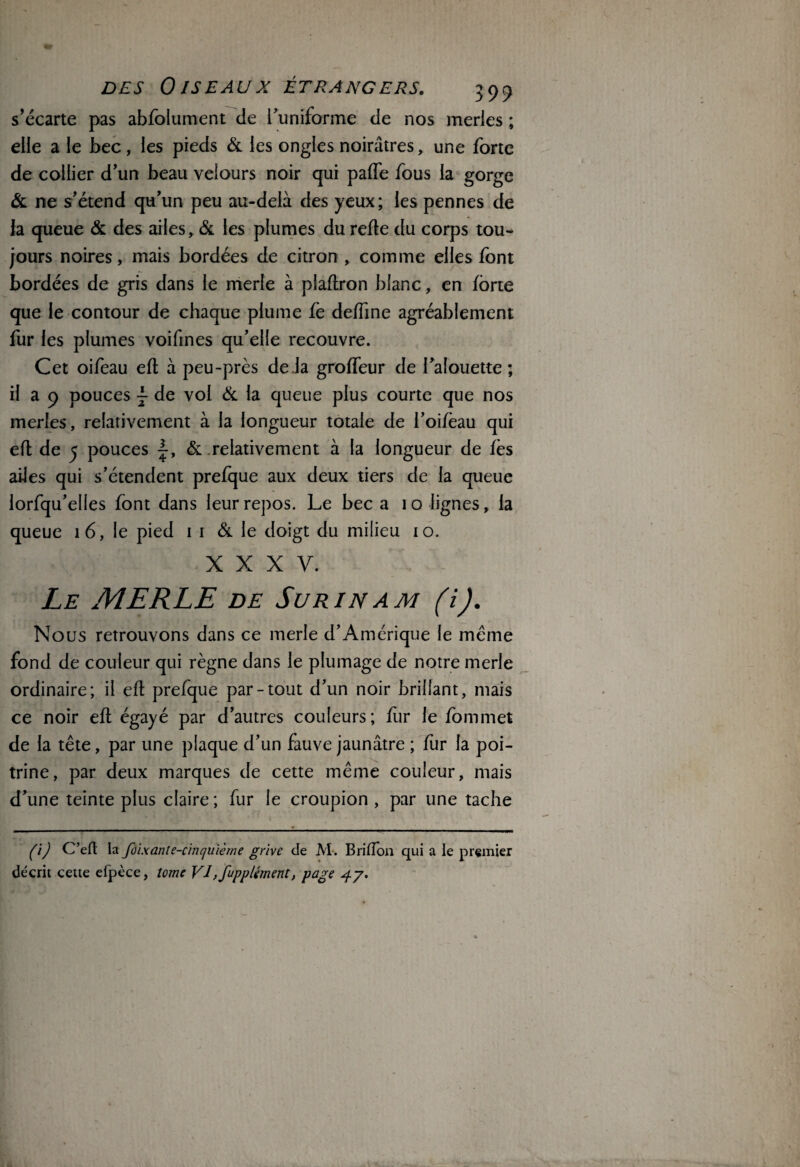 s’écarte pas abfolument de l’uniforme de nos merles ; elle a le bec, les pieds & les ongles noirâtres, une forte de collier d’un beau velours noir qui paffe fous la gorge & ne s’étend qu’un peu au-delà des yeux; les pennes de la queue & des ailes, & les plumes du refte du corps tou¬ jours noires, mais bordées de citron , comme elles font bordées de gris dans le merle à plaflron blanc, en forte que le contour de chaque plume fo deffine agréablement fur les plumes voifines qu’elle recouvre. Cet oifeau efl à peu-près de la groffeur de l’alouette ; il a 9 pouces j de vol & la queue plus courte que nos merles, relativement à la longueur totale de l’oifoau qui efl de y pouces & relativement à la longueur de fos ailes qui s’étendent prefque aux deux tiers de la queue lorfqu’elles font dans leur repos. Le bec a 10 lignes, la queue 16, le pied 1 1 & le doigt du milieu 10. XXXV. Le MERLE de Surinam (i). Nous retrouvons dans ce merle d’Amérique le même fond de couleur qui règne dans le plumage de notre merle ordinaire; il efl prefque par-tout d’un noir brillant, mais ce noir efl égayé par d’autres couleurs; for le fommet de la tête, par une plaque d’un fauve jaunâtre ; for la poi¬ trine, par deux marques de cette même couleur, mais d’une teinte plus claire; fur le croupion , par une tache (i) C’eft la foixanle-c'inqu'ième grive de M. B ri (Ton qui a le premier décrit cette efpèce, tome VI ,fupplément, page 47.