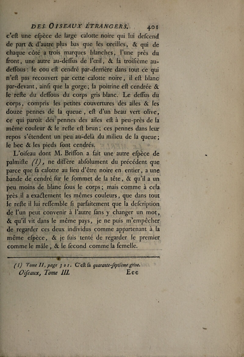 c’eft une efpèce de large calotte noire qui lui defcend de part & d’autre plus bas que les oreilles, & qui de chaque côté a trois marques blanches, l’une près du front, une autre au-deffus de l’œil, & la troifième au- deflous : le cou eft cendré par-derrière dans tout ce qui n’eft pas recouvert par cette calotte noire, il eft blanc par-devant, ainfi que la gorge; la poitrine eft cendrée & le refte du deftous du corps gris blanc. Le deftus du corps, compris les petites couvertures des ailes & les douze pennes de la queue , eft d’un beau vert olive, ce qui paroît des pennes des ailes eft à peu-près de la même couleur & le refte eft brun ; ces pennes dans leur repos s’étendent un peu au-delà du milieu de la queue ; le bec & les pieds font cendrés. L’oifeau dont M. Brifton a fait une autre efpèce de palmifte (l) > ne diffère abfblument du précédent que parce que fà calotte au lieu d’être noire en entier, a une bande de cendré fur le fommet de la tête, & qu’il a un peu moins de blanc fous le corps ; mais comme à cela près il a exactement les mêmes couleurs, que dans tout le refte il lui reffemble fi parfaitement que la defcription de l’un peut convenir à l’autre fans y changer un mot, & qu’il vit dans le même pays, je ne puis m’empêcher de regarder ces deux individus comme appartenant à la même efpèce, & je fuis tenté de regarder le premier comme le mâle , & le fécond comme la femelle. —-3T---- ( l) Tome II, page 301. C’eft fa quarante-feptüme grive. O if eaux, Tome III. Eee