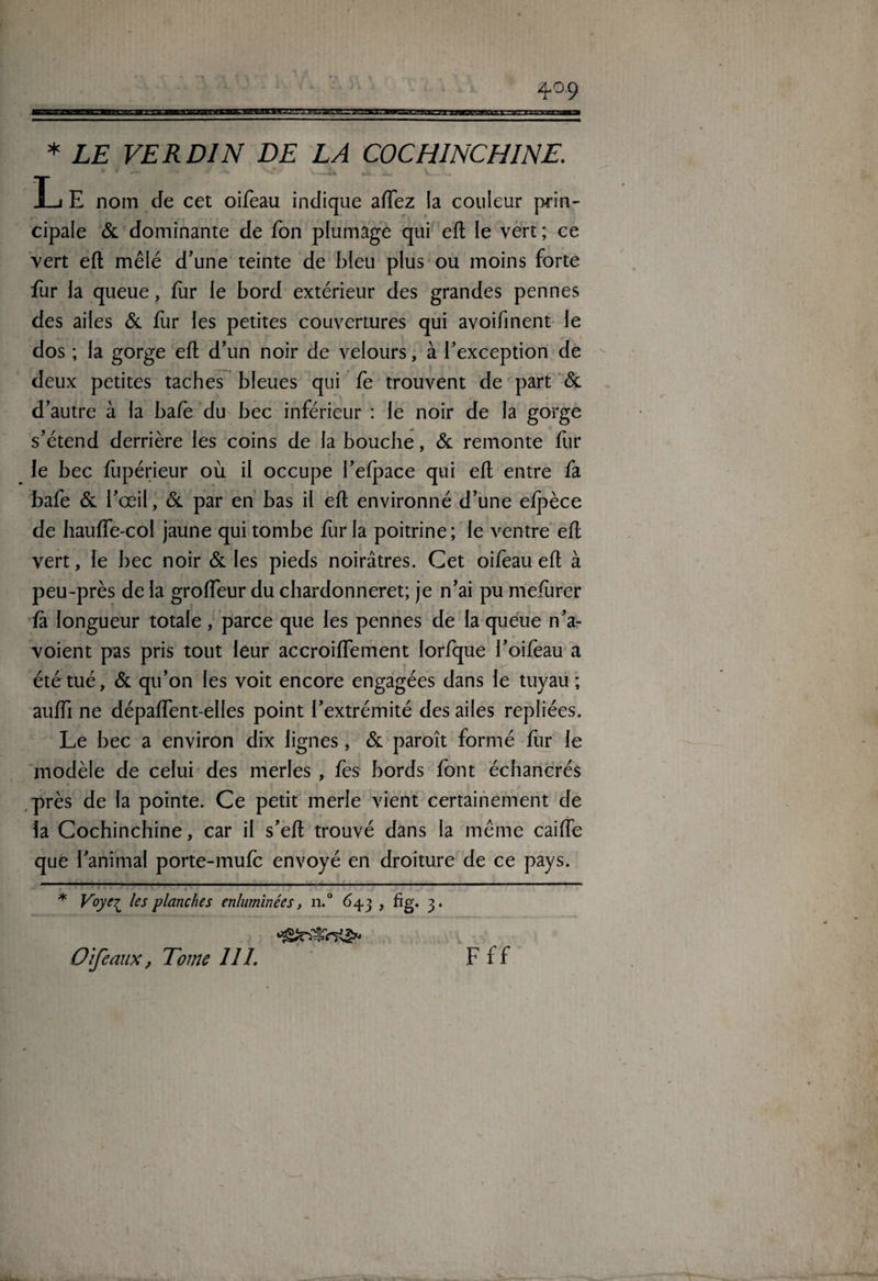 4° 9 * LE VE R DI N DE LA C0CH1NCHINE. • * V?-- V .Ju +A.. Jk. V L E nom de cet oifeau indique allez la couleur prin¬ cipale & dominante de Ton plumage qui efl le vert ; ce vert efl mêlé d’une teinte de bleu plus ou moins forte fur Ja queue, fur le bord extérieur des grandes pennes des ailes & fur les petites couvertures qui avoifinent le dos ; la gorge eft d’un noir de velours, à l’exception de deux petites taches bleues qui fe trouvent de part & d’autre à la baie du bec inférieur : le noir de la gorge s’étend derrière les coins de la bouche, de remonte fur le bec fùpérieur où il occupe l’efpace qui efl entre fa bafe & l’œil, & par en bas il efl environné d’une efpèce de hauffe-coi jaune qui tombe fur la poitrine; le ventre efl vert, le bec noir & les pieds noirâtres. Cet oifeau efl à peu-près de la groffeur du chardonneret; je n’ai pu mefùrer fà longueur totale, parce que les pennes de la queue n’a- voient pas pris tout leur accroiffement lorfque l’oifeau a été tué, & qu’on les voit encore engagées dans le tuyau ; auffi ne dépaffent-elles point l’extrémité des ailes repliées. Le bec a environ dix lignes, & paroît formé fiir le modèle de celui des merles , fes bords font échancrés près de la pointe. Ce petit merle vient certainement de la Cochinchine, car il s’efl trouvé dans la même caiffe que l’animal porte-mufe envoyé en droiture de ce pays. * Voyez les planches enluminées, n.° 643 , fig. 3. Oîfcaux, Tome 111. F ff