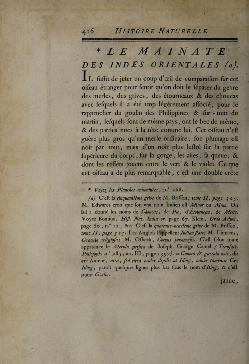 k Lj.^tfw^^iasa3aE3aaaBBaggaBMy«'hiiwiiKWi*îi,f 1 imehe—aataiaKgaB——bmbekmms—1 ■■ ■  ■■■-■■ ■ ■ ■— ■ ■ ■ ■ ■■ ■' ■ ' -■ « ■■■■ - ■ ■1 ■ ■ ■ ■ . * L E MAINATE DES INDES 0 RIENT ALES (a). I L fuffit de jeter un coup d'œil de comparaifbn fur cet oifeau étranger pour fentir qu’on doit le féparer du genre des merles, des grives, des étourneaux & des choucas avec lefqueis il a été trop légèrement afTocié, pour le rapprocher du goulin des Philippines & fur - tout du martin , lefqueis font de même pays, ont le bec de même, & des parties nues à la tête comme lui. Cet oifeau n’eft guère plus gros qu’un merle ordinaire ; fon plumage efl noir par-tout, mais d’un noir plus luftré fur la partie fupérieure du corps, fiir la gorge, les ailes, la queue, & dont les reflets jouent entre le vert & le violet. Ce que cet oifeau a de plus remarquable, c’efl une double crête * Voyei les Planches enluminées, n.° 26 8. (a) C’efl la cinquantième grive de M. BrilTon, tome II, page 305* M. Edwards croit que Ton vrai nom Indien efl; Minor ou Afino. On ïui a donné les noms de Choucas, de Pie, d’Etourneau, de Merle. Voyez Bontius, Hijl. Nat. Indiœ or. page 67. Klein, Or do Avium, page 60 , n.° 1 2 , &c. C’efl; la quarante-neuvième grive de M. Briflon , tome II, page 3 03. Les Anglois l’appellent IndianJlare; M. Linnæus, Gracala religiofa; M. Ofbeck, Corvus javanenfis. C’efl; félon toute apparence le Merula perfica de Jofeph - George Cainel ( Tranfaél. Philofoph. n.° 285, art. III, page 1 397^. « Canora & garrula avis, dit cet Auteur, atra, fed circa oculos depilis ut Illing, minus tamen.» Cet Jlling, paroît quelques lignes plus bas fous le nom d’Jting, & c’efl; notre Goulin. jaune,