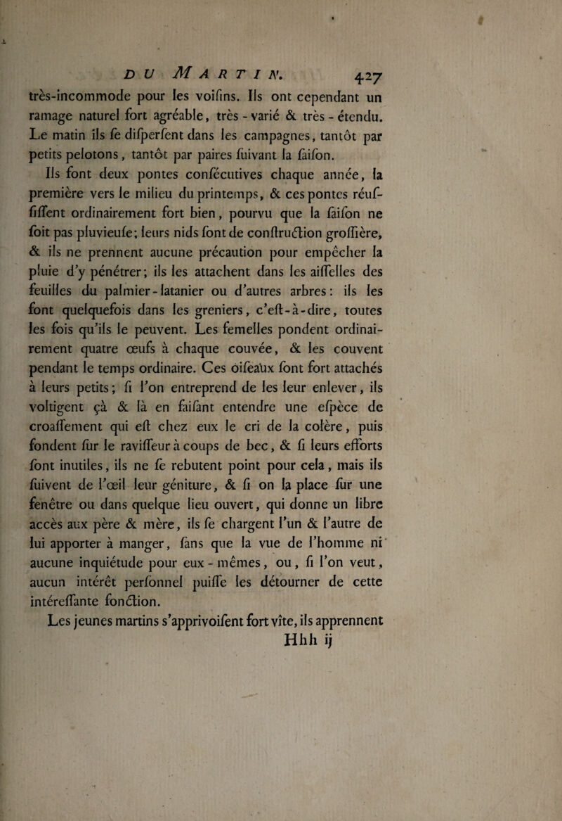 très-incommode pour les voifins. Ils ont cependant un ramage naturel fort agréable, très-varié & très - étendu. Le matin ils fe difperfent dans les campagnes, tantôt par petits pelotons, tantôt par paires fiiivant la fàifon. Ils font deux pontes confécutives chaque année, la première vers le milieu du printemps, & ces pontes réuf- fiffent ordinairement fort bien, pourvu que la fàifon ne foit pas pluvieufe; leurs nids font de conftruéLon grolfière, & ils ne prennent aucune précaution pour empêcher la pluie d'y pénétrer ; ils les attachent dans les ailfelles des feuilles du palmier-latanier ou d’autres arbres: ils les font quelquefois dans les greniers, c’efl-à-dire, toutes les fois qu’ils le peuvent. Les femelles pondent ordinai¬ rement quatre œufs à chaque couvée, & les couvent pendant le temps ordinaire. Ces oifeaux font fort attachés à leurs petits ; fi l’on entreprend de les leur enlever, ils voltigent çà & là en faifànt entendre une efpèce de croaffement qui eft chez eux le cri de la colère, puis fondent fur le raviffeur à coups de bec, & fi leurs efforts font inutiles, ils ne fè rebutent point pour cela, mais iis fùivent de l’œil leur géniture, & fi on la place fiir une fenêtre ou dans quelque lieu ouvert, qui donne un libre accès aux père & mère, ils fe chargent l’un & l’autre de lui apporter à manger, fans que la vue de l’homme ni aucune inquiétude pour eux - mêmes, ou , fi l’on veut, aucun intérêt perfonnel puiffe les détourner de cette intéreffante fonélion. Les jeunes martins s’apprivoifent fort vite, ils apprennent Hhh ij