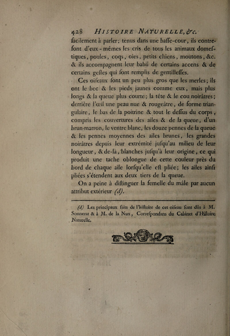 / 428 Histoire Na tu relle, frc. facilement à parler; tenus clans une baffe-cour, ils contre¬ font d’eux - mêmes les cris de tous les animaux domef- tiques, poules, coqs, oies, petits chiens, moutons, &c. & ils accompagnent leur babil de certains accens & de certains geftes qui font remplis de gentilteffes. Ces oifeaux font un peu plus gros que les merles; ils ont le bec & les pieds jaunes comme eux, mais plus longs & la queue plus courte ; la tête & le cou noirâtres ; derrière l’œil une peau nue & rougeâtre, de forme trian¬ gulaire , le bas de la poitrine & tout le delfus du corps , compris les couvertures des ailes & de la queue, d’un brun-marron, le ventre blanc, les douze pennes de la queue & les pennes moyennes des ailes brunes, les grandes noirâtres depuis leur extrémité jufqu’au milieu de leur longueur, & de-Ià, blanches jufqu’à leur origine, ce qui produit une tache oblongue de cette couleur près du bord de chaque aile lorfqu’elle efl pliée; les ailes ainfi pliées s’étendent aux deux tiers de la queue. On a peine à diftinguer la femelle du mâle par aucun attribut extérieur (d). (d) Les principaux faits de ffaiftoire de cet oifeau font dûs à JVL Sonnerat & à M. de la Nux, Correfpondans du Cabinet d’H‘iftoire; Naturelle. \