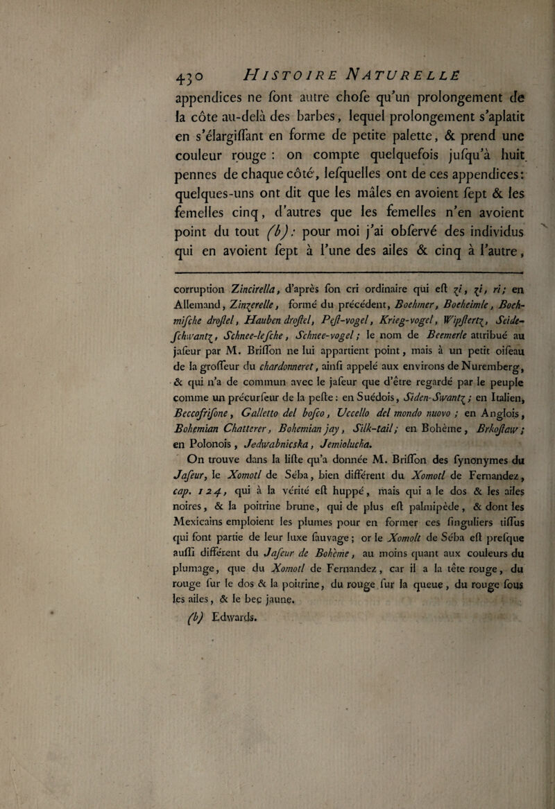 appendices ne font autre chofe qu'un prolongement de la côte au-delà des barbes, lequel prolongement s'aplatit en s'élargilfant en forme de petite palette, & prend une couleur rouge : on compte quelquefois jufqu'à huit, pennes de chaque côté, lefquelles ont de ces appendices: quelques-uns ont dit que les mâles en avoient fept & les femelles cinq, d’autres que les femelles n'en avoient point du tout (b) : pour moi j'ai obfervé des individus qui en avoient fept à l'une des ailes & cinq à l'autre, corruption Xincirella, d’après Ton cri ordinaire qui eft , fi, ri; en Allemand, Tinter elle, formé du précédent, Boehmer, Bocheimle, Boeh- mifche drojlel, Hauben drojlel, Pejl-vogel, Krieg-vogel, WipjlertSeide- fchwantSchnee-lefche, Schnee-vogel ; le nom de Beemerle attribué au jafeur par M. Briffon ne lui appartient point, mais à un petit oifeau de la groffeur du chardonneret, ainfi appelé aux environs de Nuremberg, & qui n’a de commun avec le jafeur que d’être regardé par le peuple comme unprécurfeur de la perte: en Suédois, Siden-Sivant^; en Italien, Beccofrifone, Galletto del bofco, Uccello del mondo nuovo ; en Anglois, Bohemian Chatterer, Bohemianjay, Silk-tail; en Bohème , Brkojlaw ; en Polonois, Jedwabnicska, Jemiolucha. On trouve dans la lirte qu’a donnée M. Briffon des fynonymes du Jafeur, le Xomotl de Séba, bien différent du Xomotl de Fernandez, cap. 124, qui à la vérité eft huppé, mais qui a le dos & les ailes noires, & la poitrine brune, qui de plus eft palmipède, & dont ies Mexicains emploient les plumes pour en former ces finguliers tiffus qui font partie de leur luxe fauvage ; or le Xomolt de Séba eft prefque auffi différent du Jafeur de Boheme, au moins quant aux couleurs du plumage, que du Xomotl de Fernandez, car il a la tête rouge, du rouge fur le dos & la poitrine, du rouge fur la queue, du rouge fous les ailes, & le beç jaune. (b) Edwards.