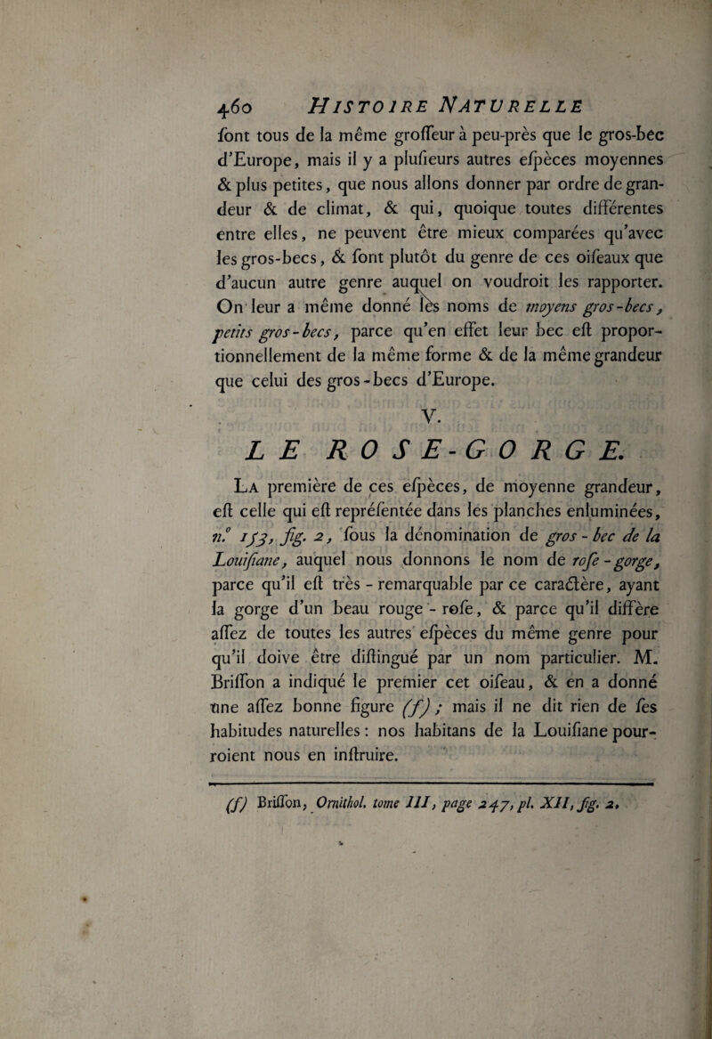 460 Histoire Natvrelie font tous de la même grofTeur à peu-près que le gros-bec d’Europe, mais il y a plufieurs autres efpèces moyennes & plus petites, que nous allons donner par ordre de gran¬ deur & de climat, & qui, quoique toutes différentes entre elles, ne peuvent être mieux comparées qu’avec les gros-becs, & font plutôt du genre de ces oifeaux que d’aucun autre genre auquel on voudroit les rapporter. On leur a même donné lés noms de moyens gros-becs, petits gros -becs, parce qu’en effet leur bec efl propor¬ tionnellement de la même forme & de la même grandeur que celui des gros-becs d’Europe. y. LE ROSE-GORGE. La première de ces efpèces, de moyenne grandeur, efl celle qui efl repréfentée dans les planches enluminées, il ijy, fig. 2, fous la dénomination de gros - bec de la Louijîane, auquel nous donnons le nom de rofe - gorge, parce qu’il efl très - remarquable par ce caraélère, ayant la gorge d’un beau rouge-rofe, & parce qu’il diffère affez de toutes les autres efpèces du même genre pour qu’il doive être diflingué par un nom particulier. M, Briffon a indiqué le premier cet oifeau, & en a donné une affez bonne figure (f) ; mais il ne dit rien de fès habitudes naturelles : nos habitans de la Louifïane pour- roient nous en inflruire. (f) Briffon, Omithol. tome III, page 247, pi. XII, fg. 2» v