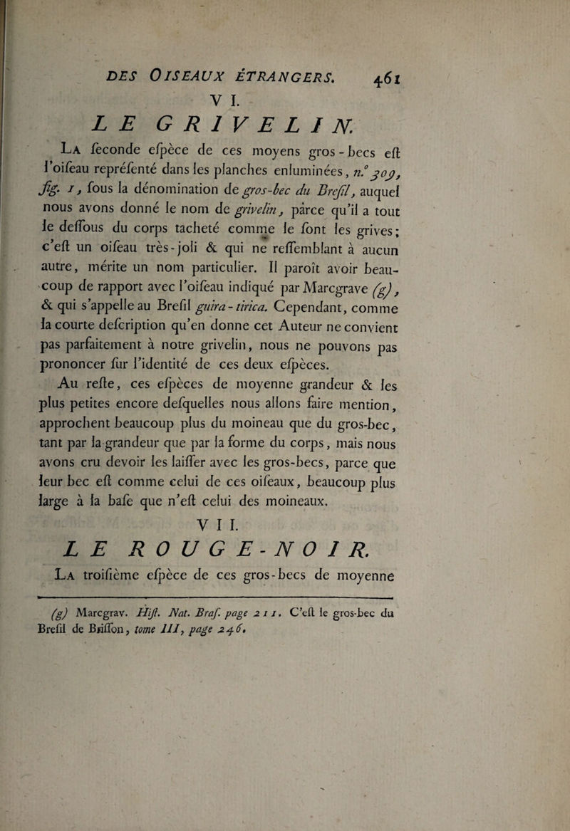 V I. LE G R 1 V E L I N. La féconde efpèce de ces moyens gros-becs eft loifeau repréfenté dans les planches enluminées, n.° joj>, fig- I, fous la dénomination de gros-bec du Brejîl, auquel nous avons donné le nom de grivelin, parce qu’il a tout Je deffous du corps tacheté comme le font les grives; c’eft un oifeau très-joli & qui ne reffemblant à aucun autre, mérite un nom particulier. Il paroît avoir beau¬ coup de rapport avec l’oifeau indiqué parMarcgrave (gj, & qui s’appelle au Brefd guira- tirica. Cependant, comme la courte defcription qu’en donne cet Auteur ne convient pas parfaitement à notre grivelin, nous ne pouvons pas prononcer fur l’identité de ces deux efpèces. Au refie, ces efpèces de moyenne grandeur & les plus petites encore defquelles nous allons faire mention, approchent beaucoup plus du moineau que du gros-bec, tant par la grandeur que par la forme du corps, mais nous avons cru devoir les laiffer avec les gros-becs, parce que leur bec efl comme celui de ces oifeaux, beaucoup plus large à la bafè que n’eft celui des moineaux, y 11. LE ROUGE-NOIR. La troifième efj^èce de ces gros-becs de moyenne (g) Marcgrav. Hïjl. Nat. Braf. page 2 11. Brefil de Biiffon, tome IIJ, page 2^6, C’eft le gros-bec du