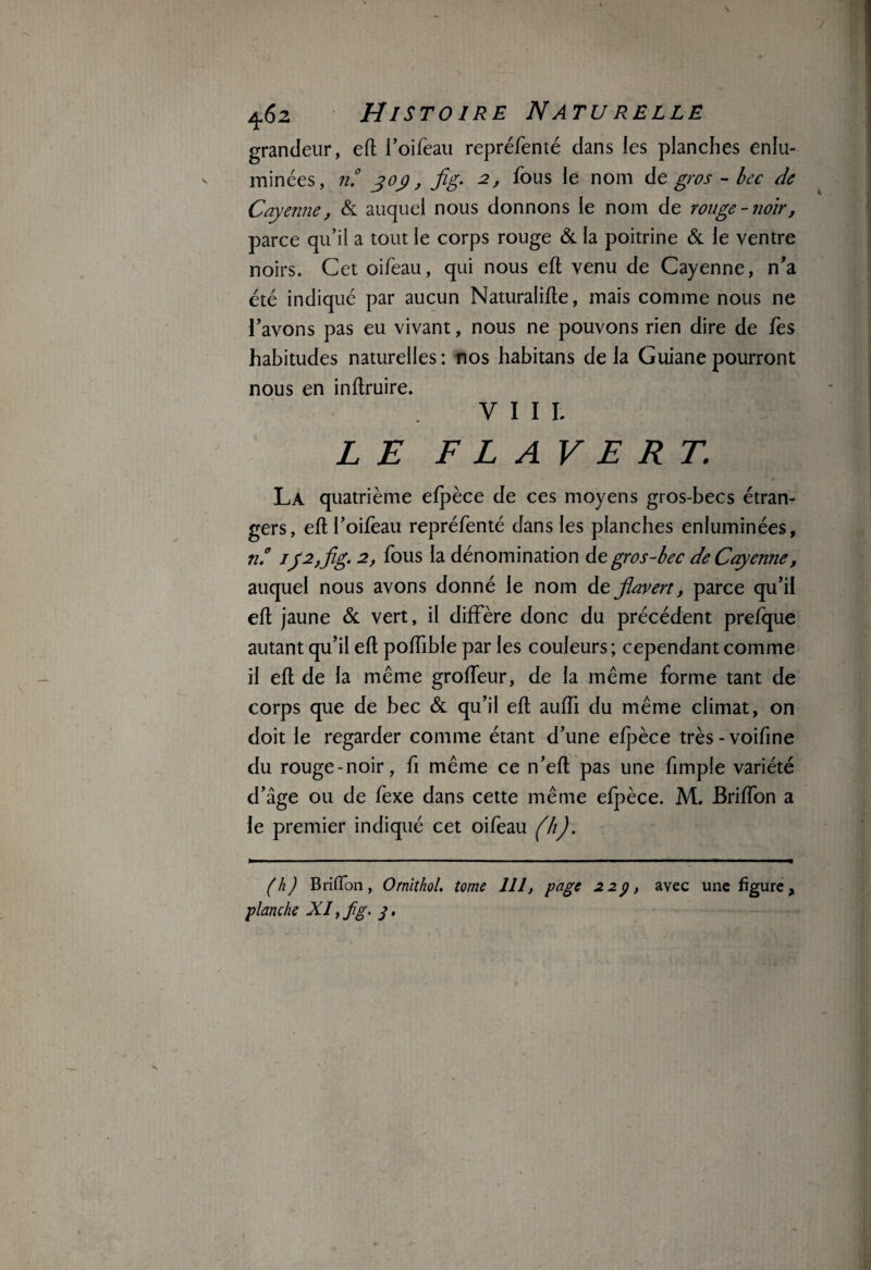 grandeur, eft l’oifeau repréfenté dans les planches enlu¬ minées, n.° yoy, fig. 2, fous le nom de gros - bec de Cayenne, & auquel nous donnons le nom de rouge-noir, parce qu’il a tout le corps rouge & la poitrine & le ventre noirs. Cet oifeau, qui nous eft venu de Cayenne, n'a été indiqué par aucun Naturalise, mais comme nous ne l’avons pas eu vivant, nous ne pouvons rien dire de fes habitudes naturelles : nos habitans de la Guiane pourront nous en inftruire. V III. LE F L AV E RT. La quatrième efpèce de ces moyens gros-becs étran¬ gers, eft l’oifèau repréfenté dans les planches enluminées, n,° jy2,Jig, 2, fous la dénomination de gros-bec de Cayenne, auquel nous avons donné le nom de jiavert, parce qu’il eft jaune & vert, il diffère donc du précédent prefque autant qu’il eft poftible par les couleurs ; cependant comme il eft de la même grofteur, de la même forme tant de corps que de bec & qu’il eft aufti du même climat, on doit le regarder comme étant d’une efpèce très-voifine du rouge-noir, fi même ce n’eft pas une fimple variété d’âge ou de fexe dans cette même efpèce. M. Briffon a le premier indiqué cet oifeau (h). (h) Briffon, Ornithol, tome 111, page 22 p, avec une figure, planche XI, fg. y