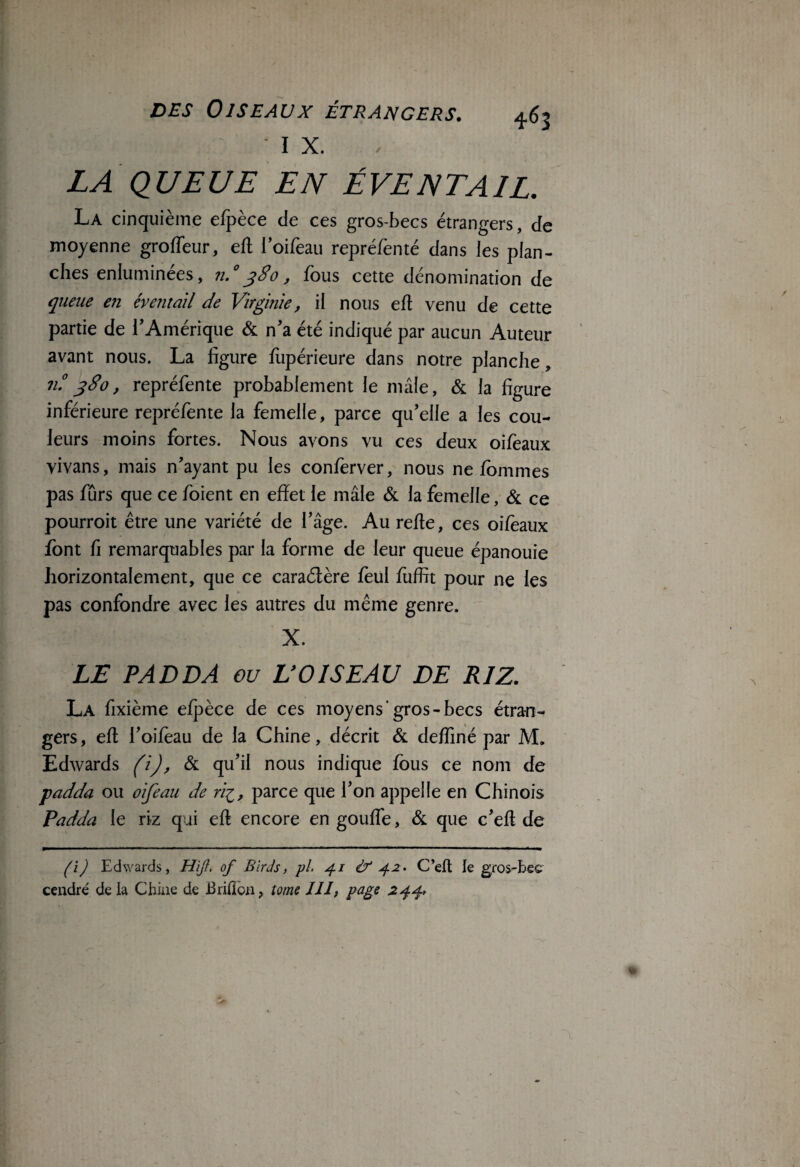 IX. LA QUEUE EN ÉVENTAIL. La cinquième efpèce de ces gros-becs étrangers, de moyenne groffeur, eft l’oifeau repréfenté dans les plan¬ ches enluminées, n.° 380, fous cette dénomination de queue en éventail de Virginie, il nous eft venu de cette partie de l’Amérique & n’a été indiqué par aucun Auteur avant nous. La figure fupérieure dans notre planche, n? 380, repréfente probablement le mâle, & la figure inférieure repréfente la femelle, parce qu’elle a les cou¬ leurs moins fortes. Nous avons vu ces deux oifeaux vivans, mais n’ayant pu les conferver, nous ne fommes pas fûrs que ce foient en effet le mâle & la femelle, & ce pourroit être une variété de l’âge. Au refte, ces oifèaux font fi remarquables par la forme de leur queue épanouie horizontalement, que ce caraélère feul fuffit pour ne les pas confondre avec les autres du même genre. X. LE PADDA ou UOISEAU DE RIZ. La fixième efpèce de ces moyens'gros-becs étran¬ gers, eft l’oifèau de la Chine, décrit & deffiné par M. Edwards (i), & qu’il nous indique fous ce nom de padda ou oifeau de ri1, parce que l’on appelle en Chinois Padda le riz qui eft encore en goufle, & que c’eft de (i) Edwards, Hijl, of BirJs, pl. 41 & 4.2. C’eft; le gros-bec cendré de la Chine de Briflon, tome III, page 244*