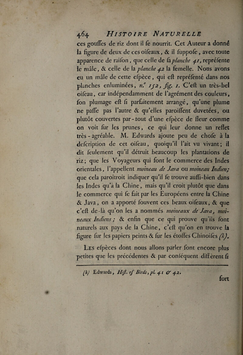 ces goufles de riz dont il fe nourrit. Cet Auteur a donné la figure de deux de ces oifeaux, de il fuppofe, avec toute apparence de raifon , que celle de fa planche 41, repréfènte îe mâle, de celle de la planche 42 la femelle. Nous avons eu un mâle de cette efpèce, qui efi repréfenté dans nos planches enluminées, n.° 1J2, Jîg. 1. C’eff un très-bel oifèau, car indépendamment de l'agrément des couleurs, fon plumage eft fi parfaitement arrangé, qu'une plume ne paffe pas l’autre de qu'elles paroiflent duvetées, ou plutôt couvertes par- tout d’une efpèce de fleur comme on voit fur les prunes, ce qui leur donne un reflet très - agréable. M. Edwards ajoute peu de chofë à la defleription de cet oifeau, quoiqu’il l’ait vu vivant; il dit feulement qu’il détruit beaucoup les plantations de riz; que les Voyageurs qui font le commerce des Indes orientales, l’appellent moineau de Java ou moineau Indien; que cela paroîtroit indiquer qu’il fe trouve auiïi-bien dans les Indes qu’à la Chine, mais qu’il croit plutôt que dans le commerce qui fe fait par les Européens entre la Chine de Java, on a apporté fouvent ces beaux oifeaux, de que c’efl de-là qu’on les a nommés moineaux de Java, moi¬ neaux Indiens ; de enfin que ce qui prouve qu’ils font naturels aux pays de la Chine, c’efl qu’on en trouve la figure fur les papiers peints de fur les étoffes Chinoifès (k). Les efpèces dont nous allons parler font encore plus petites que les précédentes de par conféquent diffèrent fi (k) Edwards, H'ijl, of Birds, pl. 41 cY 42, fort