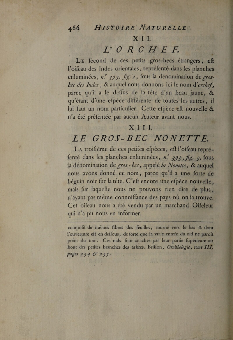 X I I. H 0 R C H E F. Le fécond de ces petits gros-becs étrangers, efl i’oifeau des Indes orientales, repréfenté dans les planches enluminées, il 333, fig. 2, fous la dénomination Aegros- bec des Indes, & auquel nous donnons ici le nom <ïorchef parce qu’il a le de (Tu s de la tête d’un beau jaune, & qu’étant d’une efpèce différente de toutes les autres, il lui faut un nom particulier. Cette efpèce efl nouvelle & n’a été préfentée par aucun Auteur avant nous. XIII. LE GROS-BEC NO NETTE. La troifième de ces petites efpèces, efl l’oifeau repré¬ fenté dans les planches enluminées, nf 333 ,fig. 3, fous la dénomination de gros - bec, appelé la Nonette, & auquel nous avons donné ce nom, parce qu’il a une forte de béguin noir fur la tête. C’efl encore Une efjpèce nouvelle, mais fur laquelle nous ne pouvons rien dire de plus, n’ayant pas même connoiffance des pays ou on la trouve. Cet oifeau nous a été vendu par un marchand Oifeleur qui n’a pu nous en informer. compote de mêmes fibres des feuilles, tourné vers ie bas & dont l’ouverture efl en defïous, de forte que la vraie entrée du nid ne paroît point du tout. Ces nids font attachés par leur partie fupérieure au bout des petites branches des arbres. Briffon, Ornithologie, tome III, pages 234. & 233.