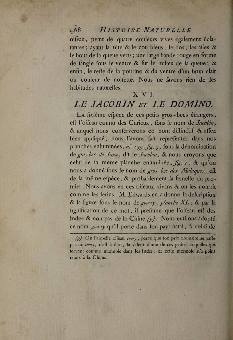 oifèau, peint de quatre couleurs vives également écla¬ tantes ; ayant la tête 6c le cou bleus, le dos, les ailes 6c le bout de la queue verts ; une large bande rouge en forme de fàngle fous le ventre 6c fur le milieu de la queue ; 6c enfin, le refte de la poitrine 6c du ventre d’un brun clair ou couleur de noifette. Nous ne favons rien de fès habitudes naturelles. XVI. LE JACOBIN et LE DOMINO. La fixième eipèce de ces petits gros-becs étrangers, elt l’oifèau connu des Curieux, fous le nom de Jacobin, 6c auquel nous conferverons ce nom diftinétif 6c affez bien appliqué; nous l’avons fait repréfenter dans nos planches enluminées, n.° iyy,fig.y, fous la dénomination de gros-bec de Java, dit le Jacobin, 6c nous croyons que celui de la même planche enluminée,^. /, 6c qu’on nous a donné fous le nom de gros-bec des Moluques, e(l de la même efpèce, 6c probablement la femelle du pre¬ mier. Nous avons vu ces oifeaux vivans 6c on les nourrit comme les ferins. M. Edwards en adonné ladefcription 6c la figure fous le nom degowry, planche XL; 6c par la fignification de ce mot, il préfùme que l’oifèau efi des Indes 6c non pas de la Chine (pj. Nous eufiions adopté ce nom gowry qu’il porte dans Ion pays natal, fi celui de (p) On l’appelle oifeau coury , parce que Ton prix ordinaire ne pafïe pas un coury, c’eft-à-dire , la valeur d’une de ces petites coquilles qui fervent comme monnoie dans les Indes : or cette monnoie n’a point cours à la Chine.