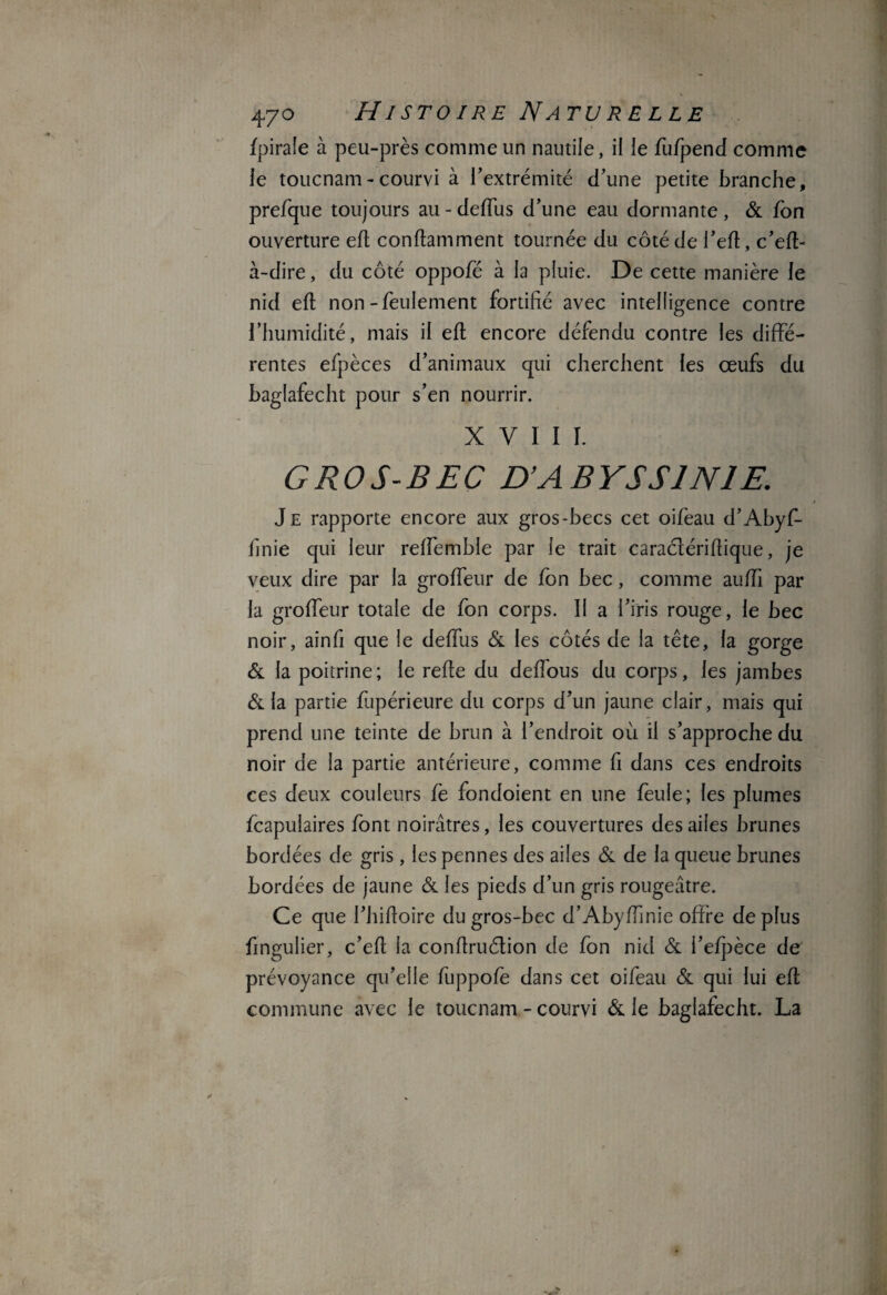 fpirale à peu-près comme un nautile, il le fufpend comme le toucnam-courvi à l’extrémité d’une petite branche, prefque toujours au - deffus d’une eau dormante , & fon ouverture efl conflamment tournée du côté de l’efl, c’efl- à-dire, du côté oppofé à la pluie. De cette manière le nid efl non-feulement fortifié avec intelligence contre l’humidité, mais il efl encore défendu contre les diffé¬ rentes efpèces d’animaux qui cherchent les œufs du baglafecht pour s’en nourrir. X V I I ï. G RO S-BEC D’ABYSSINIE. Je rapporte encore aux gros-becs cet oifeau d’Abyf- finie qui leur reffemble par le trait caraélériflique, je veux dire par la groffeur de fon bec, comme auffi par la groffeur totale de fon corps. Il a i’iris rouge, le bec noir, ainfi que le deffus & les côtés de la tête, la gorge & la poitrine; le refte du deffous du corps, les jambes & la partie fupérieure du corps d’un jaune clair, mais qui prend une teinte de brun à l’endroit où il s’approche du noir de la partie antérieure, comme fi dans ces endroits ces deux couleurs fe fondoient en une feule; les plumes fcapulaires font noirâtres, les couvertures des ailes brunes bordées de gris , les pennes des ailes & de la queue brunes bordées de jaune & les pieds d’un gris rougeâtre. Ce que l’hifloire du gros-bec d’Abyffinie offre de plus fingulier, c’efl la conflruétion de fon nid & l’efpèce de prévoyance qu’elle fuppofè dans cet oifeau & qui lui efl commune avec le toucnam - courvi & le baglafecht. La (