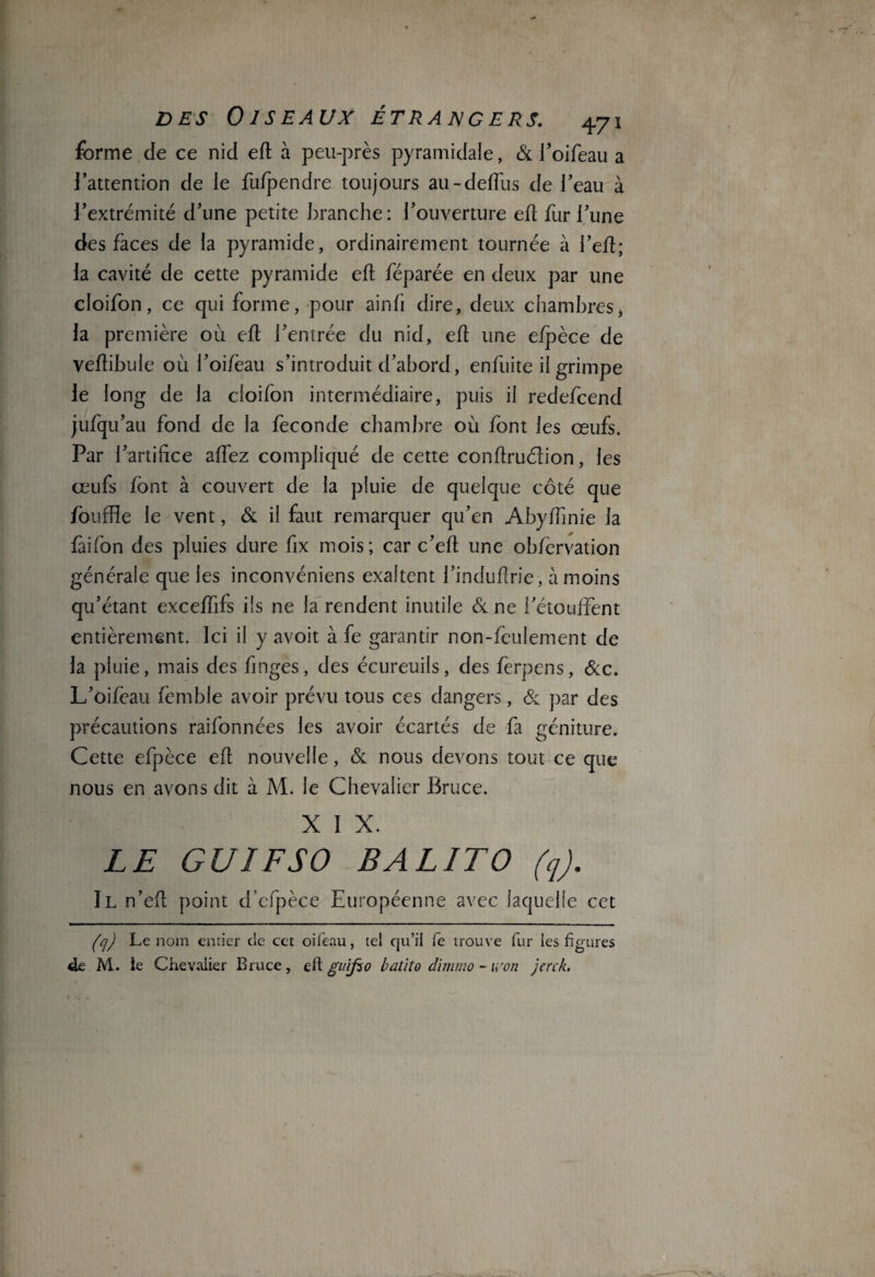 forme de ce nid eft à peu-près pyramidale, & l’oifeau a l’attention de le fufpendre toujours au-deffus de l’eau à l’extrémité d’une petite branche: l’ouverture eft fur l’une des faces de la pyramide, ordinairement tournée à l’eft; la cavité de cette pyramide eft féparée en deux par une cloifon, ce qui forme, pour ainfi dire, deux chambres, la première où eft l’entrée du nid, eft une efpèce de veftibule où l’oifoau s’introduit d’abord, enfuite il grimpe le long de la cloifon intermédiaire, puis il redefcend jufqu’au fond de la fécondé chambre où font les œufs. Par l’artifice allez compliqué de cette conflruétion, les œufs font à couvert de la pluie de quelque côté que fouffle le vent, & il faut remarquer qu’en Abyffinie la fàifon des pluies dure fix mois; car c’eft une obfervation générale que les inconvéniens exaltent l’induftrie, à moins qu’étant exceffifs ils ne la rendent inutile & ne l’étouffent entièrement. Ici il y avoit à fe garantir non-feulement de la pluie, mais des finges, des écureuils, des forpens, &c. L’oifeau femble avoir prévu tous ces dangers, & par des précautions raifonnées les avoir écartés de fa géniture. Cette efpèce eft nouvelle, & nous devons tout ce que nous en avons dit à M. le Chevalier Bruce. X I X. LE GUIFSO B A LIT O (q). Il n’efl point d’efpèce Européenne avec laquelle cet (q) Le nom entier de cet oifeau, tel qu’il le trouve fur les figures de M. le Chevalier Bruce, eft guifio batito dimmo - won jerck,