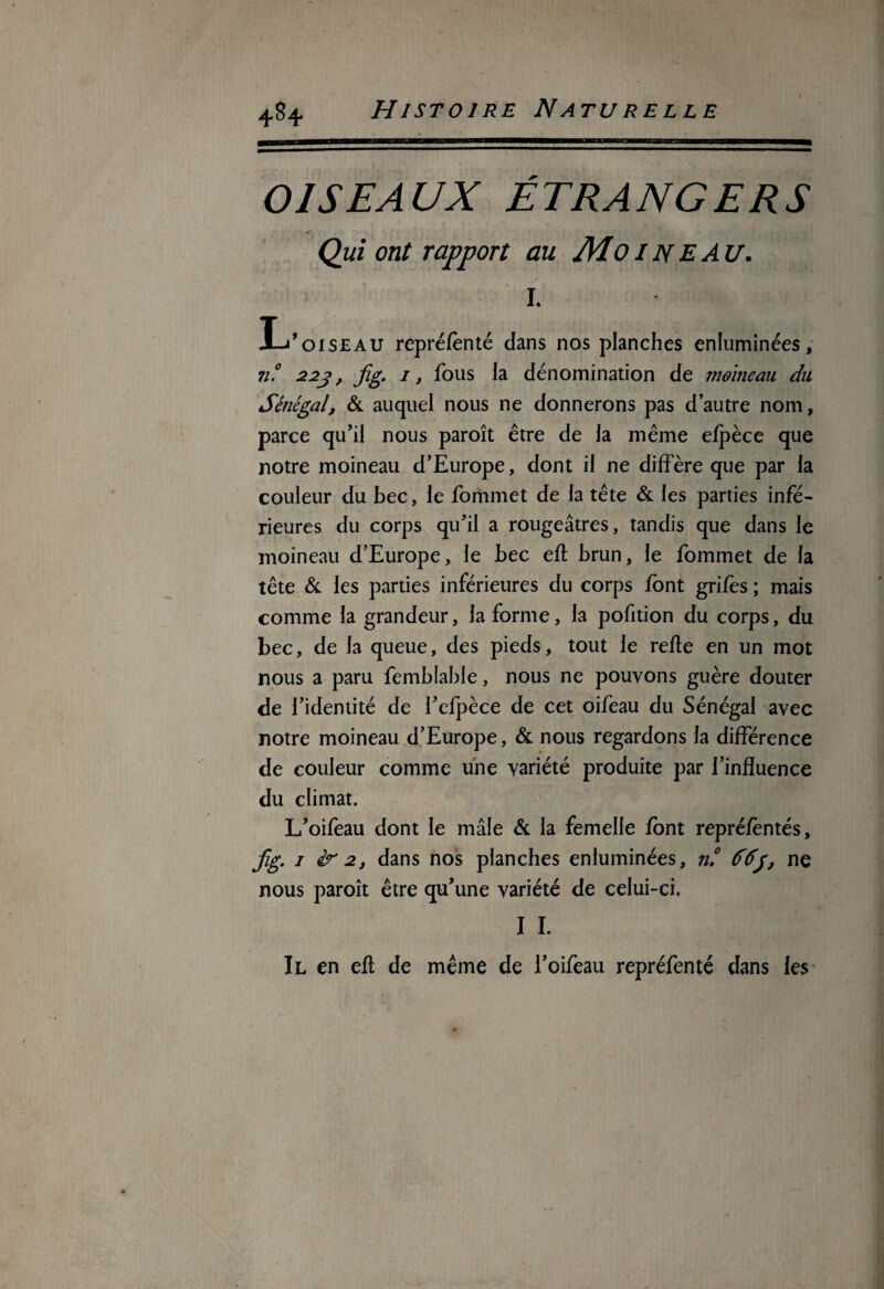 OISEAUX ÉTRANGERS Qui ont rapport au M OIN EAU. I. L’oiseau repré/ènté dans nos planches enluminées, 71° 223, fig. j, fous la dénomination de moineau du Sénégal, & auquel nous ne donnerons pas d’autre nom, parce qu’il nous paroît être de la même efpèce que notre moineau d’Europe, dont il ne diffère que par la couleur du bec, le fommet de la tête & les parties infé¬ rieures du corps qu’il a rougeâtres, tandis que dans le moineau d’Europe, le bec efl brun, le fommet de la tête & les parties inférieures du corps font grifes ; mais comme la grandeur, la forme, la pofition du corps, du bec, de la queue, des pieds, tout le refie en un mot nous a paru femblahle, nous ne pouvons guère douter de l’identité de l’efpèce de cet oifeau du Sénégal avec notre moineau d’Europe, & nous regardons la différence de couleur comme une variété produite par l’influence du climat. L’oifeau dont le mâle & la femelle font repréfèntés, fig. j ir 2, dans nos planches enluminées, n.° ne nous paroît être qu’une variété de celui-ci. I I. Il en ell de même de l’oifeau repréfenté dans les