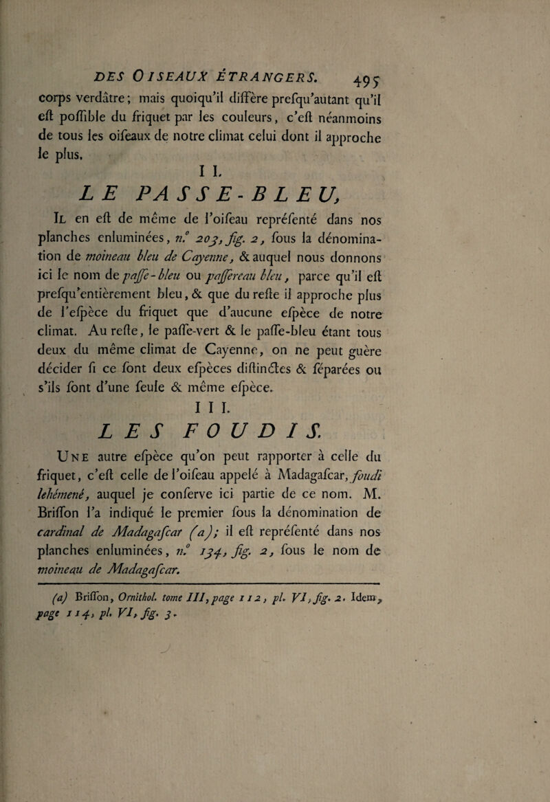 des Oiseaux étrangers. 49J corps verdâtre ; mais quoiqu'il diffère prefqu’autant qu’il eft poffible du friquet par les couleurs, c’eft néanmoins de tous les oifeaux de notre climat celui dont il approche le plus, I L LE PA S S E- B L EU, Il en eft de même de l’oifeau repréfenté dans nos planches enluminées, n.° 203,fig. 2, fous la dénomina¬ tion de moineau bleu de Cayenne, & auquel nous donnons ici le nom de pajfe- bleu ou pajfereau bleu, parce qu’il eft prefqu'entièrement bleu,& que du refte il approche plus de l’efpèce du friquet que d’aucune efpèce de notre climat. Au refie, le paffe-vert & le paffe-bleu étant tous deux du même climat de Cayenne, on ne peut guère décider fi ce font deux efpèces diflinétes & féparées ou s’ils font d’une feule & même efpèce. I I L LES F O U D I S. Une autre efpèce qu’on peut rapporter à celle du friquet, c’eft celle de l’oifeau appelé à Madagafcar, foudi lehémenê, auquel je conferve ici partie de ce nom. M. Briffon l’a indiqué le premier fous la dénomination de cardinal de Madagafcar (a); il eft repréfenté dans nos planches enluminées, n° 134, fig. 2, fous le nom de moineau de Madagafcar. (a) Briffon, Ornithol. tome III, page 112, pi. VI >fg* 2. Idemy page j i^y pl VI, fg- 3- J