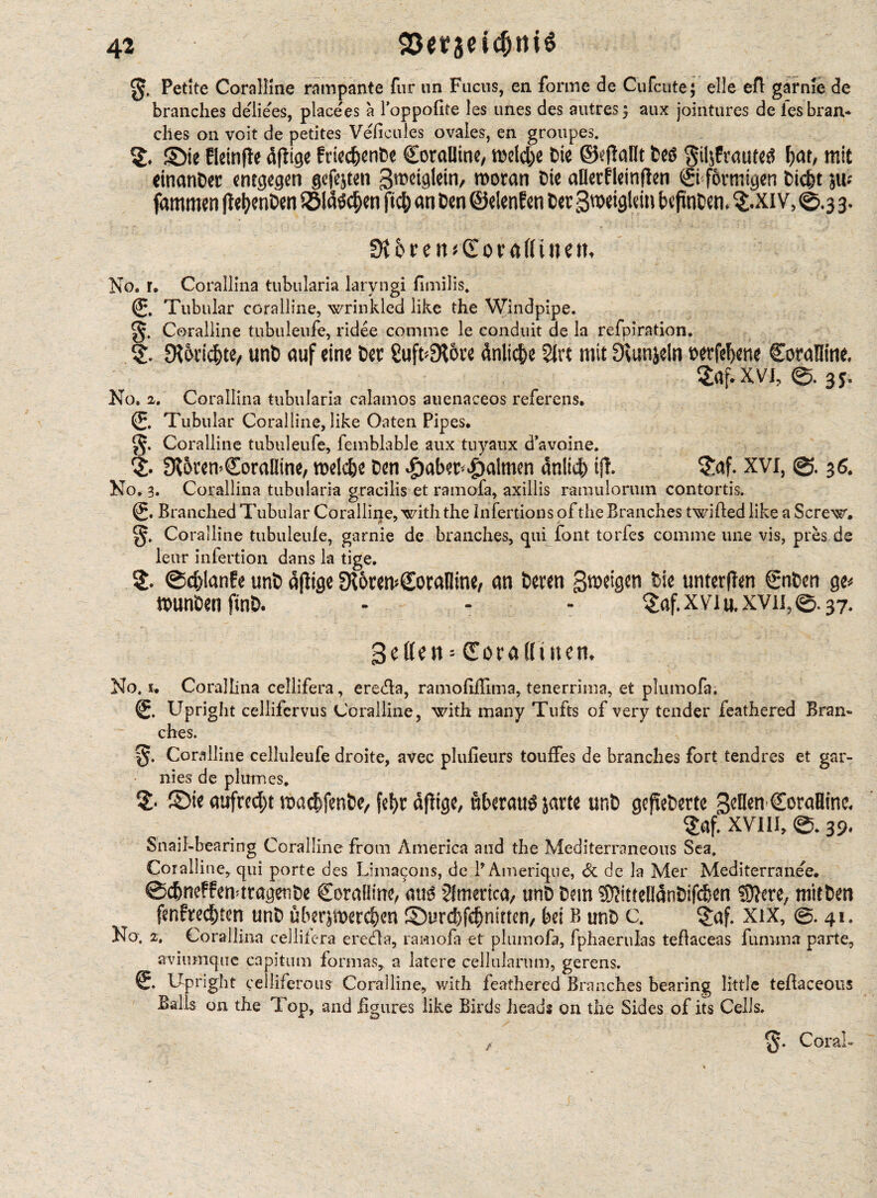 Petite Coralline rampante fur un Fuctis, en forme de Cufcute; eile eft garnie de branches de'lie'es, placees a l’oppofite les unes des autres $ aux jointures de ies bran¬ ches on voit de petites Veficules ovales, en groupes. 5» ©ie fleinfie cifltge ftiecbenfce Coralline/ mdcbe Die ©eflallt fceg Sil$frauteeS \)<M, mit einanDer entgegen gefegten gmeiglein, woran Oie aüerfleinflen Ci förmigen Dic&t }w fammen fletycnDen 2Mä3$en ftc& an Den ©denfen Oer gweigldn bvfnDem $.xi v, ©.3 3. ÜJbren^CoraffiiKm No. r. Corallina tubularia laryngi fimilis. (0. Tubular cGralline, wrinkled like the Windpipe. Coralline tubuleufe, ridee com me le cond uit de la refpiration. £R6ri$te, unt) auf eine Oer guft^ore änlicbe 2irt mit Dvunjdn oerfe^ene Coraüme. Saf.xvi, ©. 35. No. 2. Corallina tubularia calamos auenaceos referens. (5. Tubular Coralline, like Oaten Pipes. Coralline tubuleufe, femblable aux tuyaiix d’avoine. ^oren-Coralline, wdc&e Oen ^)aber^almen dnlid) if!. $af. XVI, ©. 36. No. 3. Corallina tubularia gracilis et ramofa, axillis ramulorum contortis. C* Branched Tubular Coralline, with the Infertions of the Branches twilled like a Screw. Coralline tubuleufe, garnie de branches, qui font torfes conime line vis, pres de leur infertion dans la tige. ©chlanfe unö aflige JKoremCoralltne, an Oeren gmeigen Die unteren CnOen ge* tounOen ftnD. - - - £af. xvi u. xvn, ©. 37. Setters Cora Bi ttern No. 1. Coralhna cellifera, ereifta, ramofiilima, tenerrima, et plumofa. C. Upright cellifervus Coralline, with many Tufts of very tender feathered Bran¬ ches. Coralline celluleufe droite, avec plufieurs touffes de branches fort tendres et gar¬ ni es de plumes. ©fe aufrecht wacbfenfce, feljr äflige, überaus jam unO gcpcOertc gdlen CoraHtnc. $«f. XVIII, ©. 39. Snail-hearing Coralline from America and the Mediterraneons Sea. Coralline, qui porte des Limagons, de BAmerique, Sc de la Mer Mediterranee. ©c&neffemttagetiOe Coralline, au3 Sfmerica, unO tm S)JittenanOif(^en $D!ere, mitOen fenfrechten unO uberjft>er$en ©urebfebnitten, bei B unO c. §af. xix, @. 41. No. 2, Corallina cellilera eredla, ramofa et plumofa, fphaerulas teftaceas fumma parte, ^ aviumquc capitum formas, a latere cellularum, gerens. C. Upright celiiferous Coralline, with feathered Branches bearing little teftaceous Balls on the Top, and figures like Birds heads on the Sides of its Cells. z Coral-