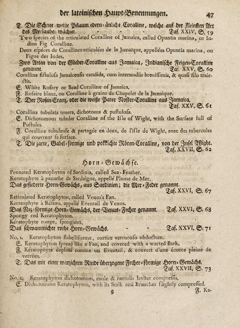 De$ SJedaubet mdct))«t. - - 24- XXIV, ^9 Two ipecies of the articulated Coralline of Jamaica, called Opuntia marina, or In- dian Fig Coralline. Deux efpeces de Corallinesarticule'es de la Jamaique, appellees Opuntia marina, ou Figue des Indes. giro Sitten bon Dec ©IieDec>£oraHine aul 3amaka, 3nDmnifc(je §dgen<(Eora!!ine genannt. - - - 2af. XXV, 0. 60 Corallina fiflulofa Jamaiccnfis Candida, cum internodiis breuiflimis, & quad filo traic- <fHs. (£. White Rofary or Bead Coralline of Jamaica. t. Rofaire blanc, ou Coralline a grains de Chapelet de k Jamaique. . ©er Diofen^ranj/ oDer Die tbeige $ater SftoJIecCoralfine auö Qamatca. 2af. XXV, 0. Ci Corallina tubulata tenera, dichotoma & puflulofa. {£. Dichotomous tubular Coralline of the If le of Wight, with the Surface full of Puflules. Coralline tubuleufe & partagee ea deux, de l’ifle de Wight, avec des tubercules qui couvrent la furface. 2- ©ie jarte/@abel<f6cmige unb poffidjte Dt&ren>£oraliine, bon Der Qnfel aBigbt. 2af. XXVII, 0.62 ^)©nt = 0etbaff;fc. Pennated Keratophyton of Sardinia, called Sea-Feather. Keratophyte a panache de Sardaigne, appelle Plume de Mer. ©a$ gef^Dme £onv©em<kb6, am ©arDinten; Die 2)}cr>§eDer genannt. $af. XXVI, ©. 67 Reticulated Keratophyton, called Venus's Fan. Keratophyte a Refeau, appelle' Eventail de Venus. ©a$ w^formtge doom* ©croacH Dec ‘Senug* §e$er genannt. 5af. XXVI, ©. 68 Spongy red Keratophyton. Keratophyte rouge, fpongieux, ©ag fd)mammic^te rotl>e Jjcrn * ©emdeft^. - * §af. XXVI, ©. 71 No. 1. Keratophyton flabelliforme, cortice verrucofo obduchtm. ®. Keratophyton fpread like a Fan, and covered with a waited Bark, Keratophyte deplore' coniine un Eventail, & convert d'une ecorce pleine de vermes. ©as mit einer »orjtd&ten Stinte überlegene gedber Ff&nnige <f)orn*©ero<kb3. taf. xxvii, ©. 73 No., i, Keratophyton dichotomy m, ca ule Sc ramulis leviter comprcfüs. © Dichotomous Keratophyton, with its Stalk and Branches (lightly compreffed. 9 ~ % Ke