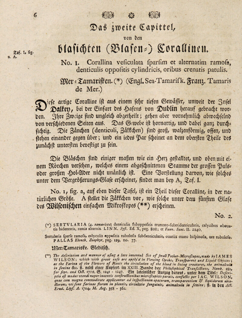 tQHp; $«f. t, a. A. zweite CapittcO tton freu fclaficbten (SMafettO Soralliiuit. No. i. Corallina veficulata fparfim et alternatim ramofa» denticuiis oppofitis cylindricis, oribus crenatis patulis. 2Hct t, Xatttatriffen. (*) (Qrttßl. Sea-Tamarifk. Jt’flitj, Tamaris de Mer.) ffNicfe artige Coralline iff au$ einem fein- tiefen ©ewdjfer, unweit Eier 311 fei ©a(fet)/ bei Der ©nfart Des djafeitö Don ©llWin herauf gebracht wor* Den. 3l>re ^wetge ffnD ungleich abgetbeilt; geben aber »ornebmlicb abwecßfelnD Don oerfcßieDenen ©eiten aus. ©aS ©ewebe iff bornartig, unD Dabei ganj Durchs ftd)tig. ©ie gdncßen (denticuli, gdlfcben) jtnD groß, waljenfbrmig, offen, unD ffeben einanDer gegen über; unD ein teDeö ^ar fcßetnet an Dem oberflen ^ßeile Des jundd;ff unterffen beoeffigt ju fein. ©ie QMdStßen jtnD einiger maßen wie ein djerj geffadtet, unD oben mit ef« nem 3vbrd;en »erfeljen, welches einem abgefcßnittenen ©tarnrne Der großen fJJulö* oDer großen. #of*2lDer nid)t undnftd; iff. ©ne 'Sorffellung Daroon, wie folcßeS unter Dem fjßergroßerungS^ölafe erfcßetnet, ffnDet man bet; A, 5af. I. No. i, fig. a, auf eben Diefer 5afel, iff ein 5l)eil Diefer Coralline, in Der na* unlieben ©rbße. A ffeHet Die gdffcben oer, wie folcße unter Dem fünften ©lafe Des <2ßi(fomfcb)m einfachen SÄifroffopeS (**) erfeßeinen. ' No. 2. (*) SERTVLARIA (4. tarn arisen) denticuiis fuboppofitis truncato-fubtridcnticulatis, calycibus oboua- tis bidentatis, rainis alternis. LINN. Sy fl. Ed. X, pag. go8; et Faun. Suec. II. 2240, Sertularia fpavfe ramofa, calyculis «ppofitis tubulofis fubdemiculatis, ouariis ouato bifpinofis, ore tubulofo, PALLAS Flench, Zoophyt, pag. 129, no. 77» ©lebitfd). r (**) The description and manner of uftng a late invented Set of JmaUVocket-Microfcopes,made fylAMES WILSON; which with great cafe arc apply d in Viewing Opake, Transparent and Liquid Objects; as the Farina of the Flowers of Plants the circulation of the blood in living creatures, the animalcule in femine &C. |L ttCbft fdttCf ÄUpfCtt* till XXIII. 23ält6e bet! Philofopbical Tranfafiions, Numb. 281» for fept. and Off. 1702, 0. 1241 - 1247. ©n latßinifcfcer $u*|ug fearaus, unter feem £itel: Defcri- > ptio efl modus vtendt nuper inuentis conflrufttombus microfcopicis par ui s, confefiis per I A C. WILSON, quae cum magna commodstate applicants ad infpettionem opacorum, transparentium & liquidarum obie• Horum, vtifunt farinae florum in plantis, circulatio Janguinis, animalen!« in femine \ L in hen AH. Ernd. Lipf A. 1704, M. Aug. 358 - 361. 1