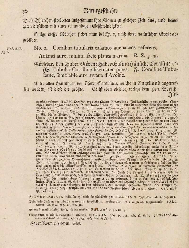 ■iß 9Ututgefd)idjte £>iefe ^ictd^n fheEfetot iträgefammt if)rc flauen ju gleitet1 Seit mi$, unb Uftu geteti Diefeiben mit einet1 etflaunii^en ©ef$winDigfcu. Einige Dtejjv Siovdjen fielet man bei fig. b, tta<$ tyrer natürlichen ©v6jje ab* gebiibet. No. 2. Corallina tubukria calamos aucnaceos referens, Adianti aurei minimi facie plants marina. R. S. p. 31. $H6ricf>te/ Den .^aber^K^rcn^abetv^abmn) anlidje CotaUüte.(+) (©. Tubular Coralline like oaten pipes. §. Coralline Tubu- leufe, femblable aux tuyauxd’Avoine. Unter alien ©attnngcn non SvörcmCovallinctv meldje in (BtgdlflitD angetrofc fen ©erben, if) Diefc Die grofjte. & iff eben Diefelbc, meiere Dem -firn. ^öecufj. ; - • sftf* a a nth os rubrum, HERM. Lugähat. 574; bte fd>one 3(ttua*yUte; 3nbi;<*iftfd)C gang rot be VTar* etfie*, 0ref>e 3^cobs#V^<it*ciffe mit bod}rotl}cn Ultimen; n?irb tn felgenbn? SlbbanMungen »after bcfdufteben. SlntnerFimg nub Aufgabe pom LUio-NarciJJus; ft. ini 82 St. to ^amtorerifef). 2toir. $* Hnjcn unb t>ergn. t>. 'J. 175-9. iBhvae jut* 23eanm>ortnng ber llitfgabc in ban 82 St* biefer 23citr. b* 'J. tie votfye £iliemXTaräf|e betreff cub : ft. im 91 St. berfclben. t£vf lauicvwttt bet* im 82 St* bet* ^amtoo. 23eitr* bcfmblid?en “2t ufgäbe , tic ItnutvyUtB betreff ft.'itn ioi St* berfclbeu. CORN'/Ti bat in feinet' Beitreibung Dec <JSflfott|en ucnCana* la, .tap. 58» btefer ©attung twn £ilie juerft unter t>em Hainen: Narciffus japonicus rutilo fiore, ©r* WeftltUttg getjftilit* hi Hum Sarnia?fie; or a description of the Gutrnfey-Liliy ; to which is added the bo¬ tanical dijfefiion of the Coffee-berry ; with figures by Dr. D O V G L A Ss Lend. 1725, f. 35 U. 22. 0. Wirft iut journal d. Scav. Aout, 1726, 472 - 479, recettfftet. 3» LAVR. HEISTER I deficrL ptio novi generis plantae rarijfmae et fpeciofiffintae Africanae ex bulb of arum claffe, tUClcfte JU 23raittt* £d>weig 1753, in grof ftol. neb ft 3 .ftupfett. f)erau£gefornraen ift» fm 43. St. bee (Sotting. 'Hnj. *»• g* S. A* b. 3* T7$4» 367, f. Uttft fit ber Nouvelle Biblioth. German. To. XVII, P. 1. A Amji. 1755, 8. Art. 3, 38-so rccenfiret wirft» uttft beten fteutfcfte Uebetfejung» unter Dem ititul•• iprn. £0 rest 3 Reifte t'ß 23efd>t*etlnmg einee neuen 0efd)led)tö einet* fel>r raren tmb über# aus frifönen africanitdjen Ptlanje ana ber Familie bet* 3wiebelgewdd)je» t»clcf)e cr 311 Igb? ten tinb tmmern>at*enben ^Cnbcnfen bee bm*d>t ^iir^en tmb ^et*rn, >5errn Carle, ie^tre? gterenben ^et^ogs 311 Braunfii>tveig tmb £tmelun\t, ben XT a men 'Brunfvigia bcigelegct; m Brmmfd)tt?eig, 1755^ tn c?ro§ Sieg, foi* auf jo $8. erfct)ienen tft» nierben mfehicbene grunbltcbe ttöd)tungen über bte £ilien^ardfFen angeftdlet. Outlines of a fyfiem of vegetable generation, by JOHN HILL, Lond. 1758; gt. 8. 46. 0, ttietbeu tut 60 St*, bet* 0btt* itnj* l>* tt. S a. b* 17to 0. 524; recenfiirt Cß werben barftw Die ^beile bet SlmatnUW mit gebrgcucnStaub wegen uni) ©taubfabem nacb.bem ^ergr^erungg ®löfe befdjtisben. tg* £* Sr an fens befon? here 2frt, bie fteifdifarbene ^(mar^Uie 311t* Jlor 311 bringen/ ft. im 19 St* ber pbyftfal..Be; luftig* 25erK 1752, g.. 0. 676-678. Knmerhmgen über bte fd>oneprmaryllt0/ von Carl £in? ttdu0; ft. nebft einet Äurfert in ben Htbbanbl. ber 2bönigl* Set)web* ^Ibab. ber VTilTenfd)* a* b* 3. 1742: beggl. feutfcfk tm 4t^u 3anbe ber £aflncrtd)en lleberfc$* ^amb« 1750, gr. 8. 0. nos 123. (*) TVß V LARI A (1. indiuifa) eylindris ItmpKcidimis genlcnlatis. LINN. Syfi. Nat. ed. X, pag. 803. Tubularia (caF.imaris) tubulis aggregatis fimplicibus, iaeuiusculis, infra implexis, fubproliferis. PALL. Eknch. Zoophyt. pag. 8,C no. 38. Adiantht aurei minimi facie, planta marina. R A*I. Angt. p. 31, no. 4, Fucus vermicularis f. Polytubuli arteriofi. B O C C O N. Muf. p, 358» tab. 6* fig. 5* JUSSlEVAfr- moir. de /*Acad, de Paris, 1742, pag. 296* tab. X, fig. 2. ^dbev^cr;VTpfeifc&cn. ©UD*