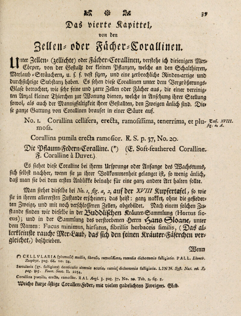 vierte ttott ben gellen* ober gdcl)ee*gtotallineii. Unter Bitten* (jeHtdfte) ober $act>er*&s>rallinen, rcr(M>e ich bieienige«; Cbrper, ron ter ©e|talljt Der fleinen fJJflanjen, treibe an ben ©chalthieren, SDlerfaub *©trdud;em, u. f. f. reft ftjen, unb cine jerbrecbltche SRinbemartige unb Durd)ftd)tige ©ubftanj fjaben. Cd fehen tiefe Cotallinen unter bent QScrgrbjjerungd* ©lafe betrachtet, trie fef>r feine unb jarte gellen ober gdd)er auö, Die einer bereinig» ten Slnjal kleiner ?f)ierd&en jur fSJonung bienen, »reiche in Slnfetmng ihrer ©tellung fotrol, afe auch ber SÖlannigfaltigfett ihrer ©efiallten, ben gtreigen dnlid) ftuD. ©ie* fe ganje ©attung ron Coralltnen braufet in einer ©dttre auf. No. r. Corallina cellifera, ere fra, ramollffima, tenerrima, et pi a- ®«f. wm. Corallina pumila erefia ramolTor. K. S. p. 37, No. 20. 2)ie ^ftaunp§e&ertu£eralltne. (*) (©. Soft-feathered Coralline, 5. Coralline d Duvet.). ‘ ©0 fiehet biefe Coralline bei ihrem Urfprunge ober Anfänge bed <3Sacljdtum#, ftch felbft nachher, trenn fte ju ihrer QJoUfommenhett gelanget ifl, fo trenig dnltch/ ba^ man fie bei bem erften Slnbliffe beinahe für eine ganj anbere 2lrt halten foUte. S)Ian fteljet biefefbe bei No.fig. a, 2, auf her XVIII Äupfertafel, fo trie fte in ihrem allererften guflanbe erscheinet) bad helft: ganj naffet, ohne bie gefieber? ten gtreige, unb mit noch rerfchloffenen gellen, abgebilbet, Stad) einem folgen go* ftanbe ftnben trie biefefbe in ber 23ubNtjcheit 3Wuter»©ammlung (Hortus fic- ous); unb in ber ©ammlung bed rerjtorbenen d)errn i^atlQ 0Ioatte/ unter bem Stamen: Fucus minimus, hirfutus, fibrillis herbaceis fimilis, (©a$ üU lerflemffe rauche SWer^auh, ha$ ftch Oen feinen Äranter^aferchen wt? filacpet,) befd;rieben. {*) CE L L V L A RIA (plqmofa) mollis, fibrofa, ramofiffima, ramulis dichotomis falticiacis. PAL L. Ebnet. Zcopbyr. pag. 66, no. 24. Scrtufom C57* fartigiata) denticuKs alternis acuris*. ramis] dkhotomi* fafligiatis. L IN N. Syß. Na?. s& Jty fiag. gif. Faun. Suec. 13, 5254. Corallina pumila, ereJb, tramoffi». RAI. A»gl. 3. pag. 37, No. so. Tab. J, fig. JV Weiihe furje dfligs domUen^ebev, mit rielen gabeücfeteo Stoetgetj. I