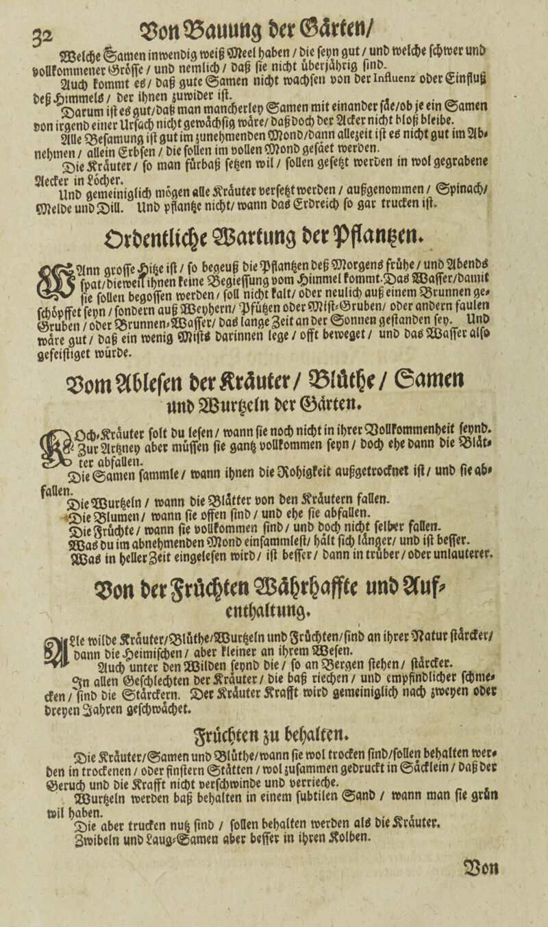 3a $ott95auungdcr$4rMt/ , SBelcftc tarnen inwenbig weig «Öleei gaben / bie fern gut /unb wei*e f*wer unb fcoUfommenet tröffe / unD nciriUcb / Daß ße nicfyt uberjabrig finD. 2luct) fommt«/ Daß gute ©amen nicht toaebfen t>on Der Influenz oDerSmflug Deß^immelO/Dcc ihnen jumiDet iß. . Saturn iß e* aut/Daß man mancherlei? ©amen mit emonDer fie/ob ;e ein ©amen &on irgenD einet Utfach nicht gemaebßg mate/ Daß Doch Der 51cfet ni^t bloß bleibe. 2lUe ^$efamung iß gut im junehmenDen *2ttonD/Dann allejett iß e£ nicht gut tm 21b# nehmen / allein grbfen / Die foUen im ooUen flftonD gefäet »erben. Stc%5uter/ fo man fürbaß fefcen n>il/ foUen gefegt meruen tn mol gegtabene a<ctUnb gemeftiiglt* mögen aUe Stautet »erfegtwerben / auggenommen / «Spina*/ C2?elDe unD SiU. UnD pflanze nicht/ mann Dao (SrDreich fo gav truefen iß* Ordentliche Wartung der <Pflan|<n. , ornn avoffc Aiße ift / fo begeug bie «Pflanzen beg ©lorgemi fröge / unb Slbenb« ? foat/biewelfignen feine «Begieffung »om Aiinmci f ommt.©a<s SBaffer/bamit {, flucti beaoffen »erben e foll nkgtfalt/ober neuli*aug einem «tunnen ge. f*6pffet fepn /fonbevn aug «Betern/ Pfügen ober©ti|b@ruben/ oberanbern faulen gruben / ober «Btunnemftßaffer/ baO lange Seit an bet Sonne» geftanbenftp. Unb »ate gut / bag ein wenig «Ölift« barinnen lege / offt beweget/ unb baoSSBaffetalfe gefeißiget mürDe. Som Bblefm der Krauter / 35lüthe/ 6amw unt> SBurßefn t>er ©arten. O)*,Staufer folt bu lefen/ wann fie no* ni*t in ibret vQollfommengeif fcpnb. gurSltgnep aber muffen fte gang »oUfommen fetjn / bo* ege bann bie «lat» S)U ©amen fammle / wann ignen bie3iogigfeit auggetroefnet ift / unb fie ab* ^U< ©iePBurgein/ wann bieSBIätfemn benSräutern fallen. ©ie «Blumen/ wann fie offen finb / unb ege fie abfallen. ©ieftrö*te/ wann fie eollfommen finb / unb bo* m*t feiger faden. Sa« bu im abnegmenben «Oionb einfammlefi/ galt fieg länger/ unb ift beffer. SCßa« in bellerSeit eingelefen wirb/ ift beffer/ bann in trüber/ober unlauterer. $on der$rächtmQBä&rh<#e tmdSfuf’ y entdaltuug. Sie wilbe £raufet/93liitge'3Burge!n unb Stficgten/finb an igrer Sftafut ftätefer/ bann bie Aeimifcgen / aber ffeiner an igrem SBBefen. SJucg unter benJßilben fepnb bie / fo an «Bergen (legen/ ftarefer. °{n allen @ef*ie*ten bet Stautet / bie bag tieegen / unb empgnblicger feg me« efen / finb bie ©tärefern. ©et Sräuter Srafft wirb gemeiniglicg na* {wegen ober brepen Sagten gef*wä*et. ^rudjteu ju bemalten. ©ie Sräuter/©amen unb «Blütge/wann fie wol froefen finb/foden gegolten wer« ben in troefenen / ober gnftetn ©tätten / wol jufammen gebruef t in ©aef lein / bag ber @eru* unb bie Srafft ni*t oetf*»inbe unb oerrie*e. Söurgeln werben bag begalten in einem fubtilen ©anb / wann man fie 9tuti ^©ie aber truefen nug finb / foden gegolten werben als bie Sräuter. gwibeln unbSaug<©amen aber beffer in igren Solben.