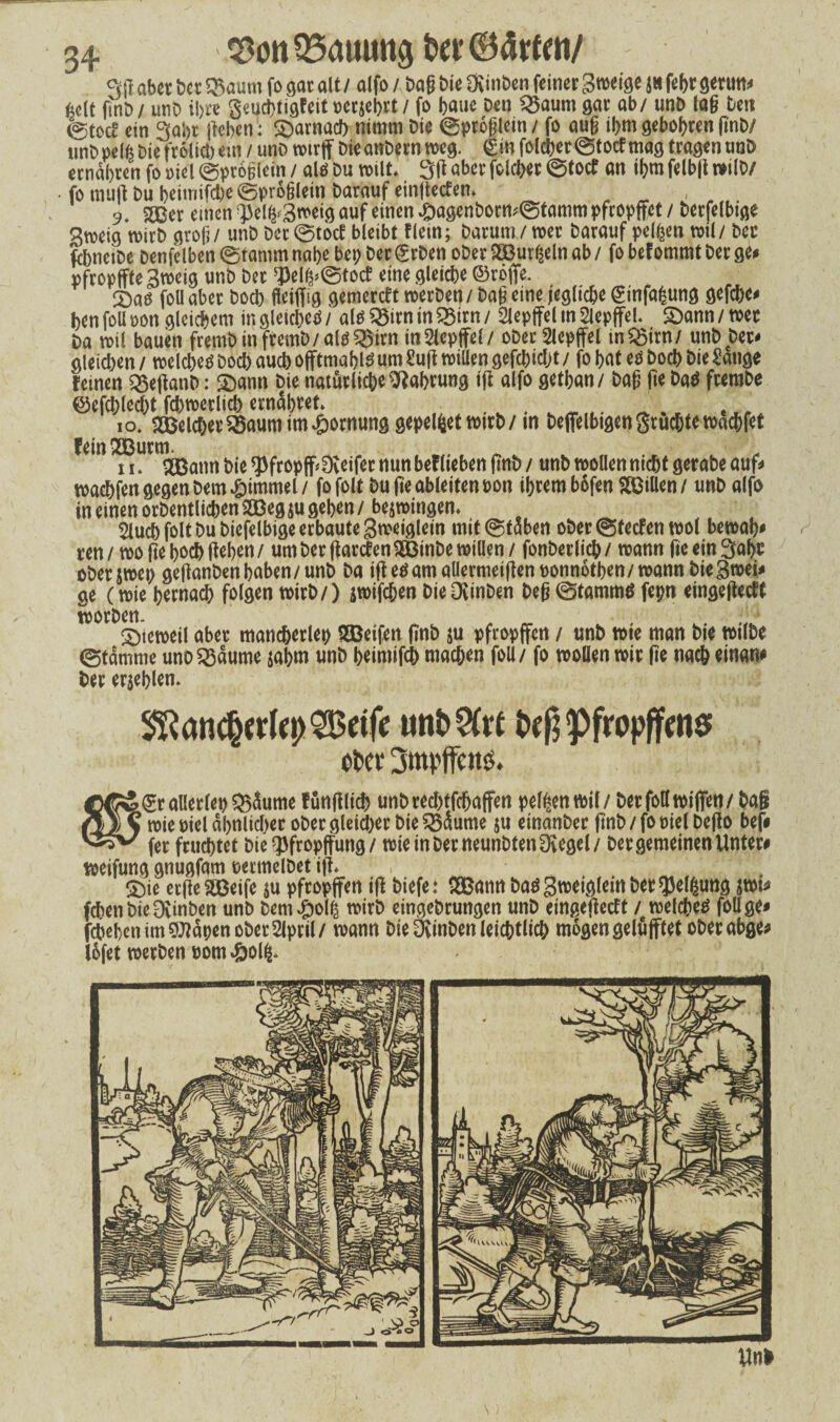 3ß aber ixt Q5aum fo gar alt / alfo / Dag Die fXinDen feiner Sroeige J« febr gerun* gelt ftnD/ unD i!)te geucbtigf eit »ergebet / fo baue Den 35aum gar ab/ unD lag Den 0tocf ein 3ai)t flehen: £)arnad>nimm Die 0proglcin/ fo aug ihm gebobren ftnD/ unD pelfe Die frolid) ein / uno wirft Die anDern weg. <£in folcher @tocf mag tragen unD ernähren fo oiel @pro§lein / alr* Du wilt. 3ß aber folcher @tocf an ibm felbß wilD/ • fo muß Du beimifebe eproglein Darauf einßecfen» 9. 3Ber einen ^el^S^eig auf einen ^)agenDorm0tamm pfropftet / Derfelbtge gtoeig wirb grog/ unDDer0tocf bleibt flein; Darum/wet Darauf pelzen wil/ Der fcbneiDe Denfelben 0tamm nabe bep Der <£rDen oDer SBurßeln ab / fo bef ommt Der ge* pfropfffe gweig unD Der *J)el^0tocf eine gleiche ©röfte. £»cu* foll aber Doch fleißig gemereft werben/Dag eine jegliche @infa|ung gefebe# ben foU oon gleichem in gleicher* / alf* 33irn in 533irn / 2Jepffel in Slepffel. 2)ann / wer Da wil bauen fremDinfremD/alö^irn in2lepffel/ oDer 2lepffel inQ5irn/ unD Der* gleichen / welcher* Doch auch offtmabis um Suß willen gefehlt / fo bat er* Doch Die Sauge feinen Q5eßanD: £>ann Die natürliche Nahrung iß alfo getban/ Dag ße Da$ fremDe ©efchlecht fchwerlich ernähret» 10. Welcher 35aum im £ornung gepelzt wirb/in Deffelbigengrüchtewachfet fein ö|e 5j>fr0p^ 0-eifer nun bef lieben ßnD / unD wollen nicht geraDe auf* waebfen gegen Dem £itnmel/ fofolt Du ße ableiten oon ihrem b6fen SOBiHen/ unD alfo in einen orDentlichen 233eg $u geben / bezwingen» Sluch folt Du Diefelbige erbaute gweiglein mit0faben oDer@fecfeti wol bewab# ren/ woßeböchßeben/ um Der ßarcfenSBinDe willen / fonDerlich/ wann ße ein 3abt ober&wep geßanDenhaben/unD Da ißetfamaüermeißenponnotben/wann Diegwei* ge (wie bewach folgen wirb/) jwifeben DieOvinDen Deg ©tammd fepn eingeßeeff worben. 2)teweil aber mancberlep Reifen ßnD ju pfropften / unD wie man Die wtlDe (Stamme uno 23äume $abm unD beimifch machen foll / fo wollen wir ße nach einan# Der erschien. Mancherlei) 2Betfe unb&rt begpfropffens ofcci‘ 3mpffc!tö. (grallerlep?BÜume fünßlid) unDred)tfchaffen pelzen wil / Der foll wißen/ Daß ‘ wie üiel ähnlicher ober gleicher Die ^dume ju einanDer ßnD/fobielDeßo bef# fer fruchtet Die ^fropffung / wie in Der neunbtenOvegel/ Der gemeinen Unter# weifung gnugfqm oermelDet iß* ^ . £)ie etßeSßeife $u pfropften iß Diefe: 23Bannbaögwetg(ember$elhuttg swi# fchen DieOvinDen unD bem#ol| witD eingeDrungen unD eingeßeeft / welche^ foll ge* feheben im SMäpen ober 2lpril/ wann Die OvinDen leichtlich mögen gelüfftet oberabge# I6fet werben bom»&ol^