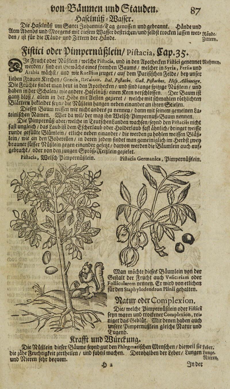 Port 254umm unb 6faubm» •£>afe(ttüß Gaffer. Sie-Safelnüg um@anct3obanni&$ag genojfen unbgebrannf. .gänbeunb 4cm 2lbenw unD Borgens mit tiefem Söffer beftrid[)«n/unD felbft trotfen laßen wer* Äbe. &*n / ifi fuc Die DvauDe unD Sittern Der #anDe. 3imm» Stfttci ober pimpernö^leiu/ Piftacia, ffap*35* 3c ScudStt ober Äuglein / welche Piftacia, unb in Ben 2lpoti>ecfen Fißici genennet tlhibmen, »ccDcn / finB cm @et»i3cbP eine# fccmBen SSaumft / roelcbet in Syria, Perfia unb Arabia wäcbft/ unD wie Rudiiui jeuget / auf Dem 'JJartfifdjcn gelbe/ bepunfec Jicbcn grauen Äird;cn / Gricis, Ital.PiJlacki. Gatt, Pifiacbei, Iltfp .-Alihiocivo. Siegcud/te (mbetman beut inbenSlpotbecfen/ unb finb lange fpiijige JRügletn / unt> naben tn Der <bd>afen/ wie anbete £afelnüg/ einen Äern »erfcbloffen. Sec $Baum ifl gan| blop / allem in bet £>obe mit Sieden gelieret / roe!rt>e mit fcbmablen rütblubten äöiaftec# betleibet fcpn/ bte liufjlem bangen neben einanbec an ibcen ©fielen. . • . '-Saum tviffen wir nicbtanberPju nennen/ Dann mit feinem gemeinenJa, teimföenjflamen. SÖBet ba roil/ bet mag ibnSBelfcbfJimpetnugrSSaumnennen. , „ ©•Wmpermig abec/reelcbe in Seutfebenfanben roaebfen/fepnb ben PiftaciU nitbf fall ungiettb/ bap Saub ifl bem gfdKtlaub ober £olbcrlaub fafl abnlidv bringet weife tunbe gefüllte SSIumlew / etliche neben einanbec / bie werben ju boblen weifen SSläg# lern / wie an ben SSobeteilen / in beten iebem gnbet man gemeiniglicb im £erb|l jmet) brauner fußer vt u($letn gegen einanDet gefefyt / Daroon werben Die Q3äumlein aueb auf# fiebraebt / ober oon Den jungen @profcDveijjlein gefielet. Piftacia, S&elfcb fpimpernftfjlein. piftacia Germanica, ^impernügfeM. CD?an mochte biefetf 35<Sumlem öon bee ©ellalt Der ftrUCbt ÖUCb Veficariam oDßt Foüicularcm nennen, £r wirb t>on etlichen für Den Staphylodendron Plinii gehalten* OfcWComplexion. SDie/ welche ‘Pimpernüglein ober Fiftics fepn warm unb tro<fenerCompiexion,rei# Niger Daö©eblüt. Sttit Denen haben auch unfere ^impernüglem gleiche 9ftatueun& ^ugenD. Äraffi «nt» 2Bürcf«ng. Sie 3lfig(ein tiefer 58äume fepnb gut ben Phiegmatifdjen ©Jenfcben / biewcii ge jeBet; btc jabe geuebtigfeit jertbeilen / unb fubtil mad/en. Secobalben ber iebec/ Jungen Punge. unb Piecen febc bequem. ^ • :;j»: . •& a 3nDet V