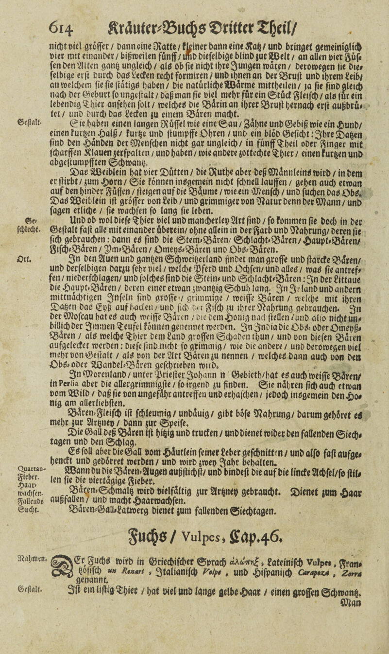 ©efraU. ÜXL Quartan¬ fieber. 3baat' tMd)fen. faUcnbe 6ucl;t. giabmen« ©ejialt. 614 £räufer*33uch$ dritter XtyiU nichtoid groflet / Dann eine Otatte / fleiner bann eine £afc/unb bringet gemeiniglich »ier mit einanber / bißweilen fünflf / tmb Diefelbige blinb jur Stßelt / an allen üier güf# fen ben Eliten ganß ungleich/ alö Ob fie nicht ihre jungen waren / betowegen fie Die# felbtge erft Durch Dab Reefen recht formiren / unD ihnen an Der$5ruß unD ihrem Uibt an welchem fie fie ßatigtf haben / Die natürlicbeSOBärme mittheilen/ ja fie fmD gleich nach Der ©eburt fo ungeßalt / Daß man fie Diel mehr für ein ©tücf gleifcb / ale für ein lebenDig^hier anfehenfolt/ welche* Die Barman ihrerQ5ru|lhernach er|l außbrü# tet / unD Durch Dab Eecfen ju einem Q3ären macht* © tc haben einen langen SKüfiel wie eine ©au / Sahne unb ©ebiß wie ein .ftunb/ einen furfcen .joalß/ furfce unb ftunipffe Öhren / unD ein blöD©eficht:3bre!£)afcen finb ben 4i)änDen Der €07cnfd>en nicht gar ungleich/ in fünff^beil ober ginger mit fcharffen flauen jerfpalten / unD haben / wie anDere jottechte $hier / einen furzen unb abgejiumpfften ©ebwanfc. $)ae s^ßeiblein hat der ©ütten / Die Övutbe aber beß SOlannlein* wirb / in Dem er fiirbt / $um #orn / ©ie fonnen insgemein nicht fchneü lauffen / gehen auch etwan auf ben binber güffen / lleigen auf Die $Mume / wie ein 0J?enfch / unD fuchen Daö Öb& £>a* SSBeiblein iß großer non £eib / unb grimmiger non $?atur Denn ber ©fann/ unb fagen etliche / fie wachfen fo lang fie leben. Unbob wolbiefe^hier Diel unb mancherlei) 2irt finb/fofommenjie hoch in ber ©eßalt fall alle mit einanber überein/ ohne allein in Der garb unb Nahrung/ Deren fie ftch gebrauchen: Dann e* ßnb bie ©feineren/ @ch!achhQ54ren/«öaupt#Q5üren/ gtfch*Q3ären / 3)m>Q3üren/ ötnep&SSdren unD öbtf>Q5ären. 3n Den Sluen unb ganzen @chweiherlanb jinoet mangtofife unb ßarefe Q3dren/ unb berfelbigen Darjufebrnid/ welche <j3ferDunböchfen/unbaüetf/ wa* ßeantref* fen / nieberfchlagen/ unb folchetf ßnb bie ©tein* unb ©chlachtoöaren: 3n ber ftttaue Die £aupt*33ären / Deren einer etwan $wanfcig©chub lang. 3n3flanDunDanberrt mittnüchtigen 3nfd» finb großev grimmige / weiflfe Q5aren / welche mit ihren Spaßen auf baa'ctw unb ßch Da gifd) tu ihrer Nahrung gebrauchen* 3n Der?D?ofcaubatetf auch weiße KSaren / Die Dem«ßonignaci (teilen/unb alfo nichtun# biüichber 3tnmen Teufel fonnen genennet werben. 3n3nDiabie Ob& oberömepß* Q5üren / al$ welche $bier Dem £anD großen ©chaDcn thun/ unb oon biefen Spüren aufgelecfet werben: Diefeßnb nicht fo grimmig/ wie Die anDere / unDDerowegenDiel mebrron ©eßalt / al* ron Derart QSärenju nennen / welchem Dann auch non De« £)b&oDer 5£t3anbel*Q$Sren gefchrieben wirD* 3nfÜ?orenlanD/unter ^rie|]er3ohann n ©ebieth/bat eö auch weiflfe ^üren/ in Pcrfia aber Die allergrimmiglle / fotrgenD ju finDen. ©ic nühren fidh auch etwa« nom^BilD/ Daflfiebonungef%antreffenunDerhafcl;en/ jeDochinsgemein Deni)o# nig am alierliebiien. ^Baren.gleifch iff fchleumig/ unhüuig/ gibt b6fe Nahrung/ Darum gehöret ci mehr jur Slr^neo / Dann jur ©peife. 2)ie ©all Deg ®aren ijt htfiift unD truefen / unD Dienet wiber ben faDenben ©iech# tagen unb ben ©chlag. €öfoü aber Die ©ad »om *£>äutletn feiner Heber gefchniften/ unb alfo fafiaufge# heneft unb gehörtet werben / unD wirDjwei) 3uhr behalten. SBann Du Die 35üren»2lugen aufl(tichP/ unb binbeff bie auf bie (inefe 2lchfel/fo ßil# len ße bte oiertagige gieber. ^ar^n;©chmal^ wirb bielfaltig $ur Slr^neh gebraucht* dienet $um auflfaüen/unb macht «&aarwachfen. ' y 234rem©aü*£atwerg Dienet jum faüenben ©iechtagen. $uch$/ Vulpes, ffap*4Ö, Sutftö wirb in ©rieebifeber ©pmeb ä\tSitn^, £atcinifcb Vulpti, hoftfeh uh Rennt, 3talianifch roipt, unb *&ifpamich Carapoza, zona genannt. 3ß emlißlg^hi« / hat hielanb ignge gelh^nar / einen großen (Schwang SÄa«