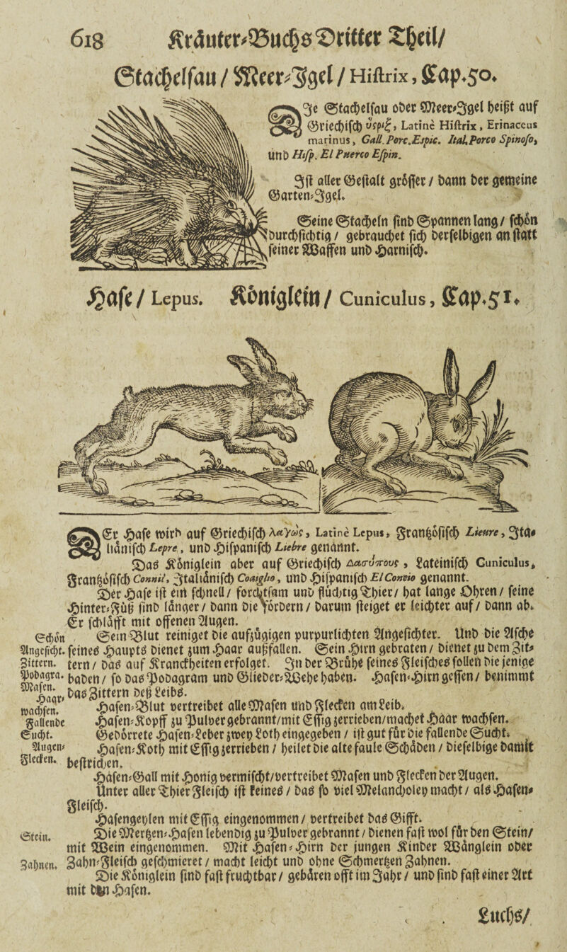 xg>afe tvitD ÖUf ©riecf)ifcD A«>«?, LatineLepus, gran^6(tfc& Lienrc,^* ggä liänifcb Lepr*, unD 4oifpanifcb Liebre genannt. £)atf $oniglein ober auf ©riecbifcb a«owöu?, i’ateinifd) Guniculus* Sran^iSfifd> Connii, jtaltdntfd) Coaigho, unb «öifpanifcb EiConm genannt¬ er ^afc ift citt fcbnell/ forchtfam unD flücljtig^t>iec/ bat lauge Ob«« / feine $inter*güf finD langer / Dann Die YorDern/ Darum Zeiget er leichter auf / Dann ab*. €r fchläfft mit offenen klugen. o ed)on ©ein Q3lut reiniget Die aufjügigen purpurlicbten ^ingeficbter. UnD Die vlfcbe 5lngcfid)t. feined #auptö Dienet $um £aar auffallen. ©ein Dtrn gebraten / Dienet *u Dem 3it> Sittern, tern/ Datf auf jvrancfbeiten erfolget. 3n Der 39rübe feineO gleifcbetffallen Die jentge 9Mögw*t>aDett/ foDaö^oDagram unD ©lieber*£Oebe haben. ^)afem^)irngclTen/ benimmt Daö Rittern Defl!eibö. wadS ^afen^lut vertreibet alle Olafen unbglecfen am2eib. gaüenie J^afen^opff ju QJulver gebrannt/mit ^flftgjerricben/macbet^äar tvadjfen. eucbt. ©eD6rrete#afem£eberstvep£otbeingegeben/ itf gut für Die faÜenDe©ucbt» Fügern ,&afem$otb mit (£(ftg jerrieben / beiiet Die alte faule ©chäben / Diefelbige Damit Slecfen. befltidjen. 4bäfen*@all mit J&onig vermifcbt/vertreibet SDJafen unD glecfcn Der klugen, unter aller ^bfarSfeifch ifi feinet / Daö fo viel ^ftelanchoiep macht / al0*0afen# Sleifcb- ♦Öafengeplen mit (£flig eingenommen / vertreibet Dag ©ifff. vStcin. £>ie OJJer^en^afen lebenDtg ju Pulver gebrannt / Dienen fafi ivol für Den ©fein/ mit SOBein eingenommen. 9)?it »hafen * #irn Der jungen $inber Zünglein ober Sahnen. 3abn*gleifch gefcbmtcret / macht leicht unD obne ©cbmer^en Sahnen. $Sie$oniglein fmD faft fruchtbar / gebären offt im 3abr/ unD finD faft einer 2lrt mit bluffen. 618 £rduter*Q3uclfaS>rttfer £(jetl/ ©tachdfaii / $Reer*3Jgd / Hiflxix, ffap.50. >g-^3e ©tachelfau oDer 9tteer>3gel beift auf ©riechifch Latine Hiftrix , Erinaceus marinus, Call.Pon.Espic. ItaLPorco Spinofo% UnD Hifp, LI Pneno Efpin. 3(1 aller ©e(lalt großer / Dann Der gemeine ©arten*3gel. ©eine©tadeln ftnD©pannenlang/ fcboti Durcbfichtig / gebrauchet fich Derfelbigen an ßatt feiner Waffen unD £arnifc&. ^afe / Lepus. Kbmglein / Cunkuius, Stap.51. ■ \ . (  v  ' 1 v ;; £ucf)ö/