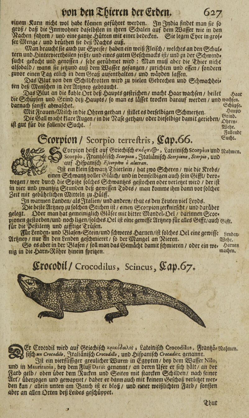 fciOftcräartt nicht wol babe fonnert geführet werben. 3« 3nt>ia ftnbet man ftc fo grog / Dag bie 3nnwobnec Dafelbgen in ihren Schalen auf Dem 2Bafter wie in Den Aachen fahren / unD eine gan&e Jütten mit einer bebecfen. Sie legen £pet in grof* fer Stenge / unD brütpen fie Deg 3?acht$ aug. $?an braucht (te auch jur Spetfe / haben ein weig gleifch / welche an Den Schul* tern unb *&interüiertbeilen feigt/ unb einetf guten ©efchmacfg ig/ unb $u Der Schwinb# fucht gefocpt unb genoften / fehr gerübmet wirb : $ttan mug aber bie $bier nicht alfobalD/ wann fie je^unb aug bem £Baffec gefangen / jurichten unb eften/ fonbern Suoor einen $:ag etlich in bem ©rag aufentbalten/ unb wapben laften. Sbatf Q3lut non Den Schilbfrotten wirb nieten ©ebrechen unb Schwachheit ttn beg CSttenfchen in Der 2lr£nep gebraucht. S3aö«Slut an Die fahle Ort Deg #aupf$geftr (eben/ macht $>m warfen/ heilet Die Schupfen unb ©rt'nb beg«£)aupt$/ fo man e$ Idffet troefen Darauf werben / unb maehfen* Darnach fanfft abwafchet. Schupfe» ?0?it grauend ilch in bie Öhren gethan / giüete^berfelbigen Schmerlen. S)ie ©all macht f lare klugen / in bie 3?afe gethan/ ober Diefelbige Damit gerieben/ ift gut für Die faüenbe Sucht. 1 x ;v ^ S«0enbe ©(Otptßtt / Scorpio terreftris* fitßp^öö, euc^* ©orpion heigt auf ©riechifch^V'f^» SateinifchseorpiusunD ^ahwe«* 1 Scorpio, gran^ofifch Scorpio» , 3talidnifch Scorpme, Scorpio, UttD auf *£>ifpanifd> Efcorpibn 6 a/acran. 3(t ein f lein fchwai^ ^hierlein / hat jwo Scheren / wie Die 5?rebtf/ einen Schwang noller ©laich/ unb in Demfelbigen auch fein ©ifft/ Dero* wegen/wer Durch DieSpi^e folcheg Schwang geflochenoberberietetwirb / berift in oier unD $wan|igStunben Deg gereiften $obe$/ man fomrne ihm Dann not folgen Seit mit gebührlichen Mitteln $u 4bülff. , 3n warmen Sanben/ alö3talien/ unb anbern/ tbut e$ Den Leuten oiel £epb$. SDie be(te Slrßnep $u folchen Stichen ig / einen Scorpion jerfnirfcht / unb Darüber gelegt. Ober man hat gemeiniglich ©lafec mit bitter ^anbebOel / Darinnen Scor« pionen geflorben/unb noch ligen/folchetf Oel ift eine gereifte 2lrfcnep für aüeö ©iftt/auch ®m, für bie ‘Peftilenfc unb giftige Prüfen. gür £enbcn* unb S3lafemStein/unb fchwereö #arnen/ift folchee Oel eine gereifte teuften? 5lr|nep / nur trn Den Senben gefchmieret / fo Der Mangel an Vieren. agefte. So eö aber in Der Olafen / foü man Das ©emdc&t Damit fchmieren / ober ein we* ^«««n «ig tn Die ^wrmfKdhre hinein fpri|en. _ mtyn* £rocot>il/ Crocodilux> Scincus, Sap,67. Y. ' j l^r ©rocoDil wirb auf ©riechtfch *i>ojto%tä s Sateirtifch Crocodilusi grdnßo*$a[jim rtfch«* Crocodilo, ßfalianifcl) Crocodilio, unb ^ifpanifch Crocaditz. genannt. 3H ein oierfüffiger greulicher ^Burm in €gppten / bep Dem ^Baffer Nilo* unD in Maurirania , bep bemglugDarät genannt / an Deren Ufer er fich halt/ an Der Sarb gelb/ oben über bem O^ucfen unb Seiten mit ftarefen Schiiben/ nach feiner SlrtV überzogen unb gewapoet / Daher er bann auch mit feinem ©efchog »erlebet wer* Den fan / allein unten am 3$auch i|l er blog/ unD einer weiglichten garb/ fonfteti nber an allen Orten Deg &ibetf gefchüppet» C liW