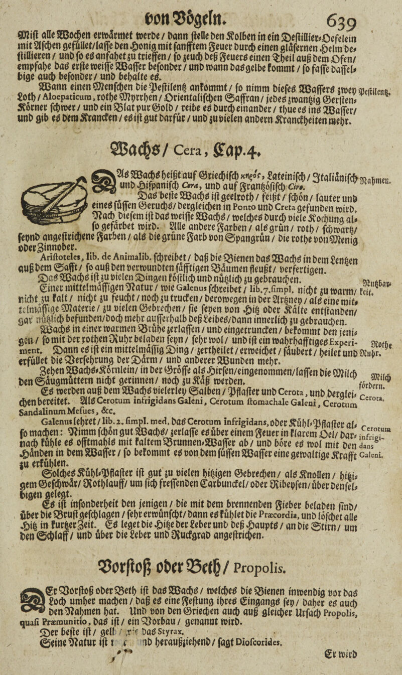 SJlifl aneSBodjen erwärmet werbe/ bann geliehen S?oI6en in ein ©egifliet*Oefelein mit 2lfchen gefüilet/laffe ben .gionig mit fanfftem geuer Duc# einen gläfernen *eim De* (Mieten / unD fo em anfagef ju triefen / fo jeuch beg geuerm einen Sheilaug Dem Ofen/ empfabe Daö erjie weife Sffiafer befonber / unb wann Damgelbe fommt / fo faffe Daffel» bige auch befonber/ unb bebalte em. 2ßann einen SDlenfcben Die qSefilenij anfommt/ fo nimm biefeö SBafferm meoMiimd «Otb / Aloepaticum, rotbe ©Förthen / Orientalifcben ©afran / jebeö jwanfeig ©erlien* * Äorner fdbwer / unD ein 95(at put @oID / reibe es Durd; einanDer / tbue es ms aSJaffer/ tmb gib es Dem Ä'tancfen / em ift gut Dorfär / unD su Dielen anbern Ärancfbeiten mebr. - Cera, k2(ß SBacb« beigt auf ©riedbifcb x?*»Sateinifcf / 3t afiänif* ^(ismer unbMpnnifcb c«*, unb aufgranböfifcb cL. 1 7 Wmfu- ©am bette SBadjm if geelroth / fetgt / fegon / lauter unb eine« fuffen ©etuebö/ Dergleichen in Porno unD Greta gefunDen wirb 9?acb Diefem ift Daß weife SßacbS/ welchem Durd) Diele S'ocbuna al* fogefarbet wirb. 5IHe anberegarben/ almgrün/ rotb/ fenwarb/ fepnb angeftric&enegarben/aus Die grüne garbDon©pangrun/ Die rotbe DonStenia oberginnober. Ariftoteles, lib. de Animalib. fd)reibet/ Dag bie dienen DaSSBacbs in Dem Sengen etußbem ©afft / fo aug Den »evwunbten fäfftigen Sßäumen fleugt/ Derartigen. Sß$ SCacbD ijhu Dielen ©tagen täglich unD nüglich ju gebrauchen. wiieFeB ©net mittelmaffigen Sfatur / wie Galen.» febreibet / lib.7.fimPi. nicht su warm/ reit nicht su falt / nicht su feucht / nod) ju truefen/ berowegen in Der Sirenen / ate eine mit* ’ tdnißfige Materie/ ju Dielen ©ebreegen/ fte fegen Don £ig ober Äälfe entfanben/ gar «unlieb befunben/boeb mehr auferbalb Deg Seibem/Dann innerlich su gebrauchen SBacbm in einer warmen Q5rubeserlafen / unb eingetrunefen/ befommt ben ieni* ge«/ fomit bet rotbenürubr beloben fepn / fchrwol/ unbif ein wahrhaftigem Experi- ment, ©ann cS if ein mittelmäffig ©ing / sertheilet/ erweichet / füubert/ heilet unb Dtubr. erfüllet bieQSerfehrung Der ©arm / unb anberer2Bunben mehr. gehen SBach«»S5rnlein/ in Der ©rofe als^jirfen/eingenommen/lafien bie ©Weh ben ©üugmüttern nicht gerinnen / noch S« Äaß werben. «ri.„‘,<6 gm werben aug Dem SSBacbm Dielerlep ©alben / Reiftet unb Cerota, unb beralei. r Chen bereitet. 2llÖ Cerotum infrigidans Galeni, Cerotum ftomachale Galeni, Cerotum :I0U' Sandalinum Mefues, &c. Galen.» lehret / lib. 2. (Impl. med, bas Cerotum inftigidans,Ober£Übl<Bflafet Ol* fo machen: 3f}imm fchön gut 2ßacl;s7 jerlafe es über einem geuer in flarem Oei/ bar* kZ1“ nach fühle es offtrnablm mit Faltern SSrunnemSSßager ab / unb böte es wol mit ben <1*™ ’ •Stäuben in bemSSßaffet/fo befommt emDon Dem füfenSBaffer eine gewaltige «rafft Gaiem. ju erfühlen. ■ ©olchemÄuhblJJfiafer if gut $u Dielen bifjigen ©ebtedjen/ alsSnoffen/ hihi* gern ©efegwär/ IXothlauff/ um f ch frefenben ©arbuiicfel/ ober Oubepfen/über benfel* feigen gelegt. gm if infonberheit ben jemgen / bie mit bem brennenben Sieber beiaben fnb/ über bie ®tuf gefchlagen / fehr erwünfeht/ bann em fühlet bie Pracordia, unb Io fei; et alle 4)ih in Furgergeit. & leget bie -öiije Der Seher unb beg .pauptm / «n bie ©tirn / um ben Schlaff / unb über bieSeber unbüfuefgrab angef riehen. Storftoß Ot>Ct Q3rtfj / Propolis. .©cQ3or(loß ot>er^3etf> iß baöSQBacbtf/ n>e(c&eö bie dienen inwenbig m ba^ 1 üoeb umbec machen / baß e$ eineSeßung tbceö (gtngangö fep/ baber eö auch ben^ajjmen bat. Unb üon ben@rtecben auch auß ßieicbee Urfacb Propolis, quafi Praemuniuo, baö iß / ein^oibau/ genannt mirb. beße tß / geli / ;r^ ba^styrax. 0eine 9?atwn iß t t ab bwauftiebwb/ fa^t Diofcorides. 0 m & rnicb