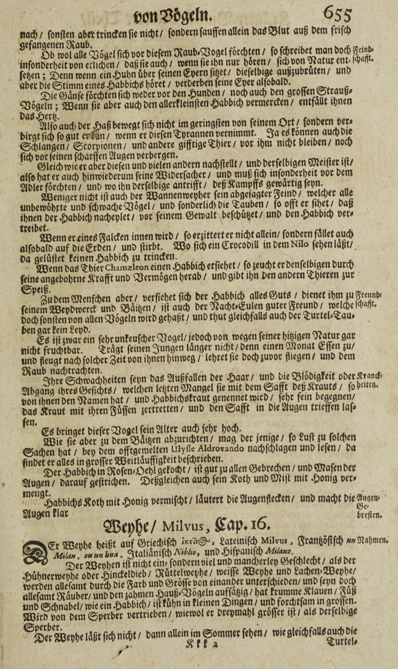 Oon^fögdti. 6SS nach/ fonffett aber trincfcn fie nicht/ fonbcrn fauffen allein baäQMut au§ Dem frifcb SefanOb mouiteWl fiebbot tiefem Dtaub.CSogel foccfjten / fo f*«ibct man boch Sein* infonber^eit»on edieren / Dafifieaud)/ w^nnfie^n,nw^unh '* fegen; Senn wenn ein £ubn über feinen (Jgern ftpet/ Dtefelbtge (uigjubcuten/ une «bet bie ©timm eines £abbicbS betet / berWrben ferne Sger atfobalD. Sie ©anfe fördjten ficb webet bot ben Junten / noch auch Den groffen©traug> <336geln; 'Ü3cnn fie aber auch Den alletf leinffen »fbabbid.) settnerefen / entfallt ihnen DäSiTfoauci,Der £ag bewegt (ich nicht imgeringftenbon feinem Oft / fonbetn »ew biegt ficb fo gut er ian / wenn et Diefen ^grannen berntmmt. ja es tonnen aurt)Die ©^langen/©corplonen/ unbanbere gifftigeSbiet/ bot i()m mebt bleiben/ noch *iass5Ä5-«*. .«(«pw* ölfö hat et auch binwieDerum feine ?SBiDetfacher / tinD mu§ ficb infonDerbeit oor Dem SJDler forebten / unD wo ihn Derfelbtse anttifft / Defi^ampiT^ öematttöfepn. ©eniger nicht ifiaueb Per 2$annenwepber feinabgefaßtetSemD/ weichet aue unbewöbrte unt> fcbwacbeO^ogel/ unD fonDerlid) Die rauben/ fo offtet fibet/ baß ihnen bet tjpabbicbnacbeplet/ tot feinem ©ewalt befcbu^et/ unD Den*£mt>bicb oec* SSBennerrtnetfgalcfen innen wirb/ foetjittettetnicbtaUein/fonbetnf^lIetaucb alfobalb auf Die geben / unb (liebt. 9®o ficb ein grocoDill mbemNib febentögtf ^ennbaö^ £abbid) etfiebet / fo jeuebt er benfelbigen Durch feine angebobme ^rafft unb Vermögen herab / tinD gibt ihn Den anbern ^bieten jur eP<3uDem®ienfcf)en aber/ betficbetficb betfiabbicb alles ©utS/ DienetibrnjuW feinem 5EBepDwercE unD S235i^en / ilt auch Der Sfad)t»(|ulen gut« SceunD / welche > ff* Cocb fonften bon aüen Regeln tbitD ge(?agt / unD tbut gleichfalls auch Der SurtebSau# tenfs iff «war ein feht unfeufdjecogel/ f'ebocb bon wegen feinet bifigen piatut gat nicht fruchtbar c-£tagt feinen jungen länget nicht /Denn einen OJlonat ISflen su/ unDflei^t nach folchet Seit bon ihnen hinweg / lebtet f.e bocbjuoor fliegen/ unb Dem 3iaUVhted©Äd)beiten fegn Das Slugfallen Det Jjaat/ unb DieS3(öbigfeit obetÄMmf« Slbgang tbtes@e|ichts/ welchen lebten Mangel fie mit Dem ©afft DegÄrautS/ fob£ll«iK Bon ihnen Den «Kamen bat / unD £abbicbsfraut genennet wttD / febr fein begegnen/ bas Äraut mit ihren Söffen jcrtretten/ unD Den ©afft in WeSlugen ttieffenlaf. ^ ßs bringet biefer^Sogel feinSllfet auch febt!)och. _ gj3ie fie aber su Dem SBäihenabsuticbten/ mag Derjenige/ fo Suff ju folcflen ©achen bat / bei) Dem offtgcmelten uiyfle Aldrovando nachfchlagen unb lefen/ D« ffnDeUr^a^smjiroffetSBettjäufJigteit^efchrt^n^ e ebye^en/unDffllafenbei: äugen / Darauf gefftichen, Sepgleicben auch fein Äoth unD ©ftff mit £omg bet# mC%abbicbS Jtotft mit £onig bermifcht / läutert hie Slugenflecfen / unb macht bie |w* äugen flat i »reu«. Milvus, sap.io» fftcmenhe heißt auf ©riedflfeh > Sateinif* Milvuj, Stanfcöftfch **3fa[;tnen. mhL Stal.änifd)NMc, unb^ifpailtfd)Milano - - rriec Sßenben ilf nid)t ein» fonbern bicl unD mancherlei) ©efcblechf / als Der Jiühnecwenhe obetJöincfelDieb/ Ofuttelweghe/ weiffe iSBegbe unD SacbemSSBepbe/ werben Ämt Dura» Die gatb unb ©röffe bon einanDer unterfchieben/ unD fegn Doch öüefamt Staubet/ unD Den jabmen ^augiQfogcln auffaljig/ bat frumme Älauen / 3US unb ©dmabel/wie ein fiabbid)/tflföbn in f leinen Singen / unD forebtfam in groffen. ^irf gon Dem ©perbfr bertrieben / wiewol er Dtegmabl gröffer iff / als Derfelbige ^SeraeeDb«lägtWnicht/ DannaUeinim©ommer[eben/ wiegleichfoBSmi*bie