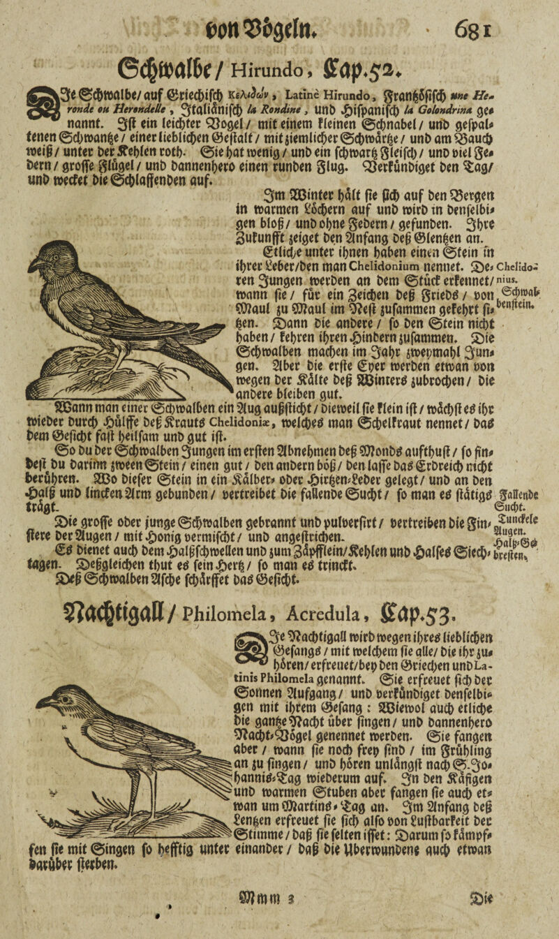 / Hirundo, 3e©tbWalbe/auf ©eiCCbigb K*Aiäuv , Latine Hirundo, 5rött^5fifd^ Hem ronde oh HerondeUe , U Rondine , UnD *g)tfpatlifct> U Golondnm Qto nannt 3(1 ein teiltet Vogel/ mit einem f (einen ©cbnabel/ unb gefpat tenen ©cbwanfce / einer lieblichen ©eftalt / mitjiemlicber©cbwärhe/ unbam Vaucö weig/ unten bertfcblenrotb- ©ie bat wenig / unbein fcbwarfcgleifcb/ unböielg^ Dem / groffe glügel/ unb bannenhero einen runben glug. VerfünDiget ben $ag/ «nb wertet bie@cblaffenben auf. 3tn Qößtnter hält fte pd) auf ben bergen in warmen l'ocbern auf unb wirb in benfelbi* gen bloß/ unb ohne gebern / gefunben. 3br$ Sutunfft geiget ben Anfang beg ©lenken an. ©tliche unter ihnen haben einen ©fein ftt ihrer ^eber/ben rnanCheiidonium nennet, &e» cheiido- ren Sunden werben an bem ©tücf erfennet/nius- wann ge/ für ein Sachen beg grtebtf/ uon ©jfwflb. ©?aul ju Slflaul im Neg jufamtnen gefebrt (iiwn«mn* hen. Sbann bie anbere / fo ben ©tein nicht haben / febren ihren .pinbern jufammen. $öie ©cbwalben machen im 3abr jwepmabl 3un# gen. 5lber bie erfte £per werben etwan ooti wegen ber £älfe beg Söinterö $ubrocben/ bie _ anbere bleiben gut. £Bann man einer ©cbwalben ein 51 ug augfticfjt / Dieweil ge flein ig / wäcbg e$ ihr wieber burch £>uljfe beg trautet cheiidoni«, welche^ man ©cbelfraut nennet / Datf bem ©egebt fag bsilfam unb gut ig. ©o bu ber ©cbwalben Sangen im ergen 5lbnebmen beg €0?onb^ attftbug / fo gm> beg#bu barimt jween©tein/ einen gut / benatibernbog/ ben läge bat* grbreich nicht berühren. 2Bo biefer ©tein in ein halber* ober ^tir^en^eber gelegt / unb an ben •&afg unb linrtenSlcm gebunben/ pertreibet Die faflenbe©ucht/ fo man e$ gätiatf gaffend trägt. ‘ ©ucht. S>ie große ober funge ©cbwalben gebrannt unbpuloerßrt/ t>ertreibenbiegin^fumlefc gere betrugen/ mit^onigoermifcht/ unb angegricben. ©(J bienet auch bem £a!gfcbmeHen unb jum Säpfflein/^ehlen unb .palfeä ©iech> hrciUn, tagen. SDeggieicben thut eö fein .perl / fo man eo trinrtt 5ö*g ©cbwalben Slfcbe fchärffet baö©egcbt. 5?acjtigaß/ Philomela, Acredula, £ap.S3- 3e Nachtigall wirb wegen ihrer* lieblichen ©efangtf / mit welchem ge alle/ bie ihr $u# hären/erfreuet/bep ben ©riechen unDLa- tinis Philomela genannt ©ie erfreuet fich ber ©onnen 5lufgang/ unb oerfunbiget benfelbi* gen mit ihrem ©efang : SBiewol auch etliche Die gan|e Nacht über gttgen/ unD Dannenhero Nachtvogel genennet werben, ©ie fangen aber / wann fte noch frep gnb / im Schling an $u gngen/ unb hören unlangg nacb©.3o* hanniö^ag wieberum auf. 3n ben Käfigen unb warmen ©tuben aber fangen ge auch et# wan um CDiartim* * $ag an. 3w Anfang beg ™*Sen|en erfreuet ge geh alfo pon Sugbarfeit ber iüi^©ftmme/bag ge feiten iffet: S)arumfofämpf# fen ge mit ©ingen fo befftig unter einanber / Dag Die Uberwunbene auch etwan Darüber gerben. 0J?mm $ 0