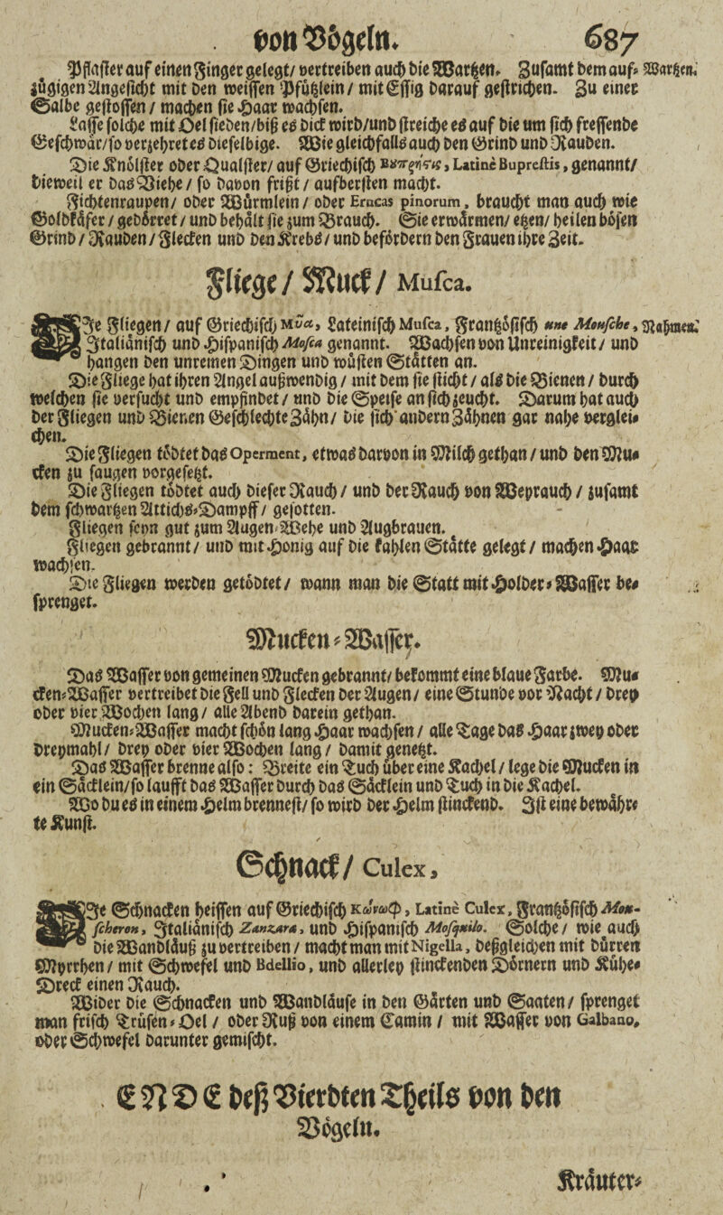 ^flafferaufeinen ginger gelegt/pertreiben auch bie SBarfcen* Sufamtbernauf* $ugigen2lngeftcht mit Den weifien ^ffi^cin/ mitgjftg Darauf geff riehen. Sa eines ©albe gefloffen / machen fie £aar wachfen. Sajfe folche mit öel fieben/big es bief roirb/unb flreiche es auf Die um (ich frefienbe ©efchmdr/fo m^xnue Diefelbige. SSÖte gleichfalls auch Den (Srinb unD Oiauben. ÜDie 5?n6ljler ober öualffer/ auf QH’iechifch »wrfiVtf, Utinc ßupreftis, genannt/ Dieweil ec DasQSiebe/ fo bapon frißt / aufberjlen macht. Sichtenraupen/ ober flßßürmlein/ ober Erucas pinorum, braucht man auch wie ©olbfdfer / gebBrret / unD behalt fie jum brauch- ©ie erwärmen/ e£en/ heilen bofen ©rinb / tauben / glecf en unD Den £rebS / unb befor Dem Den grauen ihre Seit. fliege / $>3Ruef / Mufca. !3e gliegen/ auf ©tiechifc&Mves, £ateimfcbMufca, grangofifdj un* Moufche«gjahöwiJ 3talianifch unD £ifpantfch Mofca genannt. Söachfen pon Unreinigfeit / unD hangen Den unreinen gingen unb muffen ©tätten an. S)ie gliege hat ihren Singel außwenDig / mit Dem fie flicht / als Die dienen / Durch welchen fie uecfucht unb emppnbet/ unb DieSpeife an (ichpeucht* Söarum hat auch bergliegen unb dienen ©efd&lechteSäh«/ bie jich anbernSahnen gar nahe uerglei# chen. Sbiegliegen tBbtetbaS Operment, etwaSbarponin Sttilchgethan/unb ben$fu# efen $u faugen porgefeht. £>ie gliegen tobtet auch Diefer Otauch / unb berOvauch pon SBeprauch / jufamt Dem fchmat^en Slttichs»£>ampff / gefotten. gliegen fcpn gut $um Slugen >2tfeche unb Slugbrauen. gl fegen gebrannt/ unb rait*&onig auf Die fahlen ©tätte gelegt / machen *£>aa£ »achf'en, ’ ' ■begingen werben getobtet/ mann man bie Statt mit $olber*S©afferbe# fprenget. ^liefen hälfet. SDaS Raffer Pon gemeinen SEftucfen gebrannt/befommt eine blaue garbe. 9)?u# cf emSBaffer pertreibet bie geü unb glecfen Der klugen / eine ©tunöe por SRacht / Dreh ober Pier Jochen lang / aüeSlbenb barein gethan. 507ucfen?3Baffer macht fchon lang #aar wachfen / alle $age Das £aar$wep obec Drepmahl/ Drep ober PterSBochen lang / Damit genest. <öas SQBajfer brenne alfo: freite ein 3;ucb über eine ftac&el / lege Die ©Jucfen in ein ©aef lein/fo lauft Das SBafifer Durch Das ©äcflein unb $ud) in bie Kachel. 2Dü Du es in einem £elm brennefl/ fo wirb Der £elm flincfenb. 3 jl eine bewahr* U £unft. . j / ^ • 6ch«acf / Culex, 53 e ©ehnaefen heiffen auf ©riechifch k cSmcp, Latine Culex, gran^oftfeh^*- 1 fcheron, Qtalidnifch z^nzars, unD «öifpanifch Mofa*il°' ©olche/ tpie#aucf> DieSSBanDldug ju pertreiben / macht man mit Nigeiu, Dergleichen mit Durren S^prrhen/ mit ©chmefel unD Bdeilio, unD allerlep jünefenben ^)Brnern unD ^ühe* £)recf einen Stauch* SSBiDer Die ©ehnaefen unb SBanbläufe in Den ©ärten unb ©aaten/ fprenget um frifch prüfen*öel / oDerOlur pon einem Camin / mit SBaffer pon Gaibaao, ober Schwefel Darunter gemifcht. . bcf?^tetbtmX§uls flott bat SSöselit. * Äraute^