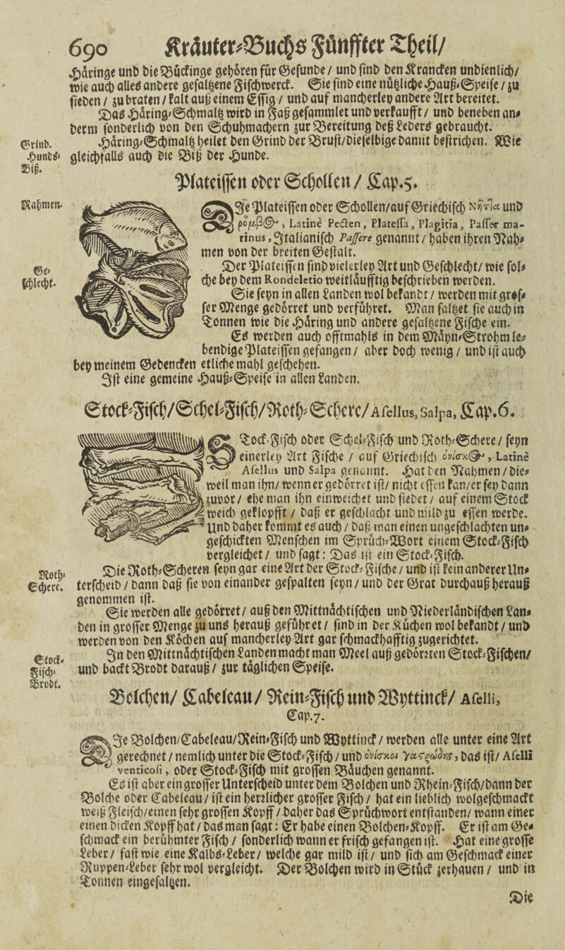 SKaf;mm. ww- 690 Kr4uter*Q3uch$ pnffter Xheil/ ^dringe unb bie23utfinge gehören für ©efunbe/ unbfinb ben branden unbienlicb/ wie auch alles anbere gefallene gifchwertf. 0te ftnb eine nüfcltche $aug»0peife / ju fieDcn / su braten / falt aug einem gßig / unb auf mancherlei anbere 2irt bereitet. S)aS£dring'0chmalßwirbingaggefammletunbverFaußt/ unb benebenan# berm fonberlicb non ben 0chuhmachern jurBreitung beg Sehers gebraucht. 4)dringf0cbwu^ heilet ben ©rinb bec Q3ruß/bie|elbige bamit beziehen. SDBtc gleichfalls auch bic SSiß ber £unbe. ’ ‘jPfatcijfeit ofer ©rtjcKeu / Sap.5. ^e^lateißcn ober 0d)oUen/auf ©riechifd) NM<* unb po^ß^ > Latine Pe&en, Platefla, Plagitia, Paffsc roa- rinus,3raliönifd) Paffere genannt/ haben ihren $?ah* men von ber breiten ©eßalr. Sber ^latetflfi n ftnb biekrlei) 5lrt unb ©efchled)f/wie fol^ che bei bem Rondeietio wettldufftig befchrieben werben. 0ie fepn in allen Sanbctt wol befanbt / werben mir gr*j> fer Qttenge gehortet unb verführet» $ßan fallet fie auch in Tonnen wie bie ßpdring unb anbere gefallene gifche ein. €S werben auch oßtmahlS in bem$ftdpm0trobmlc* benbige-JMateißengefangen/ aber hoch wenig / unb iß auch beb meinem ©ebenefen etliche mahl gefchchen. 3ß eine gemeine #au§*@peife in allen Sanbcn. ^tOCf#f(CV©Cf)e(^tfcCl/^Ot(>0Cf)Cl'C/Arelliis, Salpa, &ap.6. ^ocf.gifch ober 0d}el*gifd> tinbOcöth*0d)ete/ fepn einerlei 21rt gifd^e / auf ©rieebifd) Latine Afdlus unb Salpa genannt. «£>atben Nahmen / Dte^ weil man ihn/ wenn er gehortet ifl/ nicht cflfcn fan/cr fep bann suvor/ ehe man ihn ein weidet unbftebet/ auf einem @foc£ weid) geflopfft / bag er gcfchlacht unbmilbsu eßen werbe. Unb baher fommt es auch / Daß. man einen ungefchlachten un* gefehlten 9J»enfcben im 0prüd)^ort einem 0totf*gifc& vergleichet/ unbfagt: $)as iß ein@tocf*gifch. £5te Dvötb*0d)eren fepngar eineSirt ber 0rocf*giide/ unb iß feinanbererUn* terfd^ciD / bann Dag fie von einanber gefpalten fepn / unb Der ©rat burchaug herauf? genommen iß. <gie werben alle geborret/ aug ben ^itfnachtifchen unb ^iebcrldnbifchen San* ben in großer CEßengeju uns heraug geführet/ finbin ber 5iüd>en wol befanbt /unl> werben von ben Wochen auf mand)erlep5lrt gar frhmacfhajftig jugerichtet. 3n ben $)ittndchtifchen Sanben macht man SWeel auß gehonten ©toctgifeften/ unb baeft^robt baraug/ sut tdglic&en 0peife. S5c(c0ett/ gafeefeau/ ^cüt^ifcO ttttt' 2ßi)ttütcf/ Afeiii, €ap.7. Q3olchen/©abeicau/Dveimgtfd) unb äBpttintf/ werben alle unter eineSlrt gerechnet / nemlich unter bte 0tocf*gtfch/ unb owV*öi As*, baS iß/ Afeiii ^ venticofi, ober ©toctgifcb mit großen Bäuchen genannt. ©s ifr aber ein großer Untecfcbeib unter bem Q3 olcf>cn unb Dcheimgtfdybann ber Solche ober Cabeleau/ tß ein herzlicher großer gifd)/ hut ein lieblich wolgefchmacft weig g(eifch/emen fehr großen ftopß / Daher bas ©prüdiwort entfranOen/ wann einer ettien Dicfen $opß hat / Das man fagt: ©r habe einen Q5olchem$opß. @r iß am ©e< fd)matfein berühmter gifch/ fonberltch wann er frifch gefangen iß. ,&at eine große Seber/ faß wie eine$albs*Sebec/ welche gar milb iß/ unb ßch am ©efehmaef einer DiuppemSebei fehr wol vergleicht 5Der Solchen wirb in 0tücf serhfluen / unb in Tonnen eingefallen. Stotp* Schere. etocF* Sbreirt.