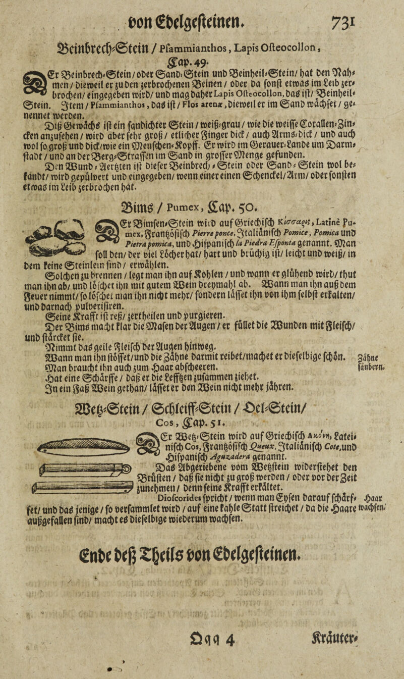 25ctn^tc^@tctn / Pfammianchos, Lapis Ofteocollon, £<U>* 49- k£r^einbrech'©tein/oDer©anD<©tein unb$8einbcil*©tein/bat Den Stab* men / Dicroet! ec $u Den ^erbrochenen Q5einen / ODer Da fonft etwas im £etb jec* brachen/ eingegeben voirD/ unb mag Daher Lapis Ofteocollon, Das ijl/ Reinheit* ©tein. ^tern / Pfammianthos, Das ifl / Flos aren*, Dieweil ec im ©anD wachfet / ge* nennet weroen. £>ig ©ewäcbs ifl ein fanbiebter ©tein / wei§*grau / wie Die weifte CorallemSim cfenan$ufeben/wirb aberfebc groß / etlicberginger Dicf/ aucb2lrmfrbicf / unb auch n>ol fogrog unb Ditf/wie ein Sftenfshemtfopff. (Sr wirb im ©ecauec^anDe um £arm* ftaDt / unD an Der £$erg*©traftm tm ©anb in grofter Sftenge gefunDen. &cn2Bunb* Siebten ift Diefer^einbrecb*©tein ober ©anb* ©fein wol be* fanDf/ wirb gepulvert unD eingegeben/ wenn einec einen ©cbencfel/2lrm/ oDec fontfen etwas im £eib verbrochen bat.v 25tm$/ Pumex, £ap.50. - v k<£r25imfen#©tein trtrD auf@5riecbifcb KjWa^Latine pu* 1 mex,gran^6fifd) Pierre po»ce,^tülidnifd) Pomice, Pomica UttÖ Pietra pomica, unD £ifpant|'cl) genannt. $?an foll Den/ Der Diel P6d>cr bat/ hart unD brüchig ift/ leicht unD weig/ in Dem feine ©teinlemfinD/erwählen. ©olcben ju brennen / legt man ibn auf Noblen / unD wann er glubenb wirb/ fbut manibnab/unDloicbetibn mit gutem SßeinDcepmabl ab. Sßannmanibnaugbem geuer nimmt/ fo lofcber man ibn mcDt mehr/ fonDern läftet ibn oon ibm felbft erfalten/ unD Darnach pulnerifum ©eine Ä'raftt ijl reg/ verteilen unD purgieren. &er ^ims macht f lar Die 9Jiafen &« Siu^en / er fußet Die SOunben mit gleifcb/ unD ftärefet jte. stimmt Das geile gleifch betrugen hinweg. SBann man ibn ftoflfet/unD Die 3äbne Darmit reibet/macbet er biefelbigc fcb$n. sdbne srßan braucht ibn auch jum #aar abfebeeten. £at eine ©ebdrfte / Dag er Die Seffßen jufammen siebet 3n ein gag Söein getban/ (Affet er Den 2Bein nicht mehr jabfen. fäu&ertw 2Be$*@tein / ©ci(c#@tcin / Cos,$ap. 51. (£r 2Be^©tein wirD auf ©riec&ifdj a*oVk, nifch Cos, granfcöfifcb Q*eux, ^talidnifch Cto,unD «Öifpanifcb dgazadera genannt. S)aö Slbgeriebene pom SöBe^fiein wiDerjlebet Den prüften / Dag fte nicht su grog werben / oDer bor Der 3 eit junebmen / Denn feine 5?rafft erfdltet Diofeoridesfpricht/wennman0;fen Darauffchdrf* £aat fet/ unD bas fettige / fo perfammlet wirD / auf eine fable ©tatt ^reichet / Da Die £aare wac&fm; auggefaßen finD/ macht eö Diefelbtge wieDerum wachfen. (Snbe Deß tf^ilö Don (EMgeftcinm. / ödd 4 trauter*