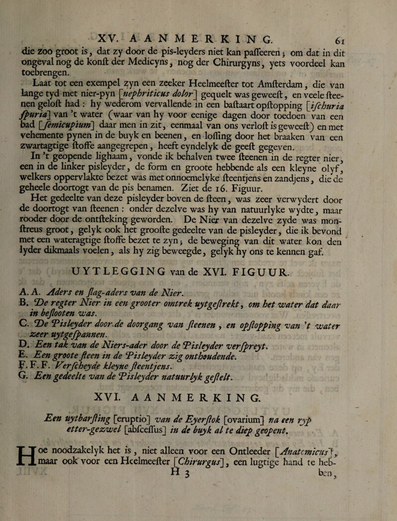 die zoo groot is, dat zy door de pis-leyders niet kan pafleeren j om dat in dit ongeval nog de konft der Medicyns, nog der Chirurgyns, yets voordeel kan toebrengen. Laat tot een exempel zyn een zeeker Heelmeefter tot Amfterdam, die van lange tyd met nier-pyn nefthriticus do lor] gequelt was geweeft, en veele ftee- nen geloft had : hy wederom vervallende in een baftaart opftopping [ifchuria ffturia] van ’t water (waar van hy voor eenige dagen door toedoen van een bad Qfèmicuftïuni] daar men in zit, eenmaal van ons verloft is geweeft) en met vehemente pynen in de buyk en beenen, en lofling door het braaken van een zwartagtige ftofFe aangegrepen, heeft eyndelyk de geeft gegeven. In ’t geopende lighaam, vonde ik behalven twee fteenen in de regter nier, een in de linker pisleyder, de form en groote hebbende als een kleyne olyf ] welkers oppervlakte bezet was met onnoemelyke fteentjens enzandjens, die de geheele doortogt van de pis benamen. Ziet de 16. Figuur. Het gedeelte van deze pisleyder boven de fteen, was zeer verwydert door de doortogt van fteenen : onder dezelve was hy van natuurlyke wydte, maar rooder door de ontfteking geworden. De Nier van dezelve zyde was mon- ftreus groot, gelyk ook het groofte gedeelte van de pisleyder, die ik bevond met een wateragtige ftofFe bezet te zyn , de beweging van dit water kon den ' lyder dikmaals voelen, als hy zig beweegde, gelyk hy ons te kennen gaf. U YTLEGGING van de XVI. FIGUUR. A. A. Aders en Jlag-aders van de Nier. B. T>e regter Nier in een grooter omtrek uytgeftrekt, om het water dat daar in bejlooten was. C. De Eisleyder door.de doorgang van jieenen , en oftjloftfting van V water zeer uytgefftannen. D. Een tak van de Niers-ader door de Eisleyder verfftreyt, E. Een groote fteen in de Eisleyder zig onthoudende. V* F. F. Vtrfcheyde kleyne fteentjens. G. Een gedeelte van de Eisleyder natuurlyk geftelt, XVI. AANMERKING. Een uytbarfling [eruptio] van de Eyerftok [ovarium] na een ryf etter-gezwel [abfceftlis] in de buyk al te dieft geoftent.