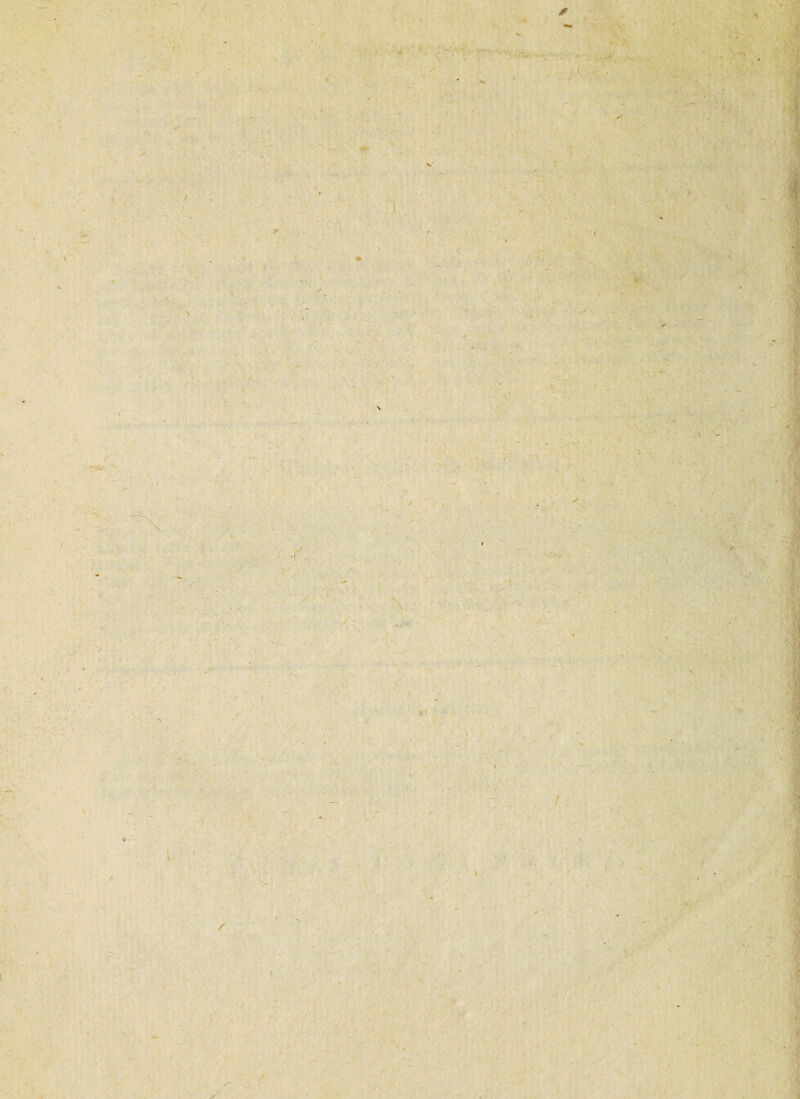 ! 1 <r \ \ \ i 'i ' v - ' ! f y / -1 . 1 > ^ - \ ■i\ 1 ; (j' N- * 'v't N #