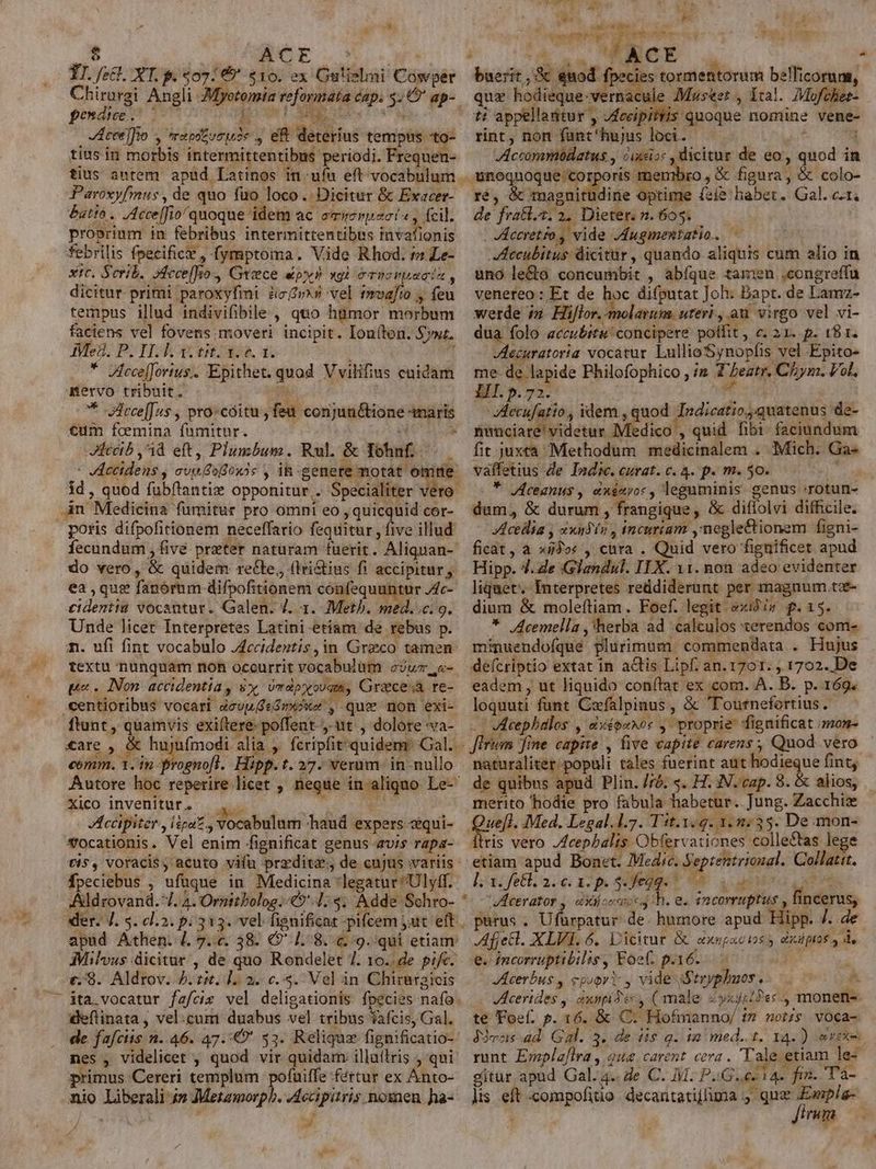 Lr uM 3 TY Z ^ t T | il ali ii rs e . Cue P Etc cc : $ ACE : ; . E x ici E ACE : TI. fei. XT. p. 407: € $10. ex Gulielmi Coswper buerit, &amp; euod fpecies tormentorum bellicoruat, Chirurgi Angli Myotomia reformata éap. 5: ap- qux hodieque-vernacule Musee , Ital. Mofehet- pendwme. 007 ion! M DECUATN . ti appellantur y Jfceipittis quoque nomine vene- '04:3« , eft deterius tempus to- rint, non fant'hujus loci. tius in morbis intermittentibus periodi. Frequen- ^ Jccommodatus , àixei: , dicitur de eo, quod in tius antem apud Latinos im. ufu eft vocabulum .. unoquoque corporis mmembro , &amp; figura, &amp; colo- Paroxyfmus , de quo fuo loco. Dicitur &amp; Exacer- ré &amp; magnitudine optime (zíe babet. Gal. c1; butto . ,Acce[Jio/quoque idem ac omuonpscis, fcil. de frati. 2; Dieter. n. 6053. proprium in febribus intermittentibus invafionis — | Jdecretio vide Jdugmentatio. - ; febrilis fpecifice , fymptoma. Vide Rhod.me- ^ 4ecubitus dicitur, quando aliquis cum alio in xtc. Serb. ofcce[ho., Grece py? xdi éTisrpacin, wunole&amp;o concumbit , abfque tamen .congreffu dicitur primi paroxyfimi àegrs vel Proafio , feu venereo: Et de hoc difputat Joh: Bapt. de Lamz- tempus illud indivifibile , quo htimor morbum . werde i5 Hijlor. molatum. uteri , am virgo vel vi- faciens vel fovens.moveri incipit. Ioníton. Syuz, — dua folo accubitu' concipere poffit , c. 21. p. 18 1. Aes. P. I.E verto a | Aecuratoria vocatur. LullioSynopfis vel Épito- * Afcce]Jorius.. Epithet. quad. Vvilifius enidam — me de lapide Philofophico , iz Thentr, Cyn. Vol. JAceelfo V tretpotu mervo tribuit. * JIcceffus , pro-cóitu y €um foemina fumitur. JHceib id eft, Plumbum. Rul. &amp; Iohnf. : Vdccidens , ev Gofoxss , i&amp;-genere motat omine. id , quod fubftantiz opponitur. Specialiter vero. .àn Medicina fumitur pro omni eo , quicquid cor- poris difpofirionem neceffario fequitur , five illud fecundum , five preter naturam fuerit. Aliquan- do vero, &amp; quidem re&amp;le,, flri&amp;tius fi accipitur y ea ,que fanorum difpofitionem confequantur Ac- cidentia vocantur. Galen. 4. 3. Meth. med. .c. 9. Unde licet Interpretes Latini etiam de rebus p. feu conjun&amp;ione maris ^ III.5.72. WE | JAeecufatio , idem , quod Indicatio. quatenus de- nunciare' videtur Medico , quid fibi. faciundum fit juxrà -Methodum medicinalem . Mich. Ga« vaffetius de Indie. curat. c. 4. p. m. 50. pn * Janus , exéxyoc , legnminis genus :rotun- dum, &amp; durum , frangique, &amp; diffolvi difficile. cellia , xxndin, tncuriam ,negle&amp;tionem figni- ficat, a »5Jo« , cura . Quid vero fignificet apud Hipp. 4.e Glandul. ITX. 11. non adeo evidenter liquet. Interpretes reddiderunt per magnum tze- dium &amp; moleítiam. Foef. legit &amp;xiis fp. 15. * JAcemella , herba ad «calculos terendos com- m. ufi fint vocabulo J4ccidentis,in Greco tamen. mimuendofque plurimum commendata . Hujus textu nunquam noh oceurrit vocabulum éwr,«- deícriptio extat in actis Lipf. an. 1701. ; 1702..De pe. Non accidentia, x Ur dlp x oUqpR, Grace;à re- eadem , ut liquido con(tat ex com. A. B. p. 169. .centioribus vocari 2evueGmuexe , que non exi- loquuti funt Czfalpinus , &amp; 'Tournefortius . ftant, quamvis exiftere-poffent , ut , dolore va- Acephalos , déozxos , proprie fignificat mon- €are , &amp; hujufmodi alia , fcripfit quidem Gal. - iri fine capite , five capite carens ; Quod vero eomm. 1. in b^ SANI Hipp. t.27. verum in-nullo naturaliter; populi tales fuerint aut hodieque fint, Autore hoc reperire licet , negue in aliquo Le-' de quibus apud Plin. /ro. 5. H. IN. cap. 8. &amp; alios, Xico invenitur, —,. . otn merito hodie pro fabula habetur. Jung. Zacchiz JAccipiter , ipa. vocabulum haud expers-cqui- quel. Med. Legal. 1.7. T'it.1.4. 1. 2:35. De mon- wocationis. Vel enim fignificat genus avis rapa- llris vero Jdcephalis Obfervationes collectas lege ti5, voracis, acuto vifu przditz; de cujus variis; etiam apud Bonet. Medic. Yepientrional. Collatit. fpeciebus , ufüque in Medicina legatur Ulyff. — 4. x. fe&amp;l. 2. c. 1. p. 3. egg. WE c ae ito Cam Aldrovand. I. 4. Ornitbolog;-09'4:4; Adde Schro- */—;dcerator j axo h. e. incorruptus , fincerus, der. 4. 5. cl.2. p: 313. vel fignificat -pifcem ut eft, purus . Ufürpatur de. humore apud Hipp. 7. de apud Athen. 4. 7.«. 38. 91.8. 6.9. qui etiam ,Afjecl. XLVI. 6. Dicitur S enoipactos y ciiptos y A dMilvus dicitur , de quo Rondelet 7. 10..de pif. e. incorruptibilis, Foet. p.16. c. 8. Aldrov. 5. t. 12 2. c... Vel in Chirargieis |—— JAeerbus , cpoori- , vide jStryphuos. ^ áta.vocatur fafcig vel deligationis fpecies nafo. — Jeerides, éxspie-, (male «yxj;/3««., monen- :eflinata, vel.cum duabus vel tribus Yafcis,Gal. te Foe. p. 16. &amp; C. Hofmanno/ tn notzs. voca- de fafciis n..46. 47. €? 53. Reliquz fignificatio- J9vos ad. Gal. 3. de tis q. im med. 1. 14.) avexe nes , videlicet , quod vir quidam illaílris , qui^ runt Emplzflra , que carent cera . Tale etiam le- primus Cereri templum pofaiffe fértur ex Anto- — gitur apud Gal. 4. Ze C. M. PG. ec i4. fin. Ta- nio Liberali 4» Metamorph. JAccipitris nomen ha-. ls eft compofitio decantatiffima ,. quz (coe