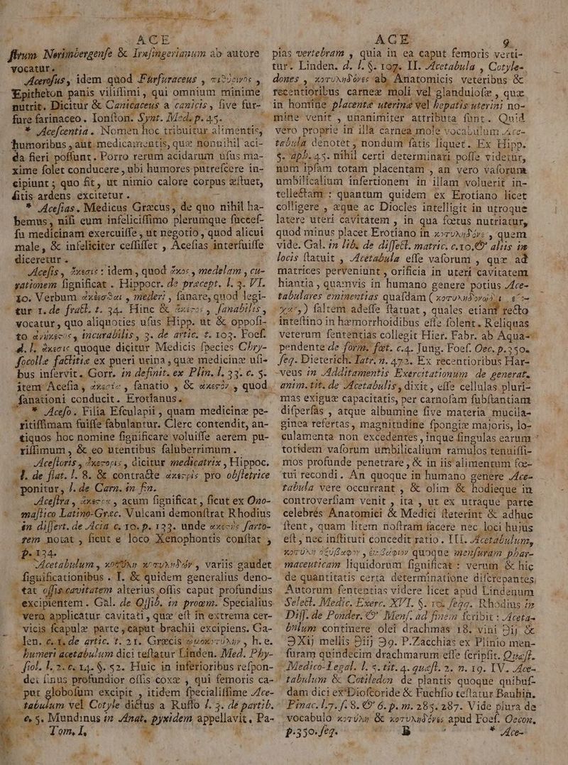 OAM MA T a i | AXE flum. Noriméengenfe &amp; Irfingerianum ab autore VOCcatül. Cnt aia n Aeerofus ,, idem. quod js Vrfuraceus Ti3UelÓs a Epitheton panis viliffimi, qui omnium minime fure farinaceo. Ionfton. $yat. Med. p. 45. humoribus , aut. medicamentis, qui nonn ihil aci- a fieri poffant. Porro reram acidarum ufus ma- xime folet conducere , ubi humores putreícere in- cipiunt ; quo fit, ut nimio calore corpus zftuet, éautandeps dini. 3 rbi e i. * Acefias. Medicus Grzcus, de quo nihil ha- bemus; nifi eum infeliciffimo plerumque füccef- fa medicinam exercuiffe , ut negotio » quod alicui male, &amp; infeliciter ceffiffet , Acefias interfuiffe diceretur . | VAcefis , Zxsmi* : idem , quod Zxos , medelam , cu- gationem fignificat . Hippocr. de precept. 1. 3. VI. 1o. Verbum xài , meder: , anare, quod legi- tur nde fraGl. 1.34. Hinc &amp; decor 4. fanabilis , vocatur, quo aliquoties ufüs Hipp. ut &amp; oppofi- to dvuxecoc , Incurabilis , 3. de artic, 4. 103. Foef. 4l. 1. dxscic quoque dicitur Medicis fpecies C5ry- focolle fatlitie ex pueri urina , que medicinz ufi- bus infervit. Gorr. 1» definit. ex Plin. 1l. 33. c. 5. fanationi conducit. Erotíanus. b. -.* Jcefo. Filia Efculapii , quam medicinz pe- ritiffimam fuiffe fabulantur. Clerc contendit, an- tiquos hoc nomine fignificare voluiffe aerem pu- riffimum, &amp; eo utentibus faluberrimum. . . VAceftoris , Znecopis , dicitur medicatrix , Hippoc. 4. de flat. 1. 8. &amp; contra&amp;e zxscpis pro. obftetrice ponitur, J; de Carn. ud x, —— eeflra , 4xsccs , acum fignificat , ficut ex Ozo- majtico Latino-Grac. Vulcani demonftrat Rhodius 4n differt. de cia. c. 30. p. 133. unde oxc-i« farto- fem noiat , ficut e loco Xenophontis conftat  figuificationibus . I. &amp; quidem generalius deno- tat offis-cavitatem alterius offis caput profundius . excipientem . Gal. de Ojfib. t2 promm. Specialius vero : plicatur cavitati, quz 'eft in extrema cer- Mis parte ,capat brachii excipiens. Ga- en. 4 I.de artic. t. 21. Grsecis euo TUN , h.e. Qo acetabulum dici teftatur Linden. Med. PAy- ... put globofüm excipit , itidem fpecialiffime /ce- ta&amp;uium vel Cotyle di&amp;tus a. Ruffo /. 5. dé partib. 4. € 5. Mundinus in. /£nat, pyxidem, appellavit, Pa- E S Tol, * M AGE 9 pias vertebram , quia in ea caput femoris verti- tur. Linden. Z. /. $. 10g. IT. J4cetabula , Cotyle- domes , xoruNugd eres ab, Amatomicis veteribus &amp; recentioribus carnex moli vel glandulo(e , quz mine venit , unanimiter attributa fünt. Quid vero proprie im illà carnea mole vocabulum JAcc- tzóula denotet , nondum fatis liquet. Ex Hipp. $. 4p5. 45. nihil certi determinari poffe videtür, num ipfam totam placentam , an vero vaforum umbilicalium infertionem in illam voluerit in- telle&amp;tam : quantum quidem ex Erotíano licet colligere , «que ac Diocles intelligit in utroque latere uteri cavitatem , in qua foetus nutriatur, quod minus placet Erotiano in jozux4d ire, quem vide. Gal. in Ji&amp;. de di[JeEl. matric. c. xo. aliis im. locis ftatuit , JAcetabula effe vaforum , quz. ad matrices perveniunt, oríficia in uteri cavitatemt hiantia, quamvis in humano genere potius J4ce- tabulares eminentias quafdam ( xoruud'orad | 6/2 : Mectq inteftino in hmorrhoidibus effe folent. Reliquas pendente de form. ftt. c.4. Jung. Foef. Oec. p.350. fe. Dieterich. Igtr. ». 472. Ex recentioribus Har- anim. tit. de JAcetabulis , dixit , effe cellulas pluri- mas exigug capacitatis, per carnofam fubítantiam Gifperfas , atque albumine five materia mucila- ginea refertas, magnitudine fpongiz majoris, lo- culamenta non excedentes , inque fingulas earum totidem vaforum umbilicalium ramulos tenuiffi- mos profunde penetrare , &amp; in iis alimentum foc- tui recondi. An quoque in humano genere J4ce- tabula vere occurrant , &amp; olim &amp; hodieque in controverfiam venit , ita , ut ex utraque parte celebrés Anatomici &amp; Medici tteterint &amp; adhuc ftent , quam litem noftram facere nec loci hujus eft , nec inflituti concedit ratio . ITI. Acetatulum, xoTUX0 a£UfEoov , a daoov quoque menfuram pbar- maceuticzm liquidorum fignificat : verum &amp; hic de quantitatis certà determinatione difcrepantes. Autorum fententias videre licet apud Lindenum Selett. Medic. Exerc. XVI. $. 16. fegg. Rhodius £z Diff. de Ponder. €9'' Menf. ad fizein fcribit : /ceta- 6lum continere olei drachmas 18. vini Dij &amp; 3Xuj mellis 2iij 29. P.Zacchias ex Plinio men- füram quindecim drachmarum effe (cripfit. Qna[f. tabulum &amp; Cotiledo; de plantis quoque quibuf- dam dici ex'Dioftoride &amp; Fuchfio teflatur Bauhin. p.330. Je2. xoi / * Jce- A