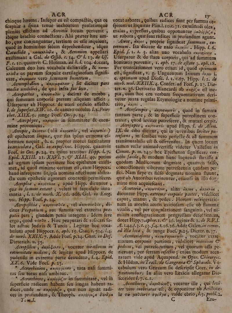 ^ SACR ehioque hierens . Infüper eá e(t compa&amp;tio, qua os fcapaim.a fpina tenue imchoatum paulatimque plenius 'effiétum. ad .Acromii locum pervenit , ique brachio conne&amp;titur. Alii preter hec am- bo,qux conjunguntur , tertium os e(fe inquiünt, quod in hominibus folum deprehenditur , idque Cataclida , wnauxku)w , B J4cromton. appellari exiftimant a Gal. de OfJió. c. 14. € I. 13. de UJ. P. c. 10. quamvis C. Hofman. ad ^. /. 104. doceat, Galenum duo hec vocabula diítinxiffe , &amp;&amp; xaa- xxüJ«-os parvum fcapulz cartilaginofum fignifi- «are, dxpapu0v vero fummum bumerum . . Acremphbdlion , dxpoupénioy. , fi&amp; dicitur pars media ümbilici de quo infra fuo doro. ^ — Acropáthos , dxpóra3os , dicitur de morbo , qui fummam corporis partem aliquam afficit . Ufurpatur ab Hippoor. de uteri orificio affe&amp;to. l. de fuperfoct. XIV. 10. de.caricro: occulto l.z.Pror- rhet. XILX. 9. junge Foef.Oecp.24- ' | * Jecropbyes, «xpoguis 1a iümmitate &amp; cacu- mine proveniens. | | » Vderopis , &amp;xovrie (alii. Zapowris , vel uxporic. ) elt epitheton 7impie, qua fua ipfius extrema ef- formare nequit ^h. e. propter motus facultatem iuarticulata y Gal. insexpo/. voc. Hiippoc. quaravis Foef. i» Oec. p. 24. ex ipfius textibus Hipp. 4. 7. Epid. XXIII. 21. XXVI. 7. €* XLII. 49. potius ad zgrum ipfum pertinere hoc epitheton exifti- met, id quod minime certum eít cum Hippocr. haud infrequens fit,jipfa nomina afte£tuum abftra- &amp;a cum epithetis xgrorum concretis permifcere. JAcroploa , dxpérNos y apud Hipp. dicuntur , qua in fummo extant. , veluti in. fuperficie inna- centia, J, 1. de orb. X. 66. add, Gal. i2. Exeg. voc, Hipp. Foe. p.24 - Boro Acropoflbia , «xponcoSía ,' vel dxoorooSíy , di- citur Praputium , aut fumma vel extrema pr.c- putii pars , glandem penis integens. Idem fere ergo , quod sósz3s . Hzc pra putari &amp; refecari fo- let adhuc Judzis &amp; Turcis . Legitur hoc voca- bulum apud Hippocr. 6. ap^. 19. Cras $04. 7.4. de morb. X XIX. 7. Adde Foef. p.24. Gorr. i2 Def. Dieterichi5/84, 1» Mp uoorrem sci m Acropfilon , dxpi-|ixov , vocatur membrum im extremitate nudum , &amp; legitur apud: Hippocr. de pudendo in extrema parte denudato , /. 4. Epid. XA 68Vide Paofi day. ^c sus atu *- JALcrorrbinion , expoppiriov , tota nafi tas feu totus naf! ambitus. MS! ^* Verorrbizos y dxpippior in famritate , vel in fuperficie radicem habens feu longas habens ra- dices, unde a£ &amp;xpéppie , quz mon agunt radi- ces in profundum , &amp; Theoph. «xcóppigu d'éró'ga Tom. E i fummi- anc ): : ACR BU... votatarbores , quibus radices funt per fumma ce- fpitum ut loquitur Plin.l. 10.c.5 r. cujufmodi olea , malus , cypreffus , quibus opponuntur 5«34£ ica , ut robora , quz fuas radices im profundum agunt. J4eros , àxpos , proprie fignificat /nummum , ex- tremum . Ita dicitur de naío Zxir/is .. Hipp. 4. 6. Epid. [- 1. t. 3. alias umo vocabulo exeoeirir Ufürpatur &amp; de ftatu corporis , qui 'ad fummum bonitatis pervenit , r. eph. 17. de zflate 3. apb.18. Per translationem vero étiam id, quod oprimun eft, fignificat , v. g. Unguentum Irinum zxpor i e. optimum apud Diofc. /. 1. c.67. Hipp. /.2. 4e morb. mul. XX ILX. 4. Confer..ad Foef. p. 22. Die- ter. s. 36. Derivatio Blancardi ab 4xejco eft ine- pta ,'cum hoc ceu verbum frequentativum deri- vetur juxta regulas Etymologiz a nomine primi-. t1VO, «xpos . ^ * Jherofampis , dxpocuumis , quod in fumnz tantum parte, &amp; in füperficie putredinem con- traxit , quod leviter putrefcere, &amp; mutari coepit. JAcrojapes , zxp»o«réc apud Hipp. 7. de loi. IX. de cibo dicitur, qui in juvenibus Jeviter pu- trefcens , 3n. fenibus vero perfecte &amp; ad fummum tranfmutabilis eft &amp; offerendus. [n quem locum tamen recte animadvertiffe videtur Vallefius 5 Comm. p. m. 243: hcc Epitheton fignificare «oz- eot&amp;u. facile ,&amp; modum hunc loquendi fluxiffe a quodam Medicorum dogmate , quamvis falfo, concoctionem ciborum patrefcentia quadam per- fici. Nam faepe ex falfo dogmate nomina fluunt, quz ab Autoribus retinentur , etiamfi in illo do mate non acquiefcant . JAcvoterta , axpocspie , alias dxpem , dxpuhém . dicuntur. Hipp. extrema corporis partes, videlicet caput, manus , Gt pedes. Horum refrigeratio- nem in morbis acutis exitiofam efle ob flammz vitalis , vel per coagulationem fanguinis , vel ni- miam conflagrationem przgreffam defectionem, docet Hipp.7.apPbor. 1. € 26. legitur &amp; 2. de R.V.I. IA. t.44./.3. 1.33. f.4. f. 16.26. Adde Galen.iz comm. ad illa loca , &amp; junge Foef. p.25. Dieter. n.57. -VAcroteriafmos , AX DT i pleto pae , vocatur extre- marum.éorpori$ partium , videlicet mángum 9 pedum , vel putrefcentium ,' vel quorum offa pe- rierunt , per ferram refettio ;; cujus modum accu- ratum vide apud Aquapend. /» Oper. Chitrurgic. &amp; Hildan. t»? Tratl. de Gangrena €9' Spbacelo. Vo- cabulum vero Grzcum fic defcripfit Gorr. ?» de- finittonibus. 1m aliis vero Lexicis allegatur Dio- fcorides 7. 7. c. 1. HESS POLNN Aerothorex , dxpoSupy£ vocatur ille , qui levi- ter vino inebriatus- eft ,'&amp; opponitur ab Ariftote- le v&amp; s9Vovat ood pa , valde ebrio jJ.3. prool.2, C Ero- e-