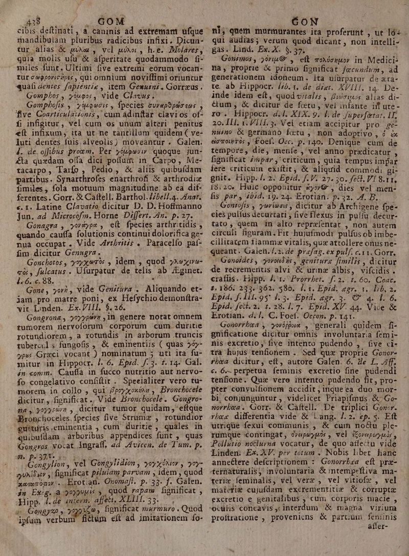 E MN ,. G0M NM cibis deftinati , a caninis ad extremam ufque mandibulam pluribus radicibus infixi. Dicun- tur alias &amp; gx , vel póxor , h.e. Molaves, quia molis ufu &amp; afperitate quodammodo fi- miles funt. Ultimi five extremi eorum vocan- turcegrporicipsis, qui omnium noviffimi oriuntur «quafi dentes fapzentie , item Gemurzi . Gorrzus. Gompbos , y9ugos, Vide Clavus. Gompfbtofis ,' y64owcis , fpecies aurep9pgo eos , five Coarticulaitonis ,' cum áadinftar clavios of- f; infigitur, vel cum os unum alteri penitus e(t infixum, ita ut ne tantillum quidem ( ve- luti dentes fuis alveolis; moveantur . Galen. 4. de.ojfibus promm. Per y64ousiw quoque jun- £ta quedam offa dici pofíutt in Carpo, Me- tacarpo, Tarfo , Pedio, &amp; aliis quibufdam partibus. Synarthrofes enarthrofi &amp; arthrodiz fimiles, fola motuum magnitudine. ab ea dit- ferentes. Gorr. &amp; Cattell. Barthol. 7/2e//.4. nar. €. 1. Latine C/avatz£o dicitur D. D. Hoffmanno jun. ad. Mrerocofim. Horne Differt. 4n-. p. 27. Gonagra , yoveyp , eit fpecies arthr:tidis , quando cauffa folutionis continui dolorifica ge- nua occupat. Vide J4rrbritis . Paracelío pat- fim dicitur Genwgra. — . | Goncbotos , yy Xx, eros idem. , quod Xe xy to- «és , fulcatus . Ufurpatur de telis ab JEginet. 1.6... 98. Seo Le les Gone, yor? , Vide Genitura . Aliquando et- jam,pro matre poni, ex Hefychio demonftra- vit L'nden. Ex.7VII, $.26. s Gongrona, yoyyp9*» jn. genere notat omnem tumorem nervoforum corporum cum. duritie rotundiorem , a rotundis in arborum truncis tubercul s fungofis , &amp; eminentis ( quas 527- pss Graci vocant ) nominatum 5 uti ita fu- mitur in Hippocr. J. 6. Epsd. f. 3. f. 14. Gal. in comm. Cauffa in fucco nutritio aut nervo- fo. congelativo confiftit . Speeialiter vero tu- morem, in collo , qui Zpoyxoxitar , Bronchocele dicitur, fignificat ., Vide Broncbocele. Gongro- na,52)):9»» , dicitur tumor quidam, eftque Sronchoceles.fpecies five Strumz , rotundior - guituris,eminentia , cum duritie , quales in quibufdam , arboribus appendices funt » quas Gongros vocat ingraff, ad Jvicen. de T'um. p. $. p-3721* 5; : TL Y ET , vel Gongylidson , yoyyier , yoy- uA ur 5 fignificat prluíam parvam , idem , quod xenon ónor . ., Erotian. Onoma[l. p.33. f. Galen. ju Exrg. à yoyyepis » Quod rapam fignificat , Mipp. 4. de intern, affeti, XL11I 33. , 2 Gongyuo y. 22 060 y fignificat marmuro . Quod ipfum verbumr féhum eft ad imitationem fo- CON qui audias; verum quod dicant, non intelli- gas. Lind. Ex. X. $.37. ; Gonimnos, ori €, eit moxienuor in Medici: na, proprie &amp; primo fionificat fecundum, ad generationem idoneum. ita uíürpatur de ata- te. ab Hippocr. [/5. 1. de dier. Xl/IIÍ. 14. De- inde idem eít, quod v/al/5 , £iioipos alias di- &amp;um, &amp; dicitur de fotu , vei infante iif ute - ro. Hippocr. d./. XIX. 9. d. de Juperfüta:, IT, 20. ILI. 1. I1Í. 3. Vei eciam accipitur pro ge- numo &amp; Bermáno fotu , mon adoptivo, ó ix ec'roirrós , Foef. Occ. p. 140. Denique cum de tempore, die, menfe ,'vel anno prxdicatur , fignificat Zmpar ,' criticum , quia tempus impar iere criticum. exiftit, &amp; aliquid commodi gi- gnit. Hipp. /. 2: Epid. f. V. 27.30. fe&amp;l. VI 8.11, i$: 20. Huic opponitur zy»&amp; , dies vel men- fis par, 40d. 19. 24. Erotian. p.32. 4. B. Gontofis , yorions, dicitur ab Archigene fpe- cies pultus decurtati , iveflexus in pulfu. decur- tato , quem 1n alto reprefentat , non autem circuli figuram. Fit hujufmodi pulfus ob imbe- cillitatem fiammiz vitalis, qux attollere onus ne- queant. Galen. /.2.de prafag. ex pulf. c. v1. Gorr, Gono£des , -ysvou9 js , genitura fimilis , dicitur de recremerius alvi &amp; urmnz albis, vifcidis . crafüs. Hipp. J. 1. Prorrbet. f: 2. 1. 60. Coat. £, 186. 233.362. $86, 1. 1. Epid. agr. 1. l0, 2, Epid, f. lil.95* 4.3. Eptd. egr. 3. €? a. 1. 6. Epid. fecti. 2. 1. 28. .7.. Epid. XV. 44. Vie &amp; Erotian. 4d. /. C. Foef. Oeron. p. 141. Gonorrbea y, vwovifpu« , generali quidem fi- gnificatione dicitur omnis involuntaria femi- nis excretio, five intento pudendo , five ci- tra hujus tenfionem . Sed qux proprie Go»or- fbxa dicitur, eft, autore Galen. 6. Ze I.. 4ff. €. 6. perpetua feminis excretio fine pudendi tenfione. Que vere intento pudendo fit, pro- pter convulfionem accidit, inque ea duo mor- bi, conjunguntur , videlicet Priapifmus | &amp;- Go- norrbea. Gorr. &amp; Caftell. De triplici Gozcr. yhxe dilferentia vide &amp; Lang. J.2. ep. 3. Eft utriqüe fexui communis , &amp; cum nociu ple- rumque «contingat, crapwypuos , vel s£ovepoypos , Polluzio.nótlurna vocatur, de quo aífectu vide Linden. Ex, XV. pev totum . Nobis lbet hanc annectere defcriptionem :/ Gonorrbza eft prz- fertaturalis;' involuntaria &amp;intempefliva ma- terim feminalis, vel verz , vel vitiof» , vel materie cujufdam excrementitim &amp; corrupte excretio e genitalibus , cum corporis tnacle , cdlis concavis ,: interdum &amp; mapna virium proiiratione , proveniens &amp; partuin A | affer-