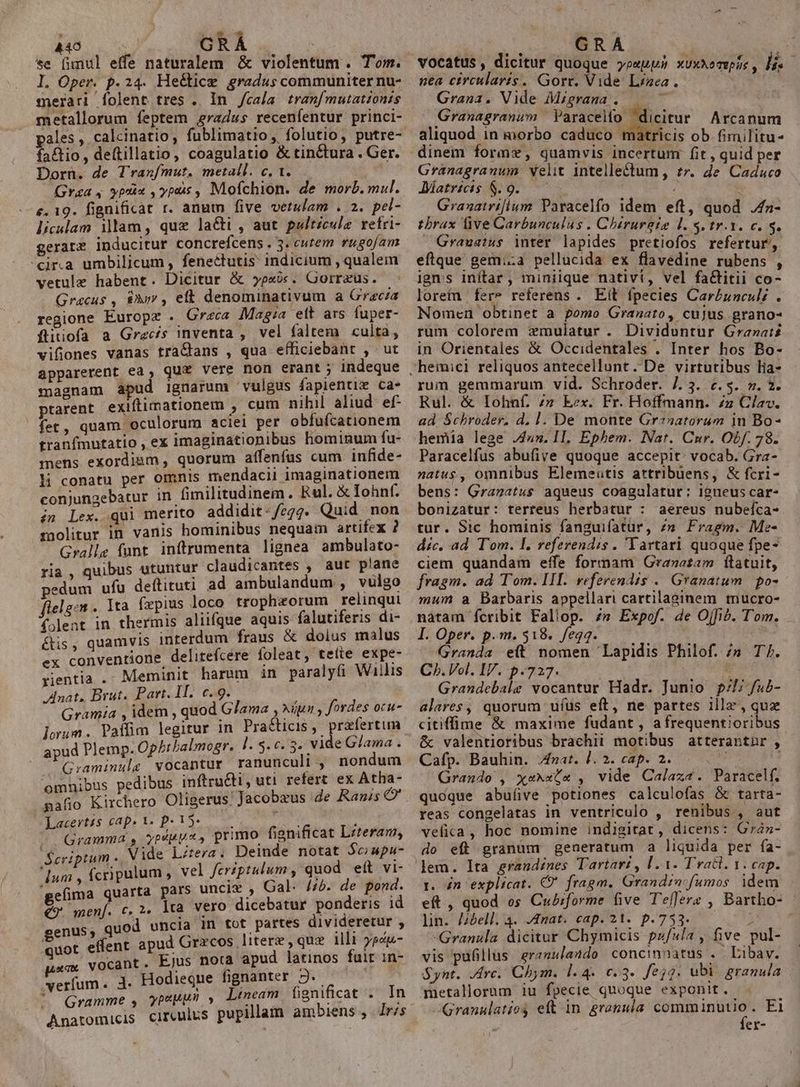 446 GRÁ L. Oper. p.24. He&amp;tice gradus communiter nu- merari folent tres .. In. /cala. tranf mutatzonis metallorum feptem 4radus recenfentur princi- pales, calcinatio, fublimatio , folutio, putre- fatio, deftillatio, coagulatio &amp; tinctura . Ger. Dorn. de Traxf/mut. metall. c, 1. Graa , ypüx , ypus , Mofchion. de morb. mal. e. 19. fignificat r. anum five vetulam . 2. pel- liculam ilam, quz la&amp;ti , aut pult£cule refri- gerate inducitur concrefcens . 3. cutem rugofam -cir.a umbilicum , fenectutis indicium , qualem vetule habent. Dicitur &amp; yp«o. Gorrzus. | Gracus , 8&amp;3 , eft denominativum a Grac/a regione EKuropz . Graeca Magia elt ars fuper- ftitiofa a Grecs inventa , vel faltem «ulta, vifiones vanas tra&amp;ans , qua efficiebant , ut apparerent ea , qu&amp; vere non erant; indeque magnam apud ignarum vulgus fapientim Ca* prarent exifimationem , cum nihil aliud. ef- fet, quam oculorum aciei per obfufcationem tranímutatio , ex imaginationibus hominum fu- mens exordium quorum aífenfus cum infide- li conatu per omnis mendacii imaginationem conjungebatur in fimilitudinem. Rul. X Iohnf. ín Lex. qui merito addidit: /zg4. Quid. non molitur in vanis hominibus nequam artifex ? Gralle funt inftrumenta lignea ambulato- ria, quibus utuntur claudicantes , aut plane edum ufu deftituti ad ambulandum , vulgo fielgem . Ita fxpius loco tropheorum relinqui folent in thermis aliifque aquis falutiferis di- étis, quamvis interdum fraus &amp; dolus malus ex conventione delitefcere foleat, tette expe- rientia .- Meminit harum in paralyfi Wallis Anat, Brut. Part. IT. c. 9. Gramia , idem , quod Glama , Apu y fordes ocu- lorum. Paffim legitur in Practicis, prafertim apud Plemp. Ophtbalmogr. : Graminulg vocantur ranunculi , nondum omnibus pedibus inftru&amp;ti , uti refert ex Atha- pafio Kirchero Oligerus Jacobzus de Ramis ' ($ cap. t, p. 15- up RE Popp primo fignificat Lzteram, Scriptum .. Vide Lztera Deinde notat $c;apu- Ium , fcripulum, vel Jeriptulum , quod eít vi- gefima quarta pars uncix , Gal. //b. de pond. €9 menf. c, 2. lta vero dicebatur ponderis id genus, quod uncia In tot partes divideretur , quot effent apud Grxcos litere, quz illi yedp- pac vocant. Ejus nota apud latinos fuit in- verfum. 1. Hodieque fignanter J.. ' Gramme , ypupun » Lmeam fignificat . In Anatomicis circulus pupillam ambiens ,.Ir/s ial GRA | * vocatus , dicitur quoque peu XUXAO TEp jS , h. nea circularis. Gorr. Vide Lzea. | Grana. Vide Migrama . — Granagranum Paracelfo  dicitur Arcanum aliquod in morbo caduco matricis ob fimilitue Granagranum AMatrzcis $. 9. Granatrifium Paracelfo idem eft, quod .4a- tbrax live Carbunculus . Chirurgie l. $. tr.1. c. S. Grauatus inter lapides pretiofos refertur, eftque gemi:a pellucida ex flavedine rubens , ign;s inftar , miniique nativi, vel fa&amp;titii co- loretu fere referens . Eit fpecies Car£unculi . Nomen obtinet a pomo Granato, cujus grano- rum colorem zmulatur . Dividuntur Gra»ats- in Orientales &amp; Occidentales . Inter hos Bo- velit intellectum , tr. de. Caduco rum gemmarum vid. Schroder. 7. 3. c. 5. s. 2. Rul. &amp; Iohnf. /» kex. Fr. Hoffmann. z Clav. ad Schroder. d. 1. De monte Granatorum 1n Bo- Paracelfus abufive quoque accepit: vocab. Gra- natus, omnibus Elemeutis attribuens, &amp; fcri- bens: Granatus aqueus coagulatur; igneuscar- bonizatur: terreus herbatur : aereus nubeíca- tur. Sic hominis fanguifatur, /» Fragm. Me- dic. ad Tom. l. referendus . Tartari quoque fpe- ciem quandam effe formam Graxatam ftatuit, fragm. ad Tom. III. vefevendis .. Granatum | po- mum a Barbaris appellari cartilaginem mucro- nàtam fcribit Faliop. 4» Expof. de Offi. T'om. I. Oper. p.m. 518. fegq. ; Granda e(t nomen 'Lapidis Philof. /n T/. Ch. Vol. IV. p.727. Grandebale vocantur Hadr. Junio g/l; fub- alares, quorum ufus eft, ne partes illa, que citiffime &amp; maxime fudant , afrequentioribus &amp; valentioribus brachii motibus atterantnr , Cafp. Bauhin. xat. l2. cap. 2... Grando , xexx(« , vide Calaz«. Paracelf. quoque abuíve potiones calculofas &amp; tarta- reas congelatas in ventriculo , renibus , aut vefica, hoc nomine indigitat, dicens: Graz- do eft granum generatum a liquida per fa- lem. Ita grandines Tartart , 1.1. Traci. 1. cap. r. dn explicat. € fragm. Grandiacfumos. idem eft , quod os Cubiforme five TelJere , Bartho- - lin. //óell. 4. J4nat. cap. 21. p.733. ; -Granula dicitur Chymicis pu/ula , five pul- vis pufillus erznulaudo concinnatus . . Eibav. Synt. Jvc. Chym. 1.4. c3. fej2. ubi granula metallorum iu fpecie quoque exponit. Granulatiog eft n. granula Mies i Ei er-
